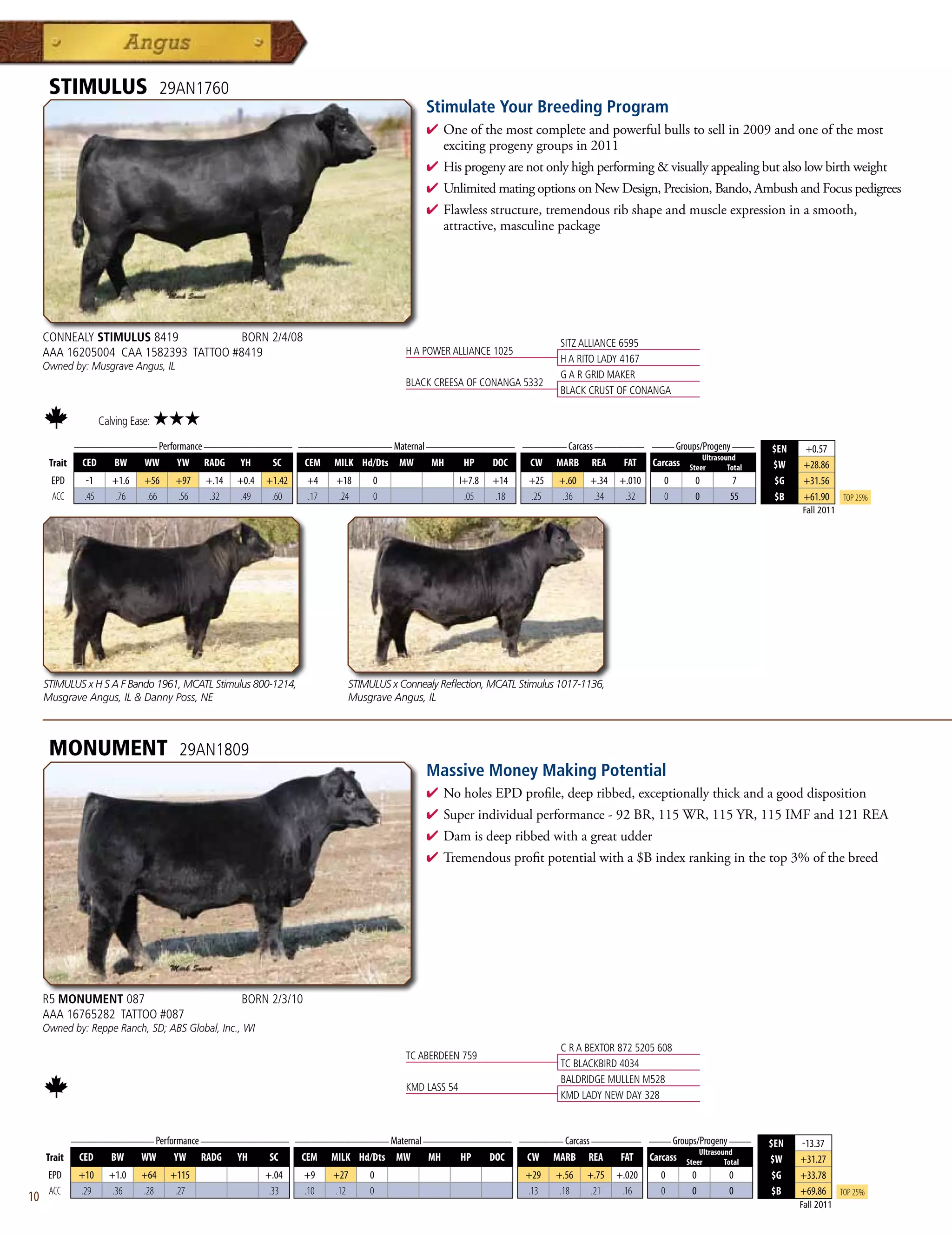 STIMULUS                       29AN1760
                                                                                            Stimulate Your Breeding Program
                                                                                            4  neofthemostcompleteandpowerfulbullstosellin2009andoneofthemost
                                                                                              O
                                                                                              excitingprogenygroupsin2011
                                                                                            4 Hisprogenyarenotonlyhighperformingvisuallyappealingbutalsolowbirthweight
                                                                                            4 UnlimitedmatingoptionsonNewDesign,Precision,Bando,AmbushandFocuspedigrees
                                                                                            4 Flawlessstructure,tremendousribshapeandmuscleexpressioninasmooth,
                                                                                             attractive,masculinepackage




     CONNEALY STIMULUS 8419            BORN 2/4/08                                                                        SITZ ALLIANCE 6595
     AAA 16205004 CAA 1582393 TATTOO #8419                                             H A POWER ALLIANCE 1025
                                                                                                                          H A RITO LADY 4167
     Owned by: Musgrave Angus, IL
                                                                                                                          G A R GRID MAKER
                                                                                       BLACK CREESA OF CONANGA 5332
                                                                                                                          BLACK CRUST OF CONANGA

                     Calving Ease:   ★★★
           _______________ Performance ________________ _________________ Maternal ________________ ________ Carcass _________ ____ Groups/Progeny ____
                                                                                                                                                               $EN    +0.57
                                                                                                                                           Ultrasound
      Trait CED   BW    WW      YW RADG YH         SC    CEM MILK Hd/Dts MW         MH    HP   DOC   CW MARB REA          FAT Carcass Steer        Total       $W     +28.86
      EPD       -1      +1.6    +56    +97   +.14   +0.4   +1.42   +4    +18    0                    I+7.8   +14   +25   +.60   +.34   +.010     0    0    7    $G    +31.56
      ACC      .45       .76    .66    .56    .32    .49    .60    .17   .24    0                     .05    .18   .25    .36    .34    .32      0    0   55    $B    +61.90     Top 25%
                                                                                                                                                                     Fall 2011




     STIMULUS x H S A F Bando 1961, MCATL Stimulus 800-1214,               STIMULUS x Connealy Reflection, MCATL Stimulus 1017-1136,
     Musgrave Angus, IL  Danny Poss, NE                                   Musgrave Angus, IL



      MONUMENT                         29AN1809
                                                                                            Massive Money Making Potential
                                                                                            4  oholesEPDprofile,deepribbed,exceptionallythickandagooddisposition
                                                                                              N
                                                                                            4 Superindividualperformance-92BR,115WR,115YR,115IMFand121REA
                                                                                            4 Damisdeepribbedwithagreatudder
                                                                                            4 Tremendousprofitpotentialwitha$Bindexrankinginthetop3%ofthebreed




     R5 MONUMENT 087                                BORN 2/3/10
     AAA 16765282 TATTOO #087
     Owned by: Reppe Ranch, SD; ABS Global, Inc., WI
                                                                                                                          C R A BEXTOR 872 5205 608
                                                                                       TC ABERDEEN 759
                                                                                                                          TC BLACKBIRD 4034
                                                                                                                          BALDRIDGE MULLEN M528
                                                                                       KMD LASS 54
                                                                                                                          KMD LADY NEW DAY 328


             _______________ Performance ________________ _________________ Maternal ________________ ________ Carcass _________ ____ Groups/Progeny ____
                                                                                                                                                               $EN   -13.37
                                                                                                                                             Ultrasound
     Trait    CED   BW    WW      YW RADG YH         SC    CEM MILK Hd/Dts MW         MH    HP   DOC   CW MARB REA          FAT Carcass Steer        Total     $W    +31.27
      EPD     +10      +1.0    +64    +115                 +.04    +9    +27   0                                   +29   +.56   +.75   +.020    0     0   0     $G   +33.78
      ACC     .29       .36    .28     .27                  .33    .10   .12   0                                   .13    .18    .21    .16     0     0   0     $B   +69.86      Top 25%
10                                                                                                                                                                   Fall 2011
 