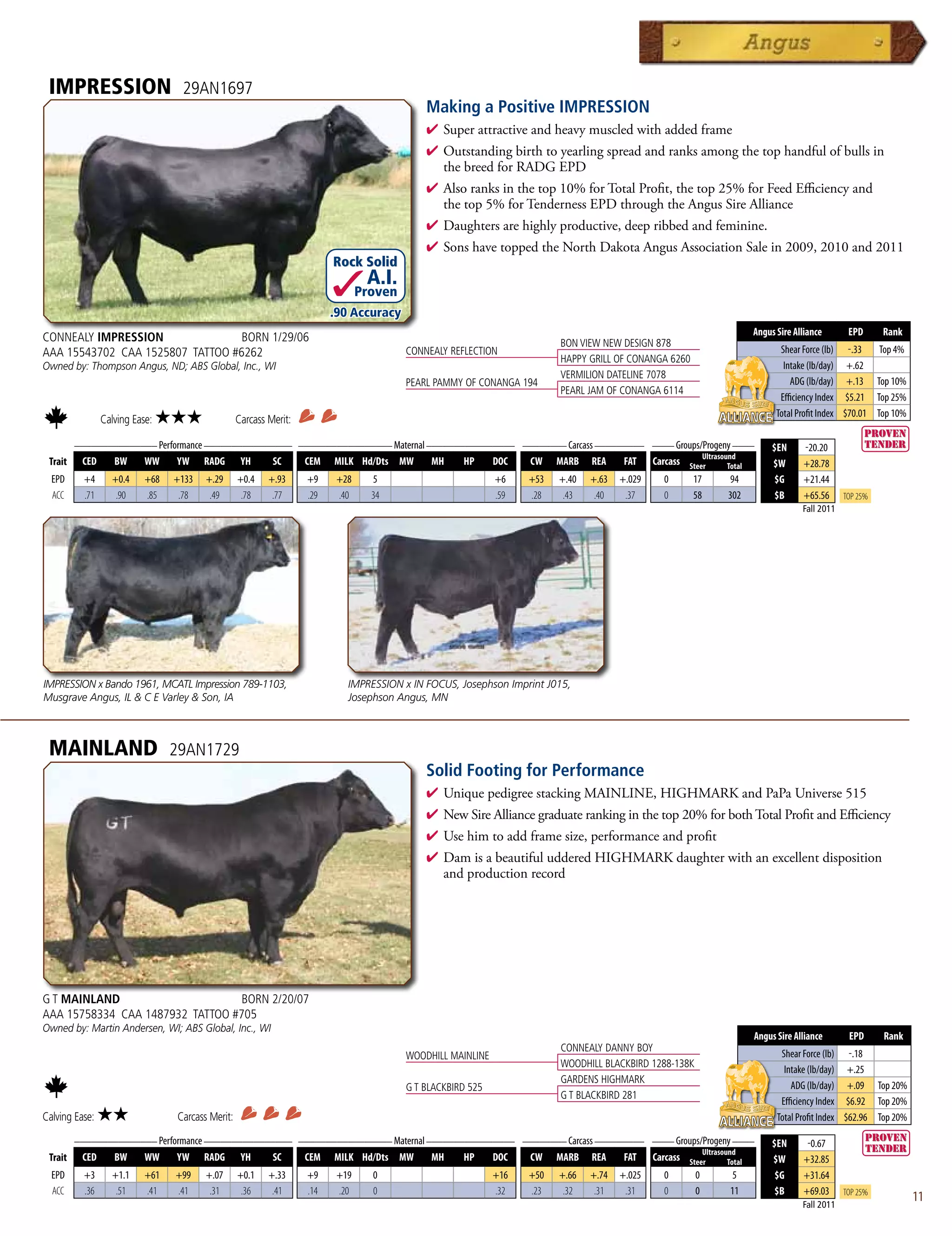IMPRESSION                       29AN1697
                                                                                             Making a Positive IMPRESSION
                                                                                             4  uperattractiveandheavymuscledwithaddedframe
                                                                                               S
                                                                                             4 Outstandingbirthtoyearlingspreadandranksamongthetophandfulofbullsin
                                                                                              thebreedforRADGEPD
                                                                                             4 Alsoranksinthetop10%forTotalProfit,thetop25%forFeedEfficiencyand
                                                                                              thetop5%forTendernessEPDthroughtheAngusSireAlliance
                                                                                             4 Daughtersarehighlyproductive,deepribbedandfeminine.
                                                                                             4 SonshavetoppedtheNorthDakotaAngusAssociationSalein2009,2010and2011
                                                                         Rock Solid
                                                                                 A.I.
                                                                                Proven
                                                                         .90 Accuracy
                                                                                                                                                                  Angus Sire Alliance       EPD      Rank
CONNEALY IMPRESSION               BORN 1/29/06                                                                           BON VIEW NEW DESIGN 878
AAA 15543702 CAA 1525807 TATTOO #6262                                                    CONNEALY REFLECTION                                                             Shear Force (lb) -.33     Top 4%
                                                                                                                         HAPPY GRILL OF CONANGA 6260
Owned by: Thompson Angus, ND; ABS Global, Inc., WI                                                                                                                        Intake (lb/day) +.62
                                                                                                                         VERMILION DATELINE 7078
                                                                                         PEARL PAMMY OF CONANGA 194                                                         ADG (lb/day) +.13 Top 10%
                                                                                                                         PEARL JAM OF CONANGA 6114
                                                                                                                                                                         Efficiency Index $5.21 Top 25%
                                                                                                                                                                        Total Profit Index $70.01 Top 10%
                Calving Ease:   ★★★               Carcass Merit:
      _______________ Performance ________________ _________________ Maternal ________________ ________ Carcass _________ ____ Groups/Progeny ____
                                                                                                                                                                       $EN     -20.20
                                                                                                                                      Ultrasound
 Trait CED   BW    WW      YW RADG YH         SC    CEM MILK Hd/Dts MW         MH    HP   DOC   CW MARB REA          FAT Carcass Steer        Total                    $W      +28.78
  EPD     +4      +0.4     +68   +133   +.29      +0.4    +.93     +9     +28     5                          +6    +53   +.40   +.63   +.029   0       17   94          $G     +21.44
  ACC     .71      .90     .85    .78    .49       .78     .77     .29    .40     34                         .59   .28    .43    .40    .37    0       58   302         $B     +65.56      Top 25%
                                                                                                                                                                               Fall 2011




IMPRESSION x Bando 1961, MCATL Impression 789-1103,                         IMPRESSION x IN FOCUS, Josephson Imprint J015,
Musgrave Angus, IL  C E Varley  Son, IA                                   Josephson Angus, MN



 MAINLAND                        29AN1729
                                                                                             Solid Footing for Performance
                                                                                             4  niquepedigreestackingMAINLINE,HIGHMARKandPaPaUniverse515
                                                                                               U
                                                                                             4 NewSireAlliancegraduaterankinginthetop20%forbothTotalProfitandEfficiency
                                                                                             4 Usehimtoaddframesize,performanceandprofit
                                                                                             4 DamisabeautifuludderedHIGHMARKdaughterwithanexcellentdisposition
                                                                                              andproductionrecord




G T MAINLAND                      BORN 2/20/07
AAA 15758334 CAA 1487932 TATTOO #705
Owned by: Martin Andersen, WI; ABS Global, Inc., WI
                                                                                                                                                                  Angus Sire Alliance       EPD      Rank
                                                                                                                         CONNEALY DANNY BOY
                                                                                         WOODHILL MAINLINE                                                               Shear Force (lb) -.18
                                                                                                                         WOODHILL BLACKBIRD 1288-138K
                                                                                                                                                                          Intake (lb/day) +.25
                                                                                                                         GARDENS HIGHMARK
                                                                                         G T BLACKBIRD 525                                                                  ADG (lb/day) +.09 Top 20%
                                                                                                                         G T BLACKBIRD 281
                                                                                                                                                                         Efficiency Index $6.92 Top 20%
Calving Ease:   ★★               Carcass Merit:                                                                                                                         Total Profit Index $62.96 Top 20%
      _______________ Performance ________________ _________________ Maternal ________________ ________ Carcass _________ ____ Groups/Progeny ____
                                                                                                                                                                       $EN      -0.67
                                                                                                                                      Ultrasound
 Trait CED   BW    WW      YW RADG YH         SC    CEM MILK Hd/Dts MW         MH    HP   DOC   CW MARB REA          FAT Carcass Steer        Total                    $W      +32.85
  EPD     +3      +1.1     +61   +99    +.07      +0.1    +.33     +9     +19     0                          +16   +50   +.66   +.74   +.025   0        0    5          $G     +31.64
  ACC     .36      .51     .41   .41     .31       .36     .41     .14    .20     0                          .32   .23    .32    .31    .31    0        0   11          $B     +69.03      Top 25%
                                                                                                                                                                               Fall 2011
                                                                                                                                                                                                            11
 