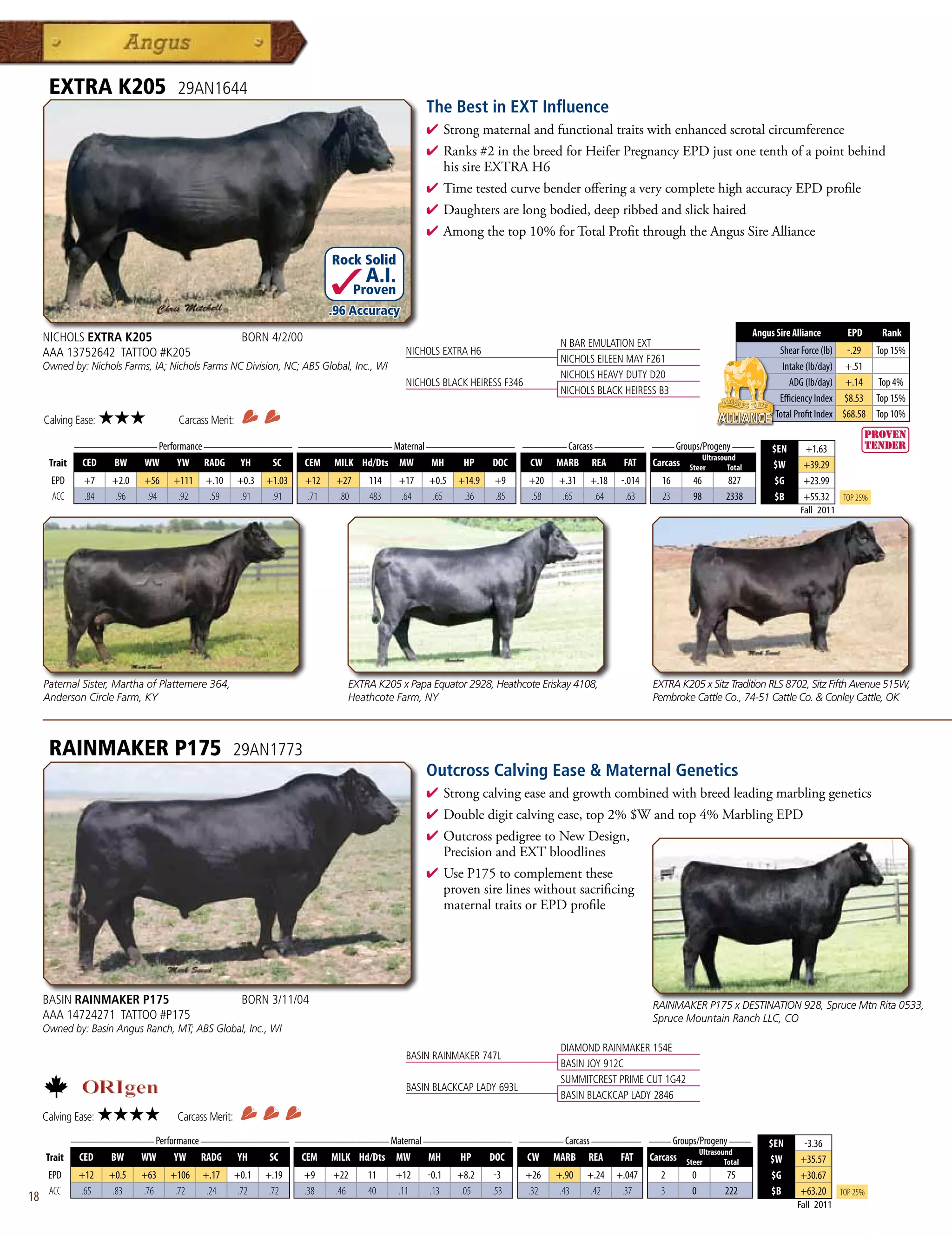 EXTRA K205                    29AN1644
                                                                                                The Best in EXT Influence
                                                                                                4  trongmaternalandfunctionaltraitswithenhancedscrotalcircumference
                                                                                                  S
                                                                                                4 Ranks#2inthebreedforHeiferPregnancyEPDjustonetenthofapointbehind
                                                                                                 hissireEXTRAH6
                                                                                                4 TimetestedcurvebenderofferingaverycompletehighaccuracyEPDprofile
                                                                                                4 Daughtersarelongbodied,deepribbedandslickhaired
                                                                                                4 Amongthetop10%forTotalProfitthroughtheAngusSireAlliance

                                                                          Rock Solid
                                                                                  A.I.
                                                                                 Proven
                                                                          .96 Accuracy

     NICHOLS EXTRA K205                               BORN 4/2/00                                                                                                            Angus Sire Alliance        EPD     Rank
                                                                                                                               N BAR EMULATION EXT
     AAA 13752642 TATTOO #K205                                                             NICHOLS EXTRA H6                                                                         Shear Force (lb) -.29 Top 15%
                                                                                                                               NICHOLS EILEEN MAY F261
     Owned by: Nichols Farms, IA; Nichols Farms NC Division, NC; ABS Global, Inc., WI                                                                                                Intake (lb/day) +.51
                                                                                                                               NICHOLS HEAVY DUTY D20
                                                                                           NICHOLS BLACK HEIRESS F346                                                                  ADG (lb/day) +.14 Top 4%
                                                                                                                               NICHOLS BLACK HEIRESS B3
                                                                                                                                                                                    Efficiency Index $8.53 Top 15%
                                                                                                                                                                                   Total Profit Index $68.58 Top 10%
     Calving Ease:   ★★★            Carcass Merit:
           _______________ Performance ________________ _________________ Maternal ________________ ________ Carcass _________ ____ Groups/Progeny ____
                                                                                                                                                                                  $EN      +1.63
                                                                                                                                           Ultrasound
      Trait CED   BW    WW      YW RADG YH         SC    CEM MILK Hd/Dts MW         MH    HP   DOC   CW MARB REA          FAT Carcass Steer        Total                          $W       +39.29
       EPD     +7    +2.0   +56    +111    +.10      +0.3   +1.03   +12    +27     114    +17   +0.5   +14.9   +9       +20   +.31   +.18    -.014     16     46      827          $G      +23.99
       ACC     .84    .96   .94     .92     .59       .91    .91    .71    .80     483    .64    .65    .36    .85      .58    .65    .64     .63      23     98      2338         $B      +55.32     Top 25%
                                                                                                                                                                                          Fall 2011




     Paternal Sister, Martha of Plattemere 364,                              EXTRA K205 x Papa Equator 2928, Heathcote Eriskay 4108,                 EXTRA K205 x Sitz Tradition RLS 8702, Sitz Fifth Avenue 515W,
     Anderson Circle Farm, KY                                                Heathcote Farm, NY                                                      Pembroke Cattle Co., 74-51 Cattle Co.  Conley Cattle, OK



      RAINMAKER P175                              29AN1773
                                                                                                Outcross Calving Ease  Maternal Genetics
                                                                                                4  trongcalvingeaseandgrowthcombinedwithbreedleadingmarblinggenetics
                                                                                                  S
                                                                                                4 Doubledigitcalvingease,top2%$Wandtop4%MarblingEPD
                                                                                                4 OutcrosspedigreetoNewDesign,
                                                                                                 PrecisionandEXTbloodlines
                                                                                                4 UseP175tocomplementthese
                                                                                                 provensirelineswithoutsacrificing
                                                                                                 maternaltraitsorEPDprofile




     BASIN RAINMAKER P175                             BORN 3/11/04                                                                                   RAINMAKER P175 x DESTINATION 928, Spruce Mtn Rita 0533,
     AAA 14724271 TATTOO #P175                                                                                                                       Spruce Mountain Ranch LLC, CO
     Owned by: Basin Angus Ranch, MT; ABS Global, Inc., WI
                                                                                                                               DIAMOND RAINMAKER 154E
                                                                                           BASIN RAINMAKER 747L
                                                                                                                               BASIN JOY 912C
                                                                                                                               SUMMITCREST PRIME CUT 1G42
                                                                                           BASIN BLACKCAP LADY 693L
                                                                                                                               BASIN BLACKCAP LADY 2846
     Calving Ease:   ★★★★           Carcass Merit:
          _______________ Performance ________________ _________________ Maternal ________________ ________ Carcass _________ ____ Groups/Progeny ____
                                                                                                                                                                                 $EN       -3.36
                                                                                                                                          Ultrasound
     Trait CED   BW    WW      YW RADG YH         SC    CEM MILK Hd/Dts MW         MH    HP   DOC   CW MARB REA          FAT Carcass Steer        Total                          $W       +35.57
      EPD     +12    +0.5   +63   +106    +.17       +0.1   +.19    +9    +22      11    +12    -0.1   +8.2     -3      +26   +.90   +.24   +.047     2       0       75          $G      +30.67
      ACC     .65     .83   .76    .72     .24        .72    .72    .38   .46      40    .11     .13    .05    .53      .32    .43    .42    .37      3       0       222         $B      +63.20      Top 25%
18                                                                                                                                                                                       Fall 2011
 