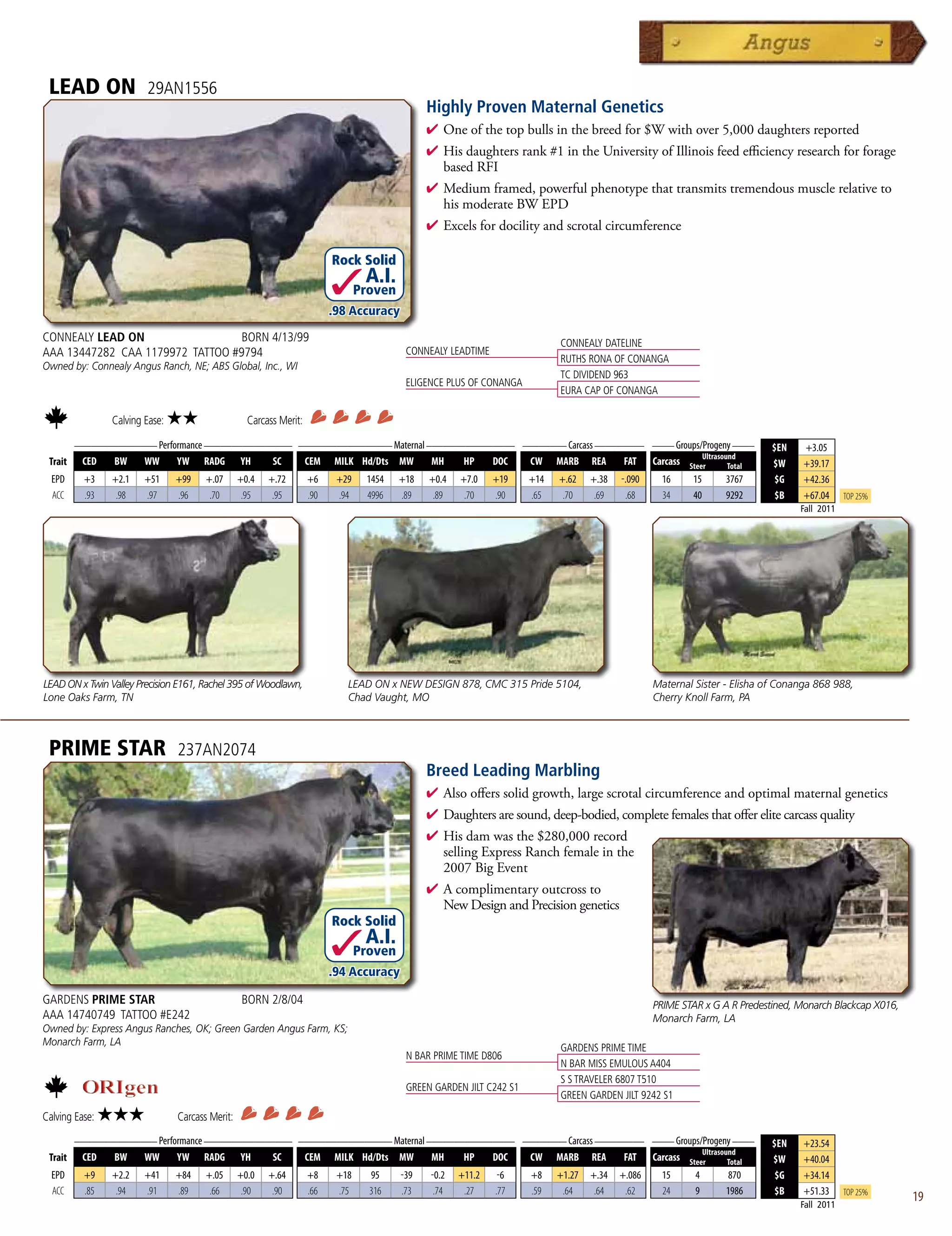 LEAD ON                29AN1556
                                                                                                Highly Proven Maternal Genetics
                                                                                                4  neofthetopbullsinthebreedfor$Wwithover5,000daughtersreported
                                                                                                  O
                                                                                                4 Hisdaughtersrank#1intheUniversityofIllinoisfeedefficiencyresearchforforage
                                                                                                 basedRFI
                                                                                                4 Mediumframed,powerfulphenotypethattransmitstremendousmusclerelativeto
                                                                                                 hismoderateBWEPD
                                                                                                4 Excelsfordocilityandscrotalcircumference

                                                                          Rock Solid
                                                                                  A.I.
                                                                                 Proven
                                                                          .98 Accuracy

CONNEALY LEAD ON                  BORN 4/13/99                                                                               CONNEALY DATELINE
AAA 13447282 CAA 1179972 TATTOO #9794                                                      CONNEALY LEADTIME
                                                                                                                             RUTHS RONA OF CONANGA
Owned by: Connealy Angus Ranch, NE; ABS Global, Inc., WI
                                                                                                                             TC DIVIDEND 963
                                                                                           ELIGENCE PLUS OF CONANGA
                                                                                                                             EURA CAP OF CONANGA

                Calving Ease:   ★★                 Carcass Merit:
      _______________ Performance ________________ _________________ Maternal ________________ ________ Carcass _________ ____ Groups/Progeny ____
                                                                                                                                                                              $EN    +3.05
                                                                                                                                      Ultrasound
 Trait CED   BW    WW      YW RADG YH         SC    CEM MILK Hd/Dts MW         MH    HP   DOC   CW MARB REA          FAT Carcass Steer        Total                           $W     +39.17
  EPD     +3    +2.1    +51     +99    +.07      +0.4   +.72        +6     +29    1454    +18   +0.4   +7.0    +19     +14   +.62    +.38   -.090     16    15      3767       $G    +42.36
  ACC     .93    .98    .97     .96     .70       .95    .95        .90    .94    4996    .89    .89    .70    .90     .65    .70     .69    .68      34    40      9292       $B    +67.04     Top 25%
                                                                                                                                                                                    Fall 2011




LEAD ON x Twin Valley Precision E161, Rachel 395 of Woodlawn,                LEAD ON x NEW DESIGN 878, CMC 315 Pride 5104,                          Maternal Sister - Elisha of Conanga 868 988,
Lone Oaks Farm, TN                                                           Chad Vaught, MO                                                        Cherry Knoll Farm, PA



 PRIME STAR                     237AN2074
                                                                                                Breed Leading Marbling
                                                                                                4  lsoofferssolidgrowth,largescrotalcircumferenceandoptimalmaternalgenetics
                                                                                                  A
                                                                                                4 Daughtersaresound,deep-bodied,completefemalesthatofferelitecarcassquality
                                                                                                4 Hisdamwasthe$280,000record
                                                                                                 sellingExpressRanchfemaleinthe
                                                                                                 2007BigEvent
                                                                                                4 Acomplimentaryoutcrossto
                                                                                                 NewDesignandPrecisiongenetics
                                                                          Rock Solid
                                                                                  A.I.
                                                                                 Proven
                                                                          .94 Accuracy

GARDENS PRIME STAR                               BORN 2/8/04                                                                                        PRIME STAR x G A R Predestined, Monarch Blackcap X016,
AAA 14740749 TATTOO #E242                                                                                                                           Monarch Farm, LA
Owned by: Express Angus Ranches, OK; Green Garden Angus Farm, KS;
Monarch Farm, LA
                                                                                                                             GARDENS PRIME TIME
                                                                                           N BAR PRIME TIME D806
                                                                                                                             N BAR MISS EMULOUS A404
                                                                                                                             S S TRAVELER 6807 T510
                                                                                           GREEN GARDEN JILT C242 S1
                                                                                                                             GREEN GARDEN JILT 9242 S1
Calving Ease:   ★★★             Carcass Merit:
      _______________ Performance ________________ _________________ Maternal ________________ ________ Carcass _________ ____ Groups/Progeny ____
                                                                                                                                                                              $EN    +23.54
                                                                                                                                      Ultrasound
 Trait CED   BW    WW      YW RADG YH         SC    CEM MILK Hd/Dts MW         MH    HP   DOC   CW MARB REA          FAT Carcass Steer        Total                           $W     +40.04
  EPD     +9    +2.2    +41     +84    +.05      +0.0   +.64        +8     +18     95     -39   -0.2   +11.2    -6     +8    +1.27   +.34   +.086     15     4       870       $G    +34.14
  ACC     .85    .94    .91     .89     .66       .90    .90        .66    .75     316    .73    .74    .27    .77     .59    .64     .64    .62      24     9      1986       $B    +51.33     Top 25%
                                                                                                                                                                                    Fall 2011
                                                                                                                                                                                                             19
 