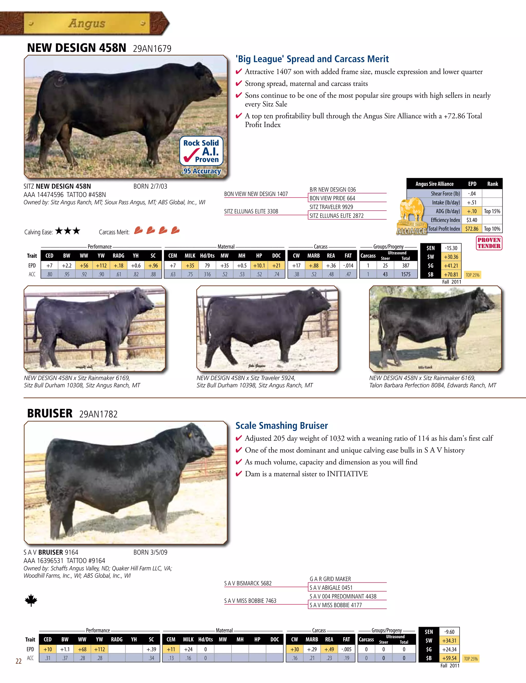 NEW DESIGN 458N                               29AN1679
                                                                                               'Big League' Spread and Carcass Merit
                                                                                               4  ttractive1407sonwithaddedframesize,muscleexpressionandlowerquarter
                                                                                                 A
                                                                                               4 Strongspread,maternalandcarcasstraits
                                                                                               4 Sonscontinuetobeoneofthemostpopularsiregroupswithhighsellersinnearly
                                                                                                everySitzSale
                                                                                               4 AtoptenprofitabilitybullthroughtheAngusSireAlliancewitha+72.86Total
                                                                                                ProfitIndex

                                                                         Rock Solid
                                                                                  A.I.
                                                                                Proven
                                                                         .95 Accuracy

     SITZ NEW DESIGN 458N                            BORN 2/7/03                                                                                                              Angus Sire Alliance        EPD     Rank
                                                                                                                             B/R NEW DESIGN 036
     AAA 14474596 TATTOO #458N                                                            BON VIEW NEW DESIGN 1407                                                                   Shear Force (lb) -.04
                                                                                                                             BON VIEW PRIDE 664
     Owned by: Sitz Angus Ranch, MT; Sioux Pass Angus, MT; ABS Global, Inc., WI                                                                                                       Intake (lb/day) +.51
                                                                                                                             SITZ TRAVELER 9929
                                                                                          SITZ ELLUNAS ELITE 3308                                                                       ADG (lb/day) +.10 Top 15%
                                                                                                                             SITZ ELLUNAS ELITE 2872
                                                                                                                                                                                     Efficiency Index $3.40
                                                                                                                                                                                    Total Profit Index $72.86 Top 10%
     Calving Ease:   ★★★           Carcass Merit:
           _______________ Performance ________________ _________________ Maternal ________________ ________ Carcass _________ ____ Groups/Progeny ____
                                                                                                                                                                                   $EN      -15.30
                                                                                                                                           Ultrasound
      Trait CED   BW    WW      YW RADG YH         SC    CEM MILK Hd/Dts MW         MH    HP   DOC   CW MARB REA          FAT Carcass Steer        Total                           $W       +30.36
       EPD     +7    +2.2   +56   +112    +.18      +0.6   +.96    +7     +35     79     +35   +0.5   +10.1     +21   +17   +.88    +.36   -.014       1        25     387          $G      +41.21
       ACC     .80    .95   .92    .90     .61       .82    .88    .63    .75     316    .52    .53    .52      .74   .38    .52     .48    .47        1        43     1575         $B      +70.81     Top 25%
                                                                                                                                                                                           Fall 2011




     NEW DESIGN 458N x Sitz Rainmaker 6169,                                     NEW DESIGN 458N x Sitz Traveler 5924,                                      NEW DESIGN 458N x Sitz Rainmaker 6169,
     Sitz Bull Durham 10308, Sitz Angus Ranch, MT                               Sitz Bull Durham 10398, Sitz Angus Ranch, MT                               Talon Barbara Perfection 8084, Edwards Ranch, MT



      BRUISER               29AN1782
                                                                                               Scale Smashing Bruiser
                                                                                               4  djusted205dayweightof1032withaweaningratioof114ashisdam'sfirstcalf
                                                                                                 A
                                                                                               4 OneofthemostdominantanduniquecalvingeasebullsinSAVhistory
                                                                                               4 Asmuchvolume,capacityanddimensionasyouwillfind
                                                                                               4 DamisamaternalsistertoINITIATIVE




     S A V BRUISER 9164                              BORN 3/5/09
     AAA 16396531 TATTOO #9164
     Owned by: Schaffs Angus Valley, ND; Quaker Hill Farm LLC, VA;
     Woodhill Farms, Inc., WI; ABS Global, Inc., WI
                                                                                                                             G A R GRID MAKER
                                                                                          S A V BISMARCK 5682
                                                                                                                             S A V ABIGALE 0451
                                                                                                                             S A V 004 PREDOMINANT 4438
                                                                                          S A V MISS BOBBIE 7463
                                                                                                                             S A V MISS BOBBIE 4177


             _______________ Performance ________________ _________________ Maternal ________________ ________ Carcass _________ ____ Groups/Progeny ____
                                                                                                                                                                                  $EN       -9.60
                                                                                                                                             Ultrasound
     Trait    CED   BW    WW      YW RADG YH         SC    CEM MILK Hd/Dts MW         MH    HP   DOC   CW MARB REA          FAT Carcass Steer        Total                        $W       +34.31
      EPD     +10    +1.1   +68   +112                     +.39   +11    +24      0                                   +30   +.29   +.49    -.005       0       0       0           $G      +24.34
      ACC     .31     .37   .28    .28                      .34   .13    .16      0                                   .16    .21    .23     .19        0       0       0           $B      +59.54      Top 25%
22                                                                                                                                                                                        Fall 2011
 