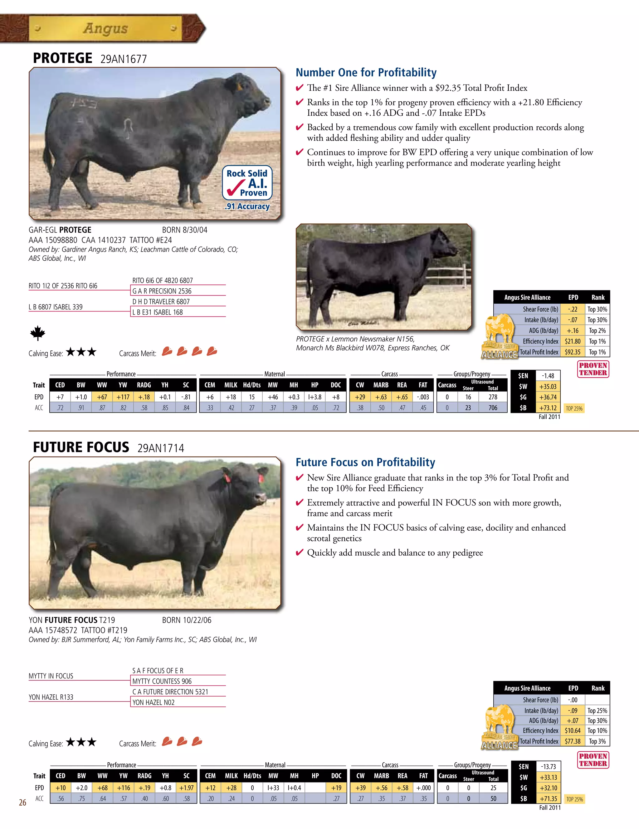 PROTEGE                    29AN1677
                                                                                                     Number One for Profitability
                                                                                                     4 The#1SireAlliancewinnerwitha$92.35TotalProfitIndex
                                                                                                     4 Ranksinthetop1%forprogenyprovenefficiencywitha+21.80Efficiency
                                                                                                      Indexbasedon+.16ADGand-.07IntakeEPDs
                                                                                                     4 Backedbyatremendouscowfamilywithexcellentproductionrecordsalong
                                                                                                      withaddedfleshingabilityandudderquality
                                                                                                     4 ContinuestoimproveforBWEPDofferingaveryuniquecombinationoflow
                                                                                                      birthweight,highyearlingperformanceandmoderateyearlingheight
                                                                             Rock Solid
                                                                                    A.I.
                                                                                   Proven
                                                                             .91 Accuracy

     GAR-EGL PROTEGE                   BORN 8/30/04
     AAA 15098880 CAA 1410237 TATTOO #E24
     Owned by: Gardiner Angus Ranch, KS; Leachman Cattle of Colorado, CO;
     ABS Global, Inc., WI


                                              RITO 6I6 OF 4B20 6807
     RITO 1I2 OF 2536 RITO 6I6
                                              G A R PRECISION 2536
                                                                                                                                                                                   Angus Sire Alliance       EPD       Rank
                                              D H D TRAVELER 6807
     L B 6807 ISABEL 339                                                                                                                                                                  Shear Force (lb) -.22 Top 30%
                                              L B E31 ISABEL 168
                                                                                                                                                                                           Intake (lb/day) -.07 Top 30%
                                                                                                                                                                                             ADG (lb/day) +.16 Top 2%
                                                                                                      PROTEGE x Lemmon Newsmaker N156,                                                    Efficiency Index $21.80 Top 1%
                                                                                                      Monarch Ms Blackbird W078, Express Ranches, OK
     Calving Ease:    ★★★              Carcass Merit:                                                                                                                                    Total Profit Index $92.35 Top 1%

              _______________ Performance ________________ _________________ Maternal ________________ ________ Carcass _________ ____ Groups/Progeny ____
                                                                                                                                                                                        $EN       -1.48
                                                                                                                                                                   Ultrasound
      Trait    CED     BW     WW       YW      RADG     YH      SC     CEM   MILK Hd/Dts MW        MH       HP     DOC   CW    MARB   REA    FAT     Carcass   Steer       Total        $W       +35.03
       EPD      +7    +1.0    +67      +117     +.18    +0.1   -.81    +6    +18    15      +46    +0.3    I+3.8   +8    +29   +.63   +.65   -.003     0        16         278           $G      +36.74
       ACC      .72    .91    .87       .82      .58     .85    .84    .33   .42    27      .37     .39     .05    .72   .38    .50    .47    .45      0        23         706           $B      +73.12      Top 25%
                                                                                                                                                                                                 Fall 2011




      FUTURE FOCUS                             29AN1714
                                                                                                     Future Focus on Profitability
                                                                                                     4  ewSireAlliancegraduatethatranksinthetop3%forTotalProfitand
                                                                                                       N
                                                                                                       thetop10%forFeedEfficiency
                                                                                                     4 ExtremelyattractiveandpowerfulINFOCUSsonwithmoregrowth,
                                                                                                      frameandcarcassmerit
                                                                                                     4 MaintainstheINFOCUSbasicsofcalvingease,docilityandenhanced
                                                                                                      scrotalgenetics
                                                                                                     4 Quicklyaddmuscleandbalancetoanypedigree




     YON FUTURE FOCUS T219                               BORN 10/22/06
     AAA 15748572 TATTOO #T219
     Owned by: BJR Summerford, AL; Yon Family Farms Inc., SC; ABS Global, Inc., WI



                                              S A F FOCUS OF E R
     MYTTY IN FOCUS
                                              MYTTY COUNTESS 906
                                                                                                                                                                                   Angus Sire Alliance       EPD       Rank
                                              C A FUTURE DIRECTION 5321
     YON HAZEL R133                                                                                                                                                                       Shear Force (lb) -.00
                                              YON HAZEL N02
                                                                                                                                                                                           Intake (lb/day) -.09 Top 25%
                                                                                                                                                                                             ADG (lb/day) +.07 Top 30%
                                                                                                                                                                                          Efficiency Index $10.64 Top 10%
     Calving Ease:    ★★★              Carcass Merit:                                                                                                                                    Total Profit Index $77.38 Top 3%

              _______________ Performance ________________ _________________ Maternal ________________ ________ Carcass _________ ____ Groups/Progeny ____
                                                                                                                                                                                        $EN      -13.73
                                                                                                                                              Ultrasound
      Trait    CED   BW    WW      YW RADG YH         SC    CEM MILK Hd/Dts MW         MH    HP   DOC   CW MARB REA          FAT Carcass Steer        Total                             $W       +33.13
       EPD     +10     +2.0      +68   +116     +.19    +0.8   +1.97   +12   +28     0      I+33   I+0.4           +19   +39   +.56   +.58   +.000      0        0          25           $G      +32.10
       ACC     .56      .75      .64    .57      .40     .60    .58    .20   .24     0       .05    .05            .27   .27    .35    .37    .35       0        0          50           $B      +71.35      Top 25%
26                                                                                                                                                                                               Fall 2011
 