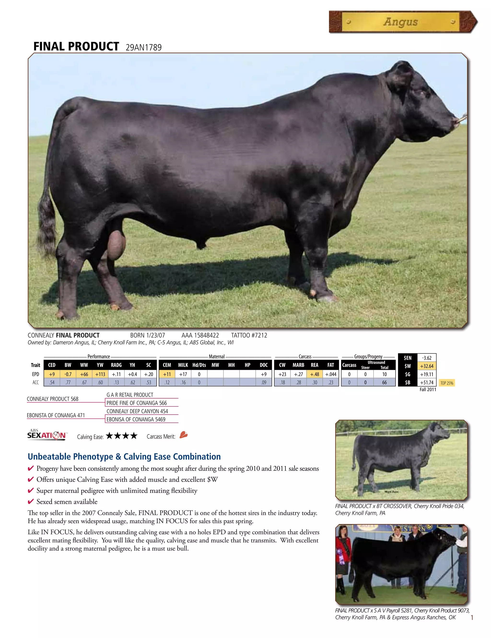 FINAL PRODUCT                                  29AN1789




CONNEALY FINAL PRODUCT                            BORN 1/23/07             AAA 15848422    TATTOO #7212
Owned by: Dameron Angus, IL; Cherry Knoll Farm Inc., PA; C-5 Angus, IL; ABS Global, Inc., WI

         _______________ Performance ________________ _________________ Maternal ________________ ________ Carcass _________ ____ Groups/Progeny ____
                                                                                                                                                                       $EN    -3.62
                                                                                                                                                       Ultrasound
 Trait    CED    BW      WW      YW      RADG    YH     SC      CEM       MILK Hd/Dts MW   MH   HP   DOC   CW    MARB   REA     FAT      Carcass   Steer       Total   $W    +32.64
  EPD      +9    -0.7    +66    +113      +.11   +0.4   +.20    +11       +17   0                    +9    +23   +.27   +.48   +.044        0       0           10      $G   +19.11
  ACC      .54    .77    .67     .60       .13    .62    .53    .12       .16   0                    .09   .18    .28    .30    .23         0       0           66      $B   +51.74      Top 25%
                                                                                                                                                                             Fall 2011
                                        G A R RETAIL PRODUCT
CONNEALY PRODUCT 568
                                        PRIDE FINE OF CONANGA 566
                                        CONNEALY DEEP CANYON 454
EBONISTA OF CONANGA 471
                                        EBONISA OF CONANGA 5469


                        Calving Ease:   ★★★★             Carcass Merit:


Unbeatable Phenotype & Calving Ease Combination
4  rogenyhavebeenconsistentlyamongthemostsoughtafterduringthespring2010and2011saleseasons
  P
4 OffersuniqueCalvingEasewithaddedmuscleandexcellent$W
4 Supermaternalpedigreewithunlimitedmatingflexibility
4 Sexedsemenavailable
                                                                                                                                      FINAL PRODUCT x BT CROSSOVER, Cherry Knoll Pride 034,
Thetopsellerinthe2007ConnealySale,FINALPRODUCTisoneofthehottestsiresintheindustrytoday.                          Cherry Knoll Farm, PA
Hehasalreadyseenwidespreadusage,matchingINFOCUSforsalesthispastspring.
LikeINFOCUS,hedeliversoutstandingcalvingeasewithanoholesEPDandtypecombinationthatdelivers
excellentmatingflexibility.Youwilllikethequality,calvingeaseandmusclethathetransmits.Withexcellent
docilityandastrongmaternalpedigree,heisamustusebull.




                                                                                                                                      FINAL PRODUCT x S A V Payroll 5281, Cherry Knoll Product 9073,
                                                                                                                                      Cherry Knoll Farm, PA  Express Angus Ranches, OK              1
 