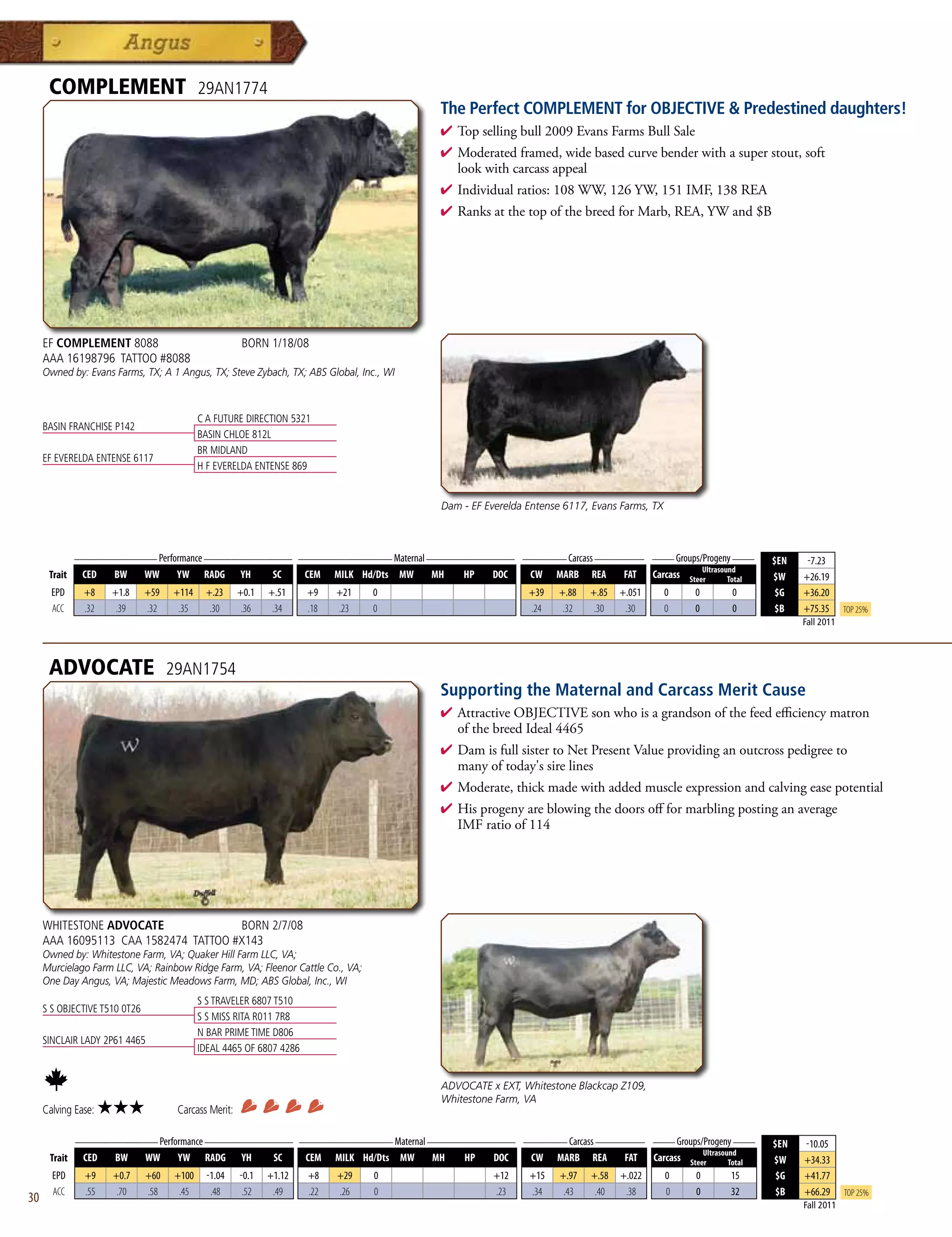 COMPLEMENT                            29AN1774
                                                                                              The Perfect COMPLEMENT for OBJECTIVE  Predestined daughters!
                                                                                              4 Topsellingbull2009EvansFarmsBullSale
                                                                                              4 Moderatedframed,widebasedcurvebenderwithasuperstout,soft
                                                                                               lookwithcarcassappeal
                                                                                              4 Individualratios:108WW,126YW,151IMF,138REA
                                                                                              4 RanksatthetopofthebreedforMarb,REA,YWand$B




     EF COMPLEMENT 8088                                 BORN 1/18/08
     AAA 16198796 TATTOO #8088
     Owned by: Evans Farms, TX; A 1 Angus, TX; Steve Zybach, TX; ABS Global, Inc., WI



                                            C A FUTURE DIRECTION 5321
     BASIN FRANCHISE P142
                                            BASIN CHLOE 812L
                                            BR MIDLAND
     EF EVERELDA ENTENSE 6117
                                            H F EVERELDA ENTENSE 869


                                                                                              Dam - EF Everelda Entense 6117, Evans Farms, TX



              _______________ Performance ________________ _________________ Maternal ________________ ________ Carcass _________ ____ Groups/Progeny ____
                                                                                                                                                                           $EN    -7.23
                                                                                                                                                           Ultrasound
      Trait    CED     BW      WW     YW     RADG      YH      SC     CEM   MILK Hd/Dts MW   MH   HP    DOC     CW    MARB    REA     FAT    Carcass   Steer       Total   $W    +26.19
       EPD      +8    +1.8     +59   +114    +.23      +0.1   +.51    +9    +21   0                             +39   +.88    +.85   +.051      0       0           0       $G   +36.20
       ACC      .32    .39     .32    .35     .30       .36    .34    .18   .23   0                             .24    .32     .30    .30       0       0           0       $B   +75.35      Top 25%
                                                                                                                                                                                 Fall 2011




      ADVOCATE                       29AN1754
                                                                                              Supporting the Maternal and Carcass Merit Cause
                                                                                              4  ttractiveOBJECTIVEsonwhoisagrandsonofthefeedefficiencymatron
                                                                                                A
                                                                                                ofthebreedIdeal4465
                                                                                              4 DamisfullsistertoNetPresentValueprovidinganoutcrosspedigreeto
                                                                                               manyoftoday'ssirelines
                                                                                              4 Moderate,thickmadewithaddedmuscleexpressionandcalvingeasepotential
                                                                                              4 Hisprogenyareblowingthedoorsoffformarblingpostinganaverage
                                                                                               IMFratioof114




     WHITESTONE ADVOCATE              BORN 2/7/08
     AAA 16095113 CAA 1582474 TATTOO #X143
     Owned by: Whitestone Farm, VA; Quaker Hill Farm LLC, VA;
     Murcielago Farm LLC, VA; Rainbow Ridge Farm, VA; Fleenor Cattle Co., VA;
     One Day Angus, VA; Majestic Meadows Farm, MD; ABS Global, Inc., WI
                                            S S TRAVELER 6807 T510
     S S OBJECTIVE T510 0T26
                                            S S MISS RITA R011 7R8
                                            N BAR PRIME TIME D806
     SINCLAIR LADY 2P61 4465
                                            IDEAL 4465 OF 6807 4286


                                                                                              ADVOCATE x EXT, Whitestone Blackcap Z109,
                                                                                              Whitestone Farm, VA
     Calving Ease:    ★★★             Carcass Merit:

              _______________ Performance ________________ _________________ Maternal ________________ ________ Carcass _________ ____ Groups/Progeny ____
                                                                                                                                                                           $EN   -10.05
                                                                                                                                              Ultrasound
      Trait    CED   BW    WW      YW RADG YH         SC    CEM MILK Hd/Dts MW         MH    HP   DOC   CW MARB REA          FAT Carcass Steer        Total                $W    +34.33
       EPD      +9     +0.7    +60   +100     -1.04    -0.1   +1.12   +8    +29   0                      +12    +15    +.97   +.58   +.022      0        0          15      $G   +41.77
       ACC      .55     .70    .58    .45      .48      .52    .49    .22   .26   0                      .23    .34     .43    .40    .38       0        0          32      $B   +66.29      Top 25%
30                                                                                                                                                                               Fall 2011
 