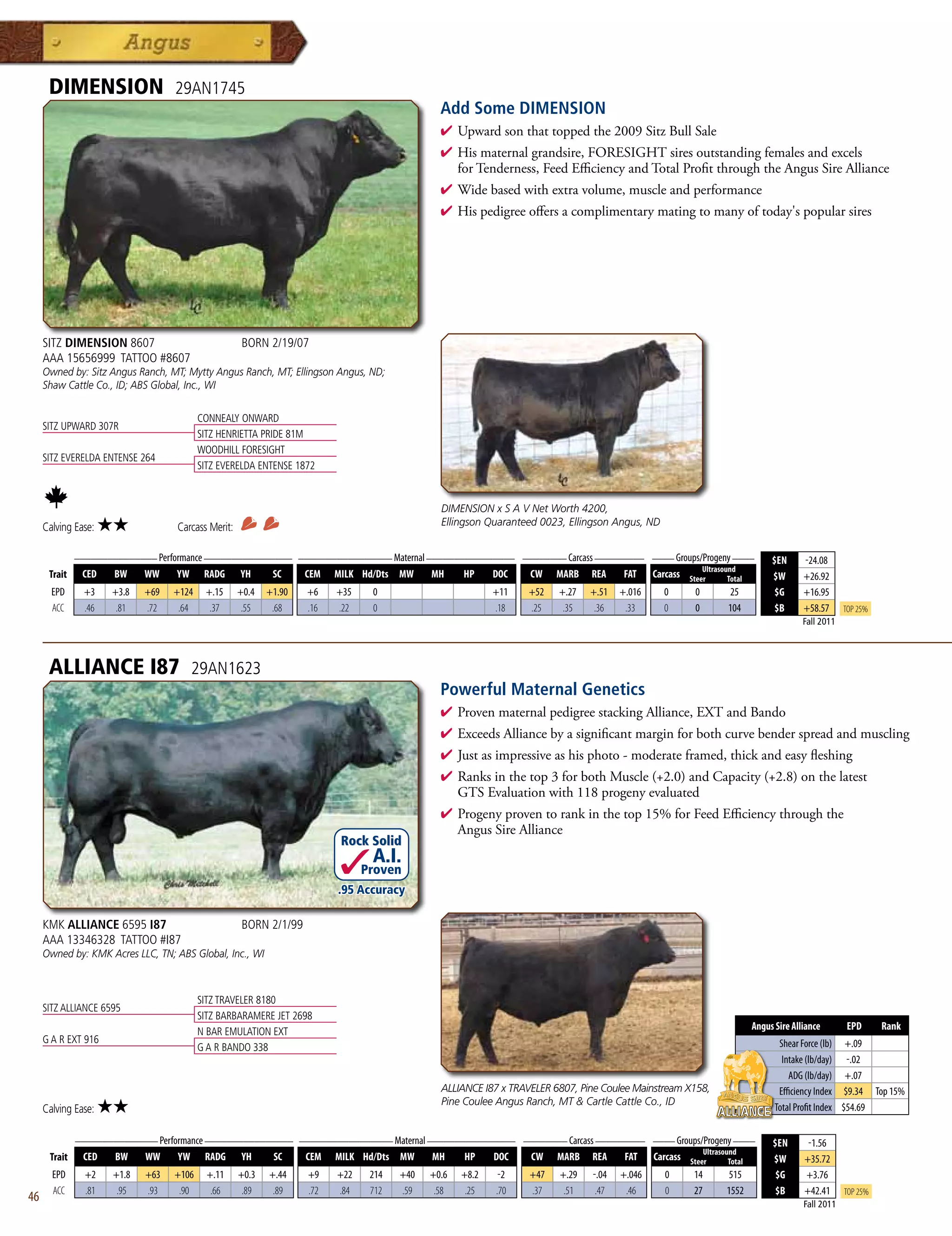 DIMENSION                     29AN1745
                                                                                               Add Some DIMENSION
                                                                                               4  pwardsonthattoppedthe2009SitzBullSale
                                                                                                 U
                                                                                               4 Hismaternalgrandsire,FORESIGHTsiresoutstandingfemalesandexcels
                                                                                                forTenderness,FeedEfficiencyandTotalProfitthroughtheAngusSireAlliance
                                                                                               4 Widebasedwithextravolume,muscleandperformance
                                                                                               4 Hispedigreeoffersacomplimentarymatingtomanyoftoday'spopularsires




     SITZ DIMENSION 8607                              BORN 2/19/07
     AAA 15656999 TATTOO #8607
     Owned by: Sitz Angus Ranch, MT; Mytty Angus Ranch, MT; Ellingson Angus, ND;
     Shaw Cattle Co., ID; ABS Global, Inc., WI


                                           CONNEALY ONWARD
     SITZ UPWARD 307R
                                           SITZ HENRIETTA PRIDE 81M
                                           WOODHILL FORESIGHT
     SITZ EVERELDA ENTENSE 264
                                           SITZ EVERELDA ENTENSE 1872


                                                                                               DIMENSION x S A V Net Worth 4200,
     Calving Ease:    ★★            Carcass Merit:                                             Ellingson Quaranteed 0023, Ellingson Angus, ND

              _______________ Performance ________________ _________________ Maternal ________________ ________ Carcass _________ ____ Groups/Progeny ____
                                                                                                                                                                                 $EN      -24.08
                                                                                                                                                            Ultrasound
      Trait    CED     BW     WW    YW      RADG     YH      SC     CEM   MILK Hd/Dts MW     MH     HP     DOC    CW    MARB   REA     FAT    Carcass   Steer       Total        $W       +26.92
       EPD      +3    +3.8    +69   +124    +.15     +0.4   +1.90   +6    +35    0                         +11   +52    +.27   +.51   +.016     0        0          25            $G      +16.95
       ACC      .46    .81    .72    .64     .37      .55    .68    .16   .22    0                         .18   .25     .35    .36    .33      0        0          104           $B      +58.57      Top 25%
                                                                                                                                                                                          Fall 2011




      ALLIANCE I87                       29AN1623
                                                                                               Powerful Maternal Genetics
                                                                                               4 ProvenmaternalpedigreestackingAlliance,EXTandBando
                                                                                               4 ExceedsAlliancebyasignificantmarginforbothcurvebenderspreadandmuscling
                                                                                               4 Justasimpressiveashisphoto-moderateframed,thickandeasyfleshing
                                                                                               4 Ranksinthetop3forbothMuscle(+2.0)andCapacity(+2.8)onthelatest
                                                                                                GTSEvaluationwith118progenyevaluated
                                                                                               4 Progenyproventorankinthetop15%forFeedEfficiencythroughthe
                                                                                                AngusSireAlliance
                                                                           Rock Solid
                                                                                 A.I.
                                                                                Proven
                                                                          .95 Accuracy

     KMK ALLIANCE 6595 I87                            BORN 2/1/99
     AAA 13346328 TATTOO #I87
     Owned by: KMK Acres LLC, TN; ABS Global, Inc., WI



                                           SITZ TRAVELER 8180
     SITZ ALLIANCE 6595
                                           SITZ BARBARAMERE JET 2698
                                                                                                                                                                            Angus Sire Alliance       EPD       Rank
                                           N BAR EMULATION EXT
     G A R EXT 916                                                                                                                                                                 Shear Force (lb) +.09
                                           G A R BANDO 338
                                                                                                                                                                                    Intake (lb/day) -.02
                                                                                                                                                                                      ADG (lb/day) +.07
                                                                                               ALLIANCE I87 x TRAVELER 6807, Pine Coulee Mainstream X158,                          Efficiency Index $9.34 Top 15%
                                                                                               Pine Coulee Angus Ranch, MT  Cartle Cattle Co., ID
     Calving Ease:    ★★                                                                                                                                                          Total Profit Index $54.69

              _______________ Performance ________________ _________________ Maternal ________________ ________ Carcass _________ ____ Groups/Progeny ____
                                                                                                                                                                                 $EN       -1.56
                                                                                                                                              Ultrasound
      Trait    CED   BW    WW      YW RADG YH         SC    CEM MILK Hd/Dts MW         MH    HP   DOC   CW MARB REA          FAT Carcass Steer        Total                      $W       +35.72
       EPD      +2     +1.8   +63   +106     +.11    +0.3   +.44    +9    +22    214   +40   +0.6   +8.2    -2    +47   +.29   -.04   +.046      0       14         515           $G      +3.76
       ACC      .81     .95   .93    .90      .66     .89    .89    .72   .84    712   .59    .58    .25   .70    .37    .51    .47    .46       0       27         1552          $B      +42.41      Top 25%
46                                                                                                                                                                                        Fall 2011
 