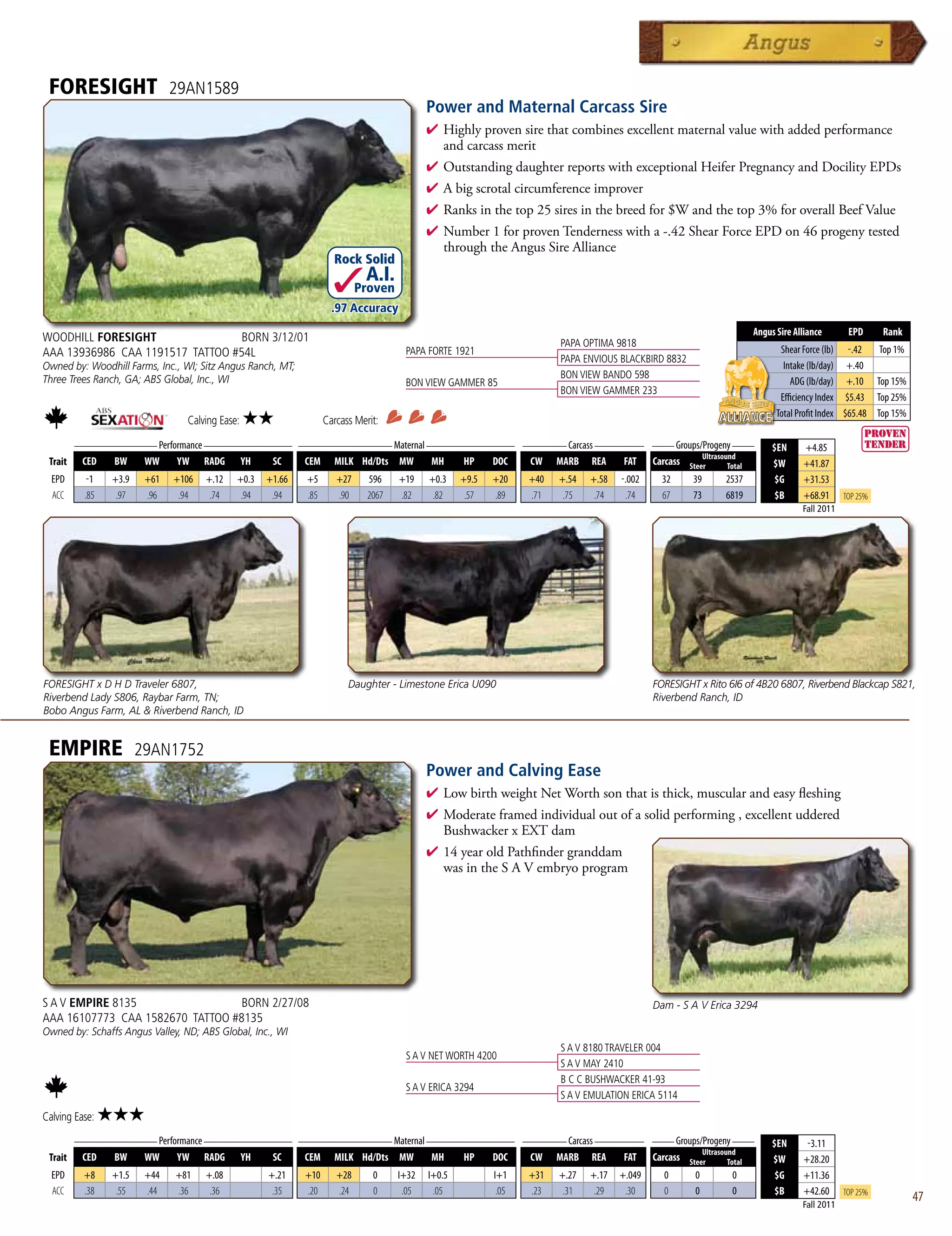 FORESIGHT                    29AN1589
                                                                                           Power and Maternal Carcass Sire
                                                                                           4 Highlyprovensirethatcombinesexcellentmaternalvaluewithaddedperformance
                                                                                            andcarcassmerit
                                                                                           4 OutstandingdaughterreportswithexceptionalHeiferPregnancyandDocilityEPDs
                                                                                           4 Abigscrotalcircumferenceimprover
                                                                                           4 Ranksinthetop25siresinthebreedfor$Wandthetop3%foroverallBeefValue
                                                                                           4 Number1forprovenTendernesswitha-.42ShearForceEPDon46progenytested
                                                                                            throughtheAngusSireAlliance
                                                                    Rock Solid
                                                                            A.I.
                                                                           Proven
                                                                    .97 Accuracy
                                                                                                                                                                    Angus Sire Alliance       EPD      Rank
WOODHILL FORESIGHT                BORN 3/12/01                                                                         PAPA OPTIMA 9818
AAA 13936986 CAA 1191517 TATTOO #54L                                                 PAPA FORTE 1921                                                                       Shear Force (lb) -.42     Top 1%
                                                                                                                       PAPA ENVIOUS BLACKBIRD 8832
Owned by: Woodhill Farms, Inc., WI; Sitz Angus Ranch, MT;                                                                                                                   Intake (lb/day) +.40
Three Trees Ranch, GA; ABS Global, Inc., WI                                                                            BON VIEW BANDO 598
                                                                                     BON VIEW GAMMER 85                                                                       ADG (lb/day) +.10 Top 15%
                                                                                                                       BON VIEW GAMMER 233
                                                                                                                                                                           Efficiency Index $5.43 Top 25%
                                                                                                                                                                          Total Profit Index $65.48 Top 15%
                                 Calving Ease:   ★★               Carcass Merit:
      _______________ Performance ________________ _________________ Maternal ________________ ________ Carcass _________ ____ Groups/Progeny ____
                                                                                                                                                                         $EN     +4.85
                                                                                                                                      Ultrasound
 Trait CED   BW    WW      YW RADG YH         SC    CEM MILK Hd/Dts MW         MH    HP   DOC   CW MARB REA          FAT Carcass Steer        Total                      $W      +41.87
  EPD      -1   +3.9    +61   +106   +.12    +0.3   +1.66   +5       +27     596    +19    +0.3    +9.5   +20    +40   +.54   +.58   -.002     32     39     2537         $G     +31.53
  ACC     .85    .97    .96    .94    .74     .94    .94    .85      .90     2067   .82     .82     .57   .89    .71    .75    .74    .74      67     73     6819         $B     +68.91      Top 25%
                                                                                                                                                                                 Fall 2011




FORESIGHT x D H D Traveler 6807,                                        Daughter - Limestone Erica U090                                      FORESIGHT x Rito 6I6 of 4B20 6807, Riverbend Blackcap S821,
Riverbend Lady S806, Raybar Farm, TN;                                                                                                        Riverbend Ranch, ID
Bobo Angus Farm, AL  Riverbend Ranch, ID


 EMPIRE                29AN1752
                                                                                           Power and Calving Ease
                                                                                           4  owbirthweightNetWorthsonthatisthick,muscularandeasyfleshing
                                                                                             L
                                                                                           4 Moderateframedindividualoutofasolidperforming,excellentuddered
                                                                                            BushwackerxEXTdam
                                                                                           4 14yearoldPathfindergranddam
                                                                                            wasintheSAVembryoprogram




S A V EMPIRE 8135                 BORN 2/27/08                                                                                               Dam - S A V Erica 3294
AAA 16107773 CAA 1582670 TATTOO #8135
Owned by: Schaffs Angus Valley, ND; ABS Global, Inc., WI
                                                                                                                       S A V 8180 TRAVELER 004
                                                                                     S A V NET WORTH 4200
                                                                                                                       S A V MAY 2410
                                                                                                                       B C C BUSHWACKER 41-93
                                                                                     S A V ERICA 3294
                                                                                                                       S A V EMULATION ERICA 5114
Calving Ease:   ★★★
      _______________ Performance ________________ _________________ Maternal ________________ ________ Carcass _________ ____ Groups/Progeny ____
                                                                                                                                                                         $EN      -3.11
                                                                                                                                      Ultrasound
 Trait CED   BW    WW      YW RADG YH         SC    CEM MILK Hd/Dts MW         MH    HP   DOC   CW MARB REA          FAT Carcass Steer        Total                      $W      +28.20
  EPD     +8    +1.5    +44   +81    +.08           +.21    +10      +28      0     I+32   I+0.5          I+1    +31   +.27   +.17   +.049     0      0       0           $G     +11.36
  ACC     .38    .55    .44   .36     .36            .35    .20      .24      0      .05    .05            .05   .23    .31    .29    .30      0      0       0           $B     +42.60      Top 25%
                                                                                                                                                                                 Fall 2011
                                                                                                                                                                                                              47
 