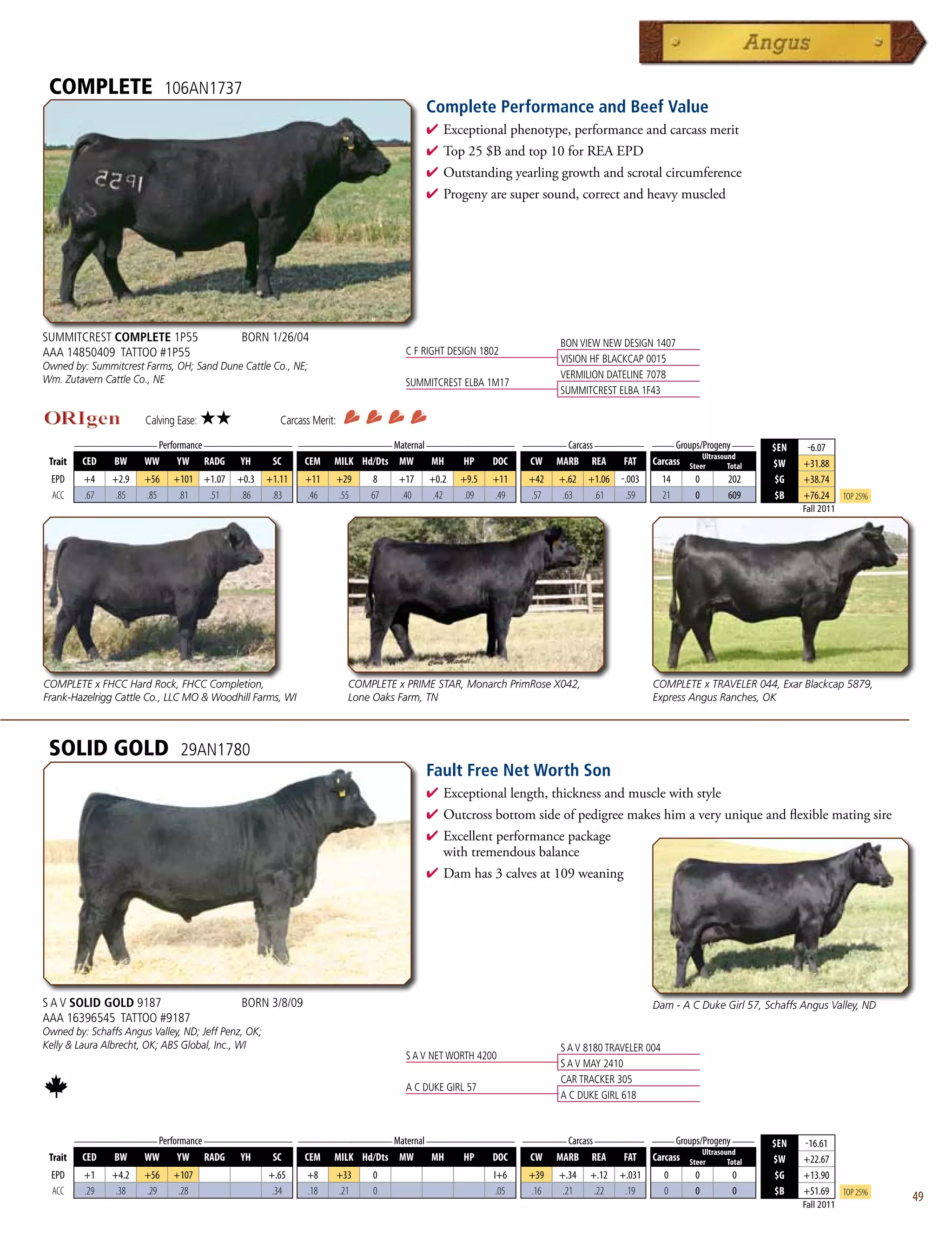 COMPLETE                     106AN1737
                                                                                          Complete Performance and Beef Value
                                                                                          4  xceptionalphenotype,performanceandcarcassmerit
                                                                                            E
                                                                                          4 Top25$Bandtop10forREAEPD
                                                                                          4 Outstandingyearlinggrowthandscrotalcircumference
                                                                                          4 Progenyaresupersound,correctandheavymuscled




SUMMITCREST COMPLETE 1P55                     BORN 1/26/04                                                            BON VIEW NEW DESIGN 1407
AAA 14850409 TATTOO #1P55                                                             C F RIGHT DESIGN 1802
                                                                                                                      VISION HF BLACKCAP 0015
Owned by: Summitcrest Farms, OH; Sand Dune Cattle Co., NE;
Wm. Zutavern Cattle Co., NE                                                                                           VERMILION DATELINE 7078
                                                                                      SUMMITCREST ELBA 1M17
                                                                                                                      SUMMITCREST ELBA 1F43

                        Calving Ease:   ★★              Carcass Merit:
      _______________ Performance ________________ _________________ Maternal ________________ ________ Carcass _________ ____ Groups/Progeny ____
                                                                                                                                                                      $EN     -6.07
                                                                                                                                      Ultrasound
 Trait CED   BW    WW      YW RADG YH         SC    CEM MILK Hd/Dts MW         MH    HP   DOC   CW MARB REA          FAT Carcass Steer        Total                   $W     +31.88
  EPD      +4    +2.9   +56    +101 +1.07    +0.3    +1.11    +11        +29   8    +17    +0.2   +9.5   +11    +42   +.62   +1.06   -.003      14    0      202       $G    +38.74
  ACC      .67    .85   .85     .81  .51      .86     .83     .46        .55   67   .40     .42    .09   .49    .57    .63    .61     .59       21    0      609       $B    +76.24      Top 25%
                                                                                                                                                                             Fall 2011




COMPLETE x FHCC Hard Rock, FHCC Completion,                                COMPLETE x PRIME STAR, Monarch PrimRose X042,                     COMPLETE x TRAVELER 044, Exar Blackcap 5879,
Frank-Hazelrigg Cattle Co., LLC MO  Woodhill Farms, WI                    Lone Oaks Farm, TN                                                Express Angus Ranches, OK



 SOLID GOLD                     29AN1780
                                                                                          Fault Free Net Worth Son
                                                                                          4  xceptionallength,thicknessandmusclewithstyle
                                                                                            E
                                                                                          4 Outcrossbottomsideofpedigreemakeshimaveryuniqueandflexiblematingsire
                                                                                          4 Excellentperformancepackage
                                                                                           withtremendousbalance
                                                                                          4 Damhas3calvesat109weaning




S A V SOLID GOLD 9187                         BORN 3/8/09                                                                                    Dam - A C Duke Girl 57, Schaffs Angus Valley, ND
AAA 16396545 TATTOO #9187
Owned by: Schaffs Angus Valley, ND; Jeff Penz, OK;
Kelly  Laura Albrecht, OK; ABS Global, Inc., WI                                                                      S A V 8180 TRAVELER 004
                                                                                      S A V NET WORTH 4200
                                                                                                                      S A V MAY 2410
                                                                                                                      CAR TRACKER 305
                                                                                      A C DUKE GIRL 57
                                                                                                                      A C DUKE GIRL 618


         _______________ Performance ________________ _________________ Maternal ________________ ________ Carcass _________ ____ Groups/Progeny ____
                                                                                                                                                                      $EN    -16.61
                                                                                                                                         Ultrasound
 Trait    CED   BW    WW      YW RADG YH         SC    CEM MILK Hd/Dts MW         MH    HP   DOC   CW MARB REA          FAT Carcass Steer        Total                $W     +22.67
  EPD      +1    +4.2   +56    +107                  +.65     +8         +33   0                         I+6    +39   +.34   +.12    +.031      0     0       0        $G    +13.90
  ACC      .29    .38   .29     .28                   .34     .18        .21   0                          .05   .16    .21    .22     .19       0     0       0        $B    +51.69      Top 25%
                                                                                                                                                                             Fall 2011
                                                                                                                                                                                                   49
 