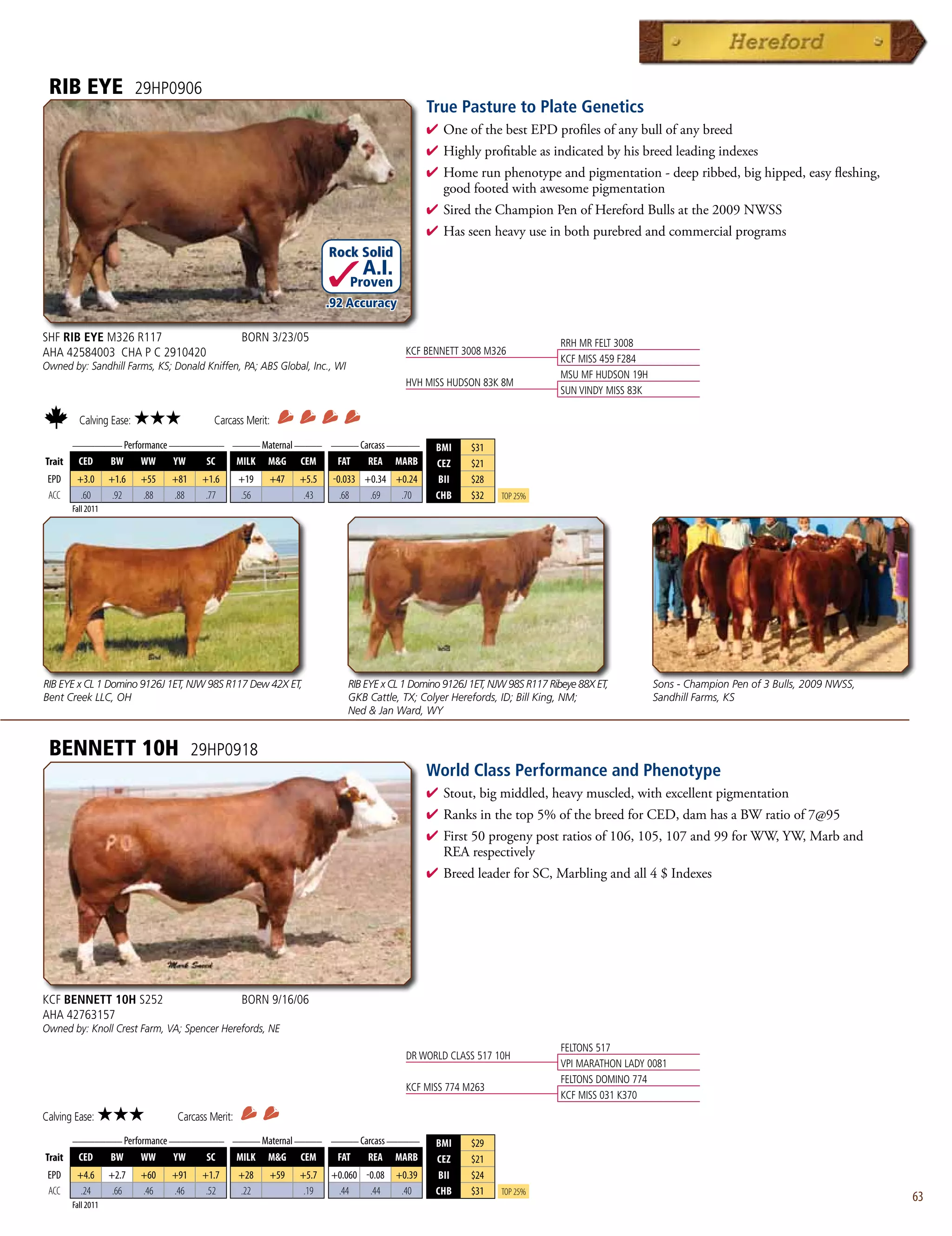 RIB EYE                  29HP0906
                                                                                            True Pasture to Plate Genetics
                                                                                            4  neofthebestEPDprofilesofanybullofanybreed
                                                                                              O
                                                                                            4 Highlyprofitableasindicatedbyhisbreedleadingindexes
                                                                                            4 Homerunphenotypeandpigmentation-deepribbed,bighipped,easyfleshing,
                                                                                             goodfootedwithawesomepigmentation
                                                                                            4 SiredtheChampionPenofHerefordBullsatthe2009NWSS
                                                                                            4 Hasseenheavyuseinbothpurebredandcommercialprograms
                                                                     Rock Solid
                                                                            A.I.
                                                                         Proven
                                                                     .92 Accuracy

SHF RIB EYE M326 R117                             BORN 3/23/05                                                           RRH MR FELT 3008
AHA 42584003 CHA P C 2910420                                                          KCF BENNETT 3008 M326
                                                                                                                         KCF MISS 459 F284
Owned by: Sandhill Farms, KS; Donald Kniffen, PA; ABS Global, Inc., WI
                                                                                                                         MSU MF HUDSON 19H
                                                                                      HVH MISS HUDSON 83K 8M
                                                                                                                         SUN VINDY MISS 83K

         Calving Ease:    ★★★             Carcass Merit:
      _________ Performance __________ _____ Maternal _____ _____ Carcass ______
                                                                                             BMI     $31
Trait CED    BW      WW      YW    SC   MILK MG CEM         FAT    REA MARB                 CEZ     $21
 EPD    +3.0       +1.6   +55   +81    +1.6       +19   +47   +5.5    -0.033 +0.34 +0.24     BII     $28
 ACC     .60        .92   .88   .88     .77       .56          .43      .68   .69   .70      CHB     $32    Top 25%
       Fall 2011




RIB EYE x CL 1 Domino 9126J 1ET, NJW 98S R117 Dew 42X ET,                RIB EYE x CL 1 Domino 9126J 1ET, NJW 98S R117 Ribeye 88X ET,         Sons - Champion Pen of 3 Bulls, 2009 NWSS,
Bent Creek LLC, OH                                                       GKB Cattle, TX; Colyer Herefords, ID; Bill King, NM;                 Sandhill Farms, KS
                                                                         Ned  Jan Ward, WY


 BENNETT 10H                          29HP0918
                                                                                            World Class Performance and Phenotype
                                                                                            4  tout,bigmiddled,heavymuscled,withexcellentpigmentation
                                                                                              S
                                                                                            4 Ranksinthetop5%ofthebreedforCED,damhasaBWratioof7@95
                                                                                            4 First50progenypostratiosof106,105,107and99forWW,YW,Marband
                                                                                             REArespectively
                                                                                            4 BreedleaderforSC,Marblingandall4$Indexes




KCF BENNETT 10H S252                              BORN 9/16/06
AHA 42763157
Owned by: Knoll Crest Farm, VA; Spencer Herefords, NE
                                                                                                                          FELTONS 517
                                                                                      DR WORLD CLASS 517 10H
                                                                                                                          VPI MARATHON LADY 0081
                                                                                                                          FELTONS DOMINO 774
                                                                                      KCF MISS 774 M263
                                                                                                                          KCF MISS 031 K370
Calving Ease:   ★★★              Carcass Merit:
      _________ Performance __________ _____ Maternal _____ _____ Carcass ______
                                                                                             BMI     $29
Trait CED    BW      WW      YW    SC   MILK MG CEM         FAT    REA MARB                 CEZ     $21
 EPD    +4.6       +2.7   +60   +91    +1.7       +28   +59   +5.7   +0.060 -0.08   +0.39    BII     $24
 ACC     .24        .66   .46   .46     .52       .22          .19    .44    .44     .40     CHB     $31    Top 25%
       Fall 2011
                                                                                                                                                                                           63
 