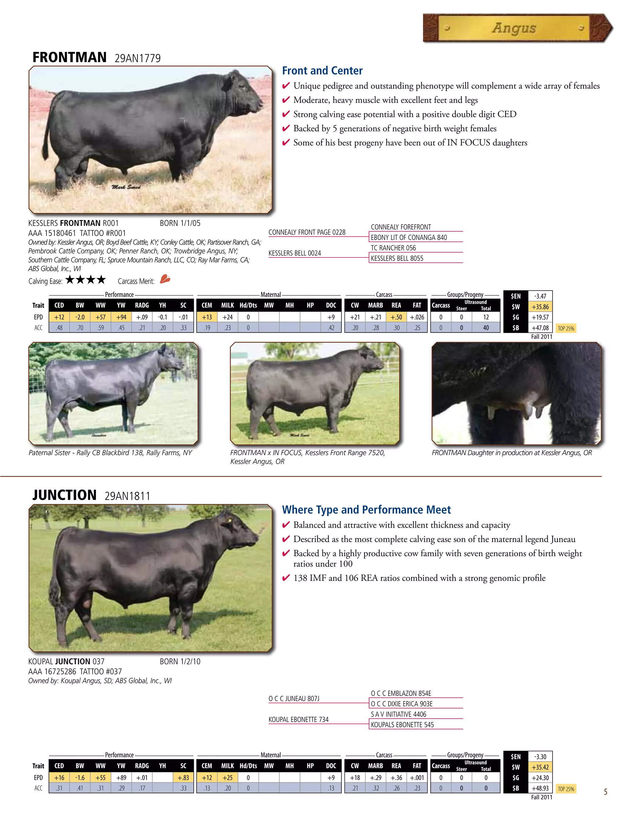 FRONTMAN                       29AN1779
                                                                                               Front and Center
                                                                                               4  niquepedigreeandoutstandingphenotypewillcomplementawidearrayoffemales
                                                                                                 U
                                                                                               4 Moderate,heavymusclewithexcellentfeetandlegs
                                                                                               4 StrongcalvingeasepotentialwithapositivedoubledigitCED
                                                                                               4 Backedby5generationsofnegativebirthweightfemales
                                                                                               4 SomeofhisbestprogenyhavebeenoutofINFOCUSdaughters




KESSLERS FRONTMAN R001                            BORN 1/1/05                                                                CONNEALY FOREFRONT
AAA 15180461 TATTOO #R001                                                                 CONNEALY FRONT PAGE 0228
                                                                                                                             EBONY LIT OF CONANGA 840
Owned by: Kessler Angus, OR; Boyd Beef Cattle, KY; Conley Cattle, OK; Partisover Ranch, GA;
Pembrook Cattle Company, OK; Penner Ranch, OK; Trowbridge Angus, NY;                                                         TC RANCHER 056
                                                                                            KESSLERS BELL 0024
Southern Cattle Company, FL; Spruce Mountain Ranch, LLC, CO; Ray Mar Farms, CA;                                              KESSLERS BELL 8055
ABS Global, Inc., WI
Calving Ease:   ★★★★             Carcass Merit:
      _______________ Performance ________________ _________________ Maternal ________________ ________ Carcass _________ ____ Groups/Progeny ____
                                                                                                                                                                            $EN     -3.47
                                                                                                                                      Ultrasound
 Trait CED   BW    WW      YW RADG YH         SC    CEM MILK Hd/Dts MW         MH    HP   DOC   CW MARB REA          FAT Carcass Steer        Total                         $W     +35.86
  EPD     +12    -2.0    +57     +94    +.09      -0.1   -.01    +13     +24      0                              +9    +21   +.21   +.50   +.026      0     0      12        $G    +19.57
  ACC     .48     .70    .59     .45     .21       .20    .33    .19     .23      0                              .42   .20    .28    .30    .25       0     0      40        $B    +47.08      Top 25%
                                                                                                                                                                                   Fall 2011




Paternal Sister - Rally CB Blackbird 138, Rally Farms, NY                  FRONTMAN x IN FOCUS, Kesslers Front Range 7520,                         FRONTMAN Daughter in production at Kessler Angus, OR
                                                                           Kessler Angus, OR



 JUNCTION                   29AN1811
                                                                                               Where Type and Performance Meet
                                                                                               4  alancedandattractivewithexcellentthicknessandcapacity
                                                                                                 B
                                                                                               4 DescribedasthemostcompletecalvingeasesonofthematernallegendJuneau
                                                                                               4 Backedbyahighlyproductivecowfamilywithsevengenerationsofbirthweight
                                                                                                ratiosunder100
                                                                                               4 138IMFand106REAratioscombinedwithastronggenomicprofile




KOUPAL JUNCTION 037                               BORN 1/2/10
AAA 16725286 TATTOO #037
Owned by: Koupal Angus, SD; ABS Global, Inc., WI
                                                                                                                             O C C EMBLAZON 854E
                                                                                          O C C JUNEAU 807J
                                                                                                                             O C C DIXIE ERICA 903E
                                                                                                                             S A V INITIATIVE 4406
                                                                                          KOUPAL EBONETTE 734
                                                                                                                             KOUPALS EBONETTE 545


         _______________ Performance ________________ _________________ Maternal ________________ ________ Carcass _________ ____ Groups/Progeny ____
                                                                                                                                                                            $EN     -3.30
                                                                                                                                         Ultrasound
 Trait    CED   BW    WW      YW RADG YH         SC    CEM MILK Hd/Dts MW         MH    HP   DOC   CW MARB REA          FAT Carcass Steer        Total                      $W     +35.42
  EPD     +16    -1.6    +55     +89    +.01             +.83    +12     +25      0                              +9    +18   +.29   +.36   +.001      0     0       0        $G    +24.30
  ACC     .31     .41    .31     .29     .17              .33    .13     .20      0                              .13   .21    .32    .26    .23       0     0       0        $B    +48.93      Top 25%
                                                                                                                                                                                   Fall 2011
                                                                                                                                                                                                          5
 