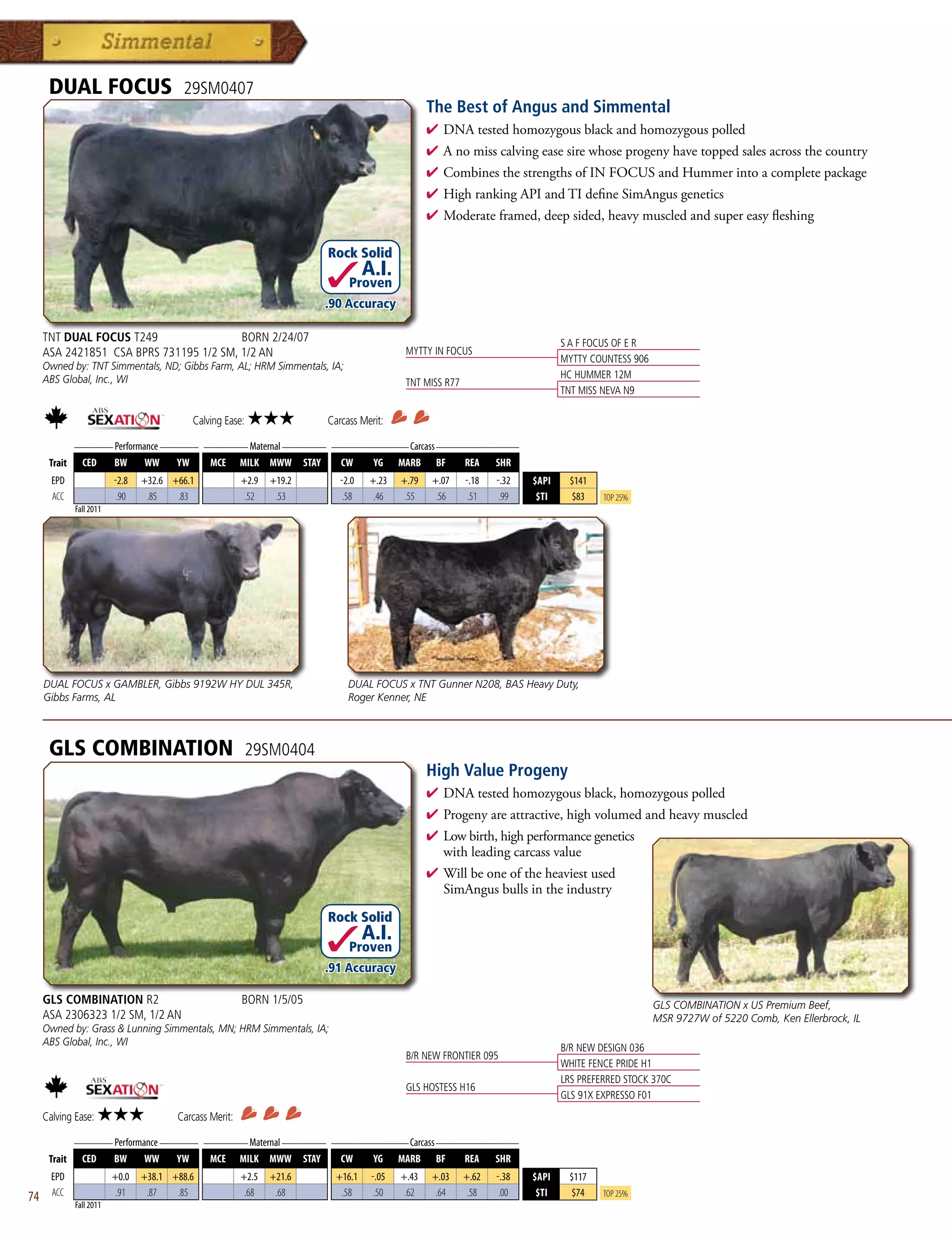 DUAL FOCUS                        29SM0407
                                                                                                The Best of Angus and Simmental
                                                                                                4  NAtestedhomozygousblackandhomozygouspolled
                                                                                                  D
                                                                                                4 Anomisscalvingeasesirewhoseprogenyhavetoppedsalesacrossthecountry
                                                                                                4 CombinesthestrengthsofINFOCUSandHummerintoacompletepackage
                                                                                                4 HighrankingAPIandTIdefineSimAngusgenetics
                                                                                                4 Moderateframed,deepsided,heavymuscledandsupereasyfleshing

                                                                       Rock Solid
                                                                                 A.I.
                                                                            Proven
                                                                       .90 Accuracy

     TNT DUAL FOCUS T249                 BORN 2/24/07                                                                         S A F FOCUS OF E R
     ASA 2421851 CSA BPRS 731195 1/2 SM, 1/2 AN                                           MYTTY IN FOCUS
                                                                                                                              MYTTY COUNTESS 906
     Owned by: TNT Simmentals, ND; Gibbs Farm, AL; HRM Simmentals, IA;
     ABS Global, Inc., WI                                                                                                     HC HUMMER 12M
                                                                                          TNT MISS R77
                                                                                                                              TNT MISS NEVA N9

                                          Calving Ease:   ★★★          Carcass Merit:
           _______ Performance _______ ________ Maternal ________ ______________ Carcass _______________
      Trait CED    BW      WW     YW    MCE MILK MWW STAY           CW    YG MARB BF          REA SHR
       EPD               -2.8   +32.6 +66.1             +2.9   +19.2      -2.0    +.23   +.79    +.07    -.18   -.32   $API    $141
       ACC                .90    .85   .83               .52    .53        .58     .46    .55     .56     .51    .99    $TI    $83     Top 25%
             Fall 2011




     DUAL FOCUS x GAMBLER, Gibbs 9192W HY DUL 345R,                         DUAL FOCUS x TNT Gunner N208, BAS Heavy Duty,
     Gibbs Farms, AL                                                        Roger Kenner, NE



      GLS COMBINATION                                     29SM0404
                                                                                                High Value Progeny
                                                                                                4  NAtestedhomozygousblack,homozygouspolled
                                                                                                  D
                                                                                                4 Progenyareattractive,highvolumedandheavymuscled
                                                                                                4 Lowbirth,highperformancegenetics
                                                                                                 withleadingcarcassvalue
                                                                                                4 Willbeoneoftheheaviestused
                                                                                                 SimAngusbullsintheindustry
                                                                       Rock Solid
                                                                                 A.I.
                                                                            Proven
                                                                       .91 Accuracy

     GLS COMBINATION R2                                 BORN 1/5/05                                                                                GLS COMBINATION x US Premium Beef,
     ASA 2306323 1/2 SM, 1/2 AN                                                                                                                    MSR 9727W of 5220 Comb, Ken Ellerbrock, IL
     Owned by: Grass  Lunning Simmentals, MN; HRM Simmentals, IA;
     ABS Global, Inc., WI
                                                                                                                              B/R NEW DESIGN 036
                                                                                          B/R NEW FRONTIER 095
                                                                                                                              WHITE FENCE PRIDE H1
                                                                                                                              LRS PREFERRED STOCK 370C
                                                                                          GLS HOSTESS H16
                                                                                                                              GLS 91X EXPRESSO F01
     Calving Ease:   ★★★               Carcass Merit:
           _______ Performance _______ ________ Maternal ________ ______________ Carcass _______________
      Trait CED    BW      WW     YW    MCE MILK MWW STAY           CW    YG MARB BF          REA SHR
       EPD               +0.0   +38.1 +88.6             +2.5   +21.6     +16.1    -.05   +.43    +.03    +.62   -.38   $API    $117
74     ACC                .91    .87   .85               .68    .68       .58      .50    .62     .64     .58    .00    $TI    $74     Top 25%
             Fall 2011
 