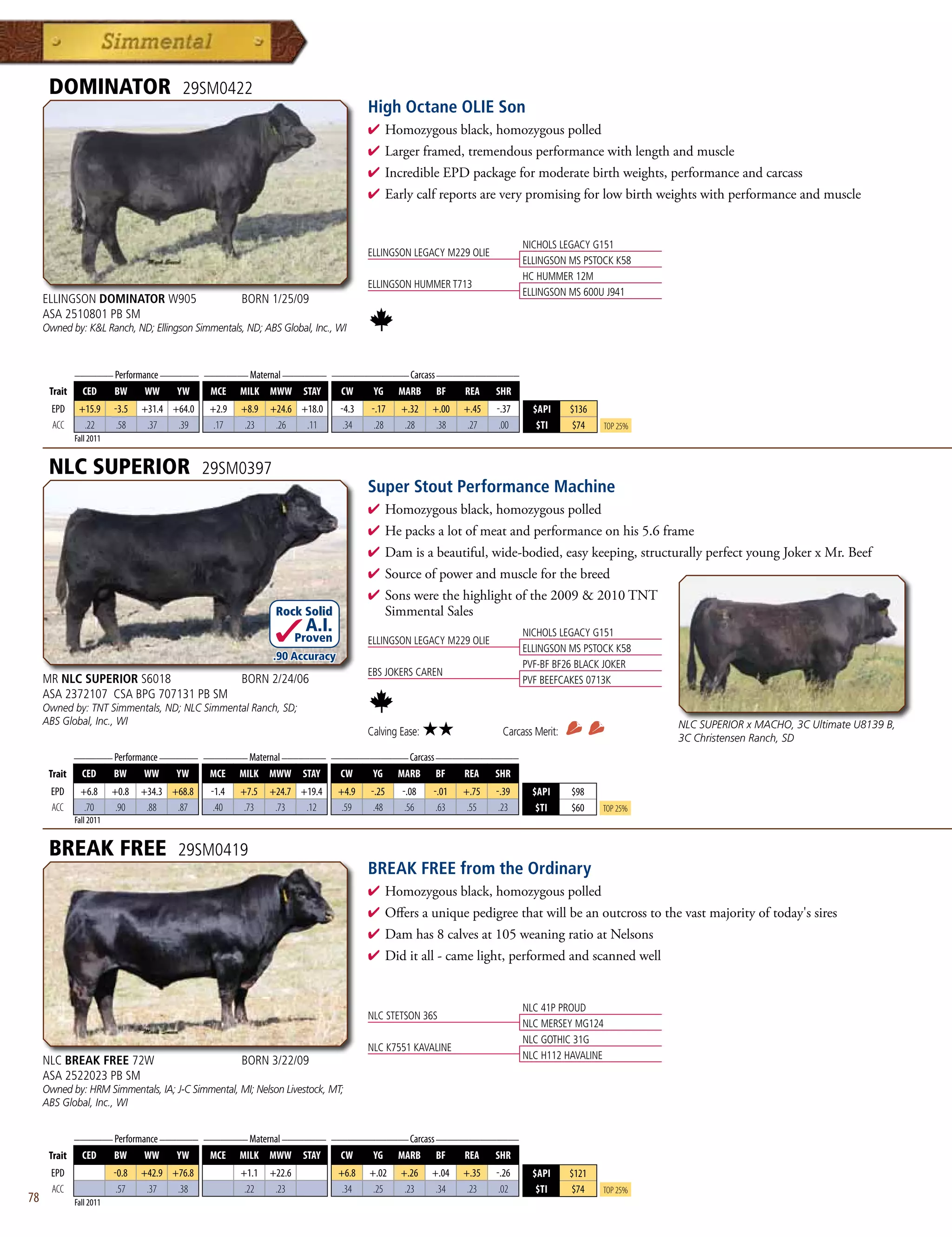 DOMINATOR                          29SM0422
                                                                                      High Octane OLIE Son
                                                                                      4  omozygousblack,homozygouspolled
                                                                                        H
                                                                                      4 Largerframed,tremendousperformancewithlengthandmuscle
                                                                                      4 IncredibleEPDpackageformoderatebirthweights,performanceandcarcass
                                                                                      4 Earlycalfreportsareverypromisingforlowbirthweightswithperformanceandmuscle


                                                                                                                           NICHOLS LEGACY G151
                                                                                      ELLINGSON LEGACY M229 OLIE
                                                                                                                           ELLINGSON MS PSTOCK K58
                                                                                                                           HC HUMMER 12M
                                                                                      ELLINGSON HUMMER T713
                                                                                                                           ELLINGSON MS 600U J941
     ELLINGSON DOMINATOR W905                          BORN 1/25/09
     ASA 2510801 PB SM
     Owned by: KL Ranch, ND; Ellingson Simmentals, ND; ABS Global, Inc., WI


              _______ Performance _______ ________ Maternal ________ ______________ Carcass _______________
      Trait     CED       BW     WW     YW      MCE    MILK MWW        STAY    CW      YG    MARB     BF     REA    SHR
       EPD     +15.9      -3.5   +31.4 +64.0   +2.9    +8.9   +24.6 +18.0      -4.3   -.17    +.32    +.00   +.45   -.37     $API     $136
       ACC      .22        .58    .37   .39     .17     .23    .26   .11        .34    .28     .28     .38    .27    .00      $TI     $74      Top 25%
              Fall 2011


      NLC SUPERIOR                             29SM0397
                                                                                      Super Stout Performance Machine
                                                                                      4  omozygousblack,homozygouspolled
                                                                                        H
                                                                                      4 Hepacksalotofmeatandperformanceonhis5.6frame
                                                                                      4 Damisabeautiful,wide-bodied,easykeeping,structurallyperfectyoungJokerxMr.Beef
                                                                                      4 Sourceofpowerandmuscleforthebreed
                                                                                      4 Sonswerethehighlightofthe20092010TNT
                                                               Rock Solid              SimmentalSales
                                                                       A.I.                                                NICHOLS LEGACY G151
                                                                      Proven          ELLINGSON LEGACY M229 OLIE
                                                                                                                           ELLINGSON MS PSTOCK K58
                                                              .90 Accuracy
                                                                                                                           PVF-BF BF26 BLACK JOKER
                                                                                      EBS JOKERS CAREN
     MR NLC SUPERIOR S6018                             BORN 2/24/06                                                        PVF BEEFCAKES 0713K
     ASA 2372107 CSA BPG 707131 PB SM
     Owned by: TNT Simmentals, ND; NLC Simmental Ranch, SD;
     ABS Global, Inc., WI                                                                                                                                NLC SUPERIOR x MACHO, 3C Ultimate U8139 B,
                                                                                      Calving Ease:   ★★             Carcass Merit:
                                                                                                                                                         3C Christensen Ranch, SD
           _______ Performance _______ ________ Maternal ________ ______________ Carcass _______________
      Trait CED    BW      WW     YW    MCE MILK MWW STAY           CW    YG MARB BF          REA SHR
      EPD       +6.8      +0.8   +34.3 +68.8    -1.4   +7.5   +24.7 +19.4      +4.9   -.25    -.08    -.01   +.75   -.39     $API     $98
      ACC        .70       .90    .88   .87      .40    .73    .73   .12        .59    .48     .56     .63    .55    .23      $TI     $60    Top 25%
              Fall 2011


      BREAK FREE                        29SM0419
                                                                                      BREAK FREE from the Ordinary
                                                                                      4  omozygousblack,homozygouspolled
                                                                                        H
                                                                                      4 Offersauniquepedigreethatwillbeanoutcrosstothevastmajorityoftoday'ssires
                                                                                      4 Damhas8calvesat105weaningratioatNelsons
                                                                                      4 Diditall-camelight,performedandscannedwell


                                                                                                                           NLC 41P PROUD
                                                                                      NLC STETSON 36S
                                                                                                                           NLC MERSEY MG124
                                                                                                                           NLC GOTHIC 31G
                                                                                      NLC K7551 KAVALINE
                                                                                                                           NLC H112 HAVALINE
     NLC BREAK FREE 72W                                BORN 3/22/09
     ASA 2522023 PB SM
     Owned by: HRM Simmentals, IA; J-C Simmental, MI; Nelson Livestock, MT;
     ABS Global, Inc., WI

              _______ Performance _______ ________ Maternal ________ ______________ Carcass _______________
      Trait     CED       BW     WW     YW     MCE     MILK MWW        STAY    CW      YG    MARB     BF     REA    SHR
       EPD                -0.8   +42.9 +76.8           +1.1   +22.6            +6.8   +.02    +.26    +.04   +.35   -.26     $API     $121
       ACC                 .57    .37   .38             .22    .23              .34    .25     .23     .34    .23    .02      $TI     $74    Top 25%
78            Fall 2011
 