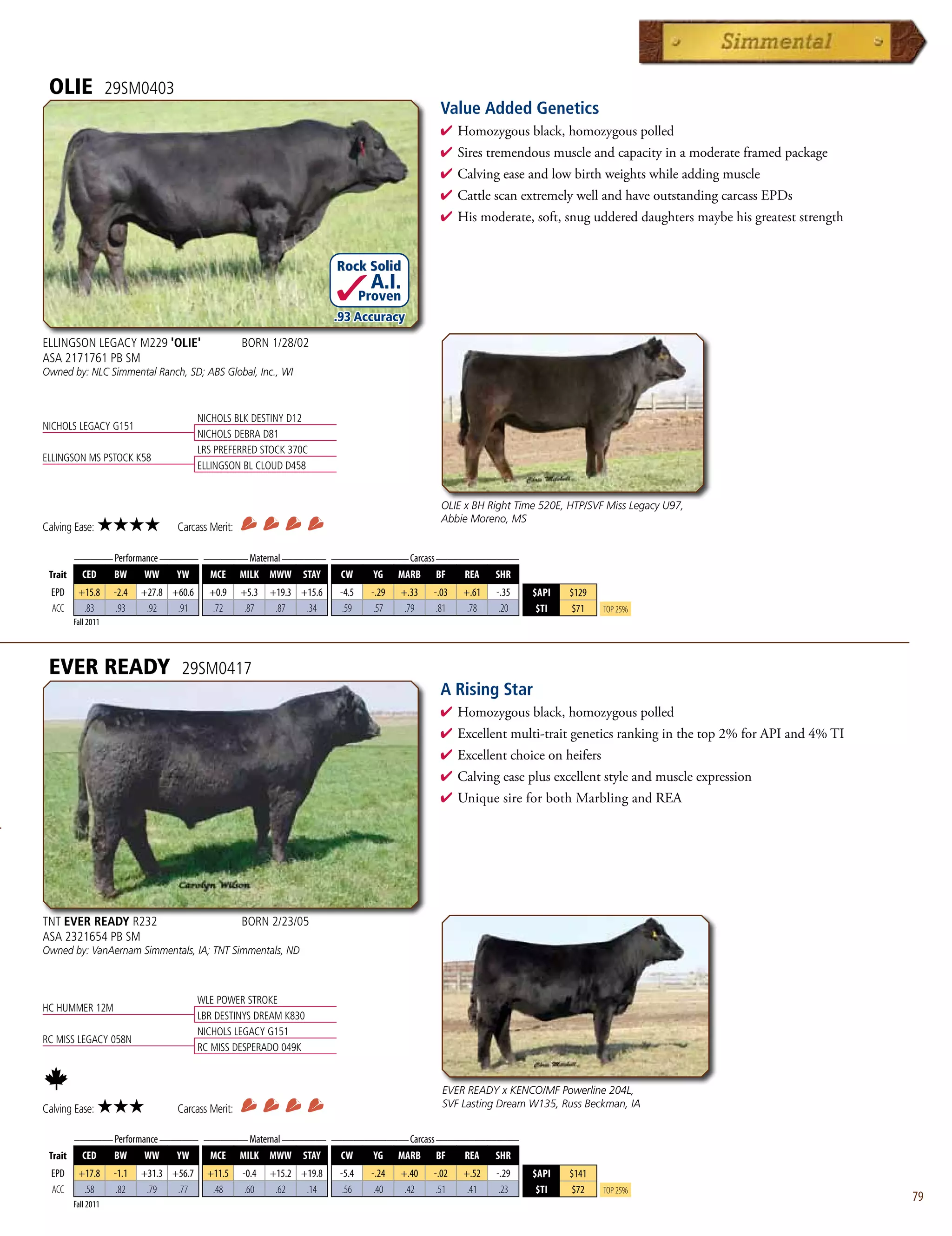 OLIE                29SM0403
                                                                                                  Value Added Genetics
                                                                                                  4  omozygousblack,homozygouspolled
                                                                                                    H
                                                                                                  4 Sirestremendousmuscleandcapacityinamoderateframedpackage
                                                                                                  4 Calvingeaseandlowbirthweightswhileaddingmuscle
                                                                                                  4 CattlescanextremelywellandhaveoutstandingcarcassEPDs
                                                                                                  4 Hismoderate,soft,snuguddereddaughtersmaybehisgreateststrength


                                                                          Rock Solid
                                                                                   A.I.
                                                                                  Proven
                                                                          .93 Accuracy
ELLINGSON LEGACY M229 'OLIE'                         BORN 1/28/02
ASA 2171761 PB SM
Owned by: NLC Simmental Ranch, SD; ABS Global, Inc., WI



                                           NICHOLS BLK DESTINY D12
NICHOLS LEGACY G151
                                           NICHOLS DEBRA D81
                                           LRS PREFERRED STOCK 370C
ELLINGSON MS PSTOCK K58
                                           ELLINGSON BL CLOUD D458


                                                                                                   OLIE x BH Right Time 520E, HTP/SVF Miss Legacy U97,
                                                                                                   Abbie Moreno, MS
Calving Ease:     ★★★★              Carcass Merit:

         _______ Performance _______ ________ Maternal ________ ______________ Carcass _______________
 Trait      CED       BW     WW     YW       MCE     MILK MWW     STAY     CW       YG    MARB   BF     REA    SHR
  EPD     +15.8       -2.4   +27.8 +60.6     +0.9    +5.3   +19.3 +15.6    -4.5    -.29   +.33   -.03   +.61   -.35   $API   $129
  ACC      .83         .93    .92   .91       .72     .87    .87   .34      .59     .57    .79    .81    .78    .20    $TI   $71     Top 25%
         Fall 2011




 EVER READY                          29SM0417
                                                                                                  A Rising Star
                                                                                                  4  omozygousblack,homozygouspolled
                                                                                                    H
                                                                                                  4 Excellentmulti-traitgeneticsrankinginthetop2%forAPIand4%TI
                                                                                                  4 Excellentchoiceonheifers
                                                                                                  4 Calvingeaseplusexcellentstyleandmuscleexpression
                                                                                                  4 UniquesireforbothMarblingandREA




TNT EVER READY R232                                  BORN 2/23/05
ASA 2321654 PB SM
Owned by: VanAernam Simmentals, IA; TNT Simmentals, ND



                                           WLE POWER STROKE
HC HUMMER 12M
                                           LBR DESTINYS DREAM K830
                                           NICHOLS LEGACY G151
RC MISS LEGACY 058N
                                           RC MISS DESPERADO 049K


                                                                                                   EVER READY x KENCO/MF Powerline 204L,
Calving Ease:     ★★★               Carcass Merit:                                                 SVF Lasting Dream W135, Russ Beckman, IA

         _______ Performance _______ ________ Maternal ________ ______________ Carcass _______________
 Trait      CED       BW     WW     YW       MCE     MILK MWW     STAY     CW       YG    MARB   BF     REA    SHR
  EPD     +17.8       -1.1   +31.3 +56.7     +11.5   -0.4   +15.2 +19.8    -5.4    -.24   +.40   -.02   +.52   -.29   $API   $141
  ACC      .58         .82    .79   .77       .48     .60    .62   .14      .56     .40    .42    .51    .41    .23    $TI   $72     Top 25%
         Fall 2011
                                                                                                                                                                             79
 