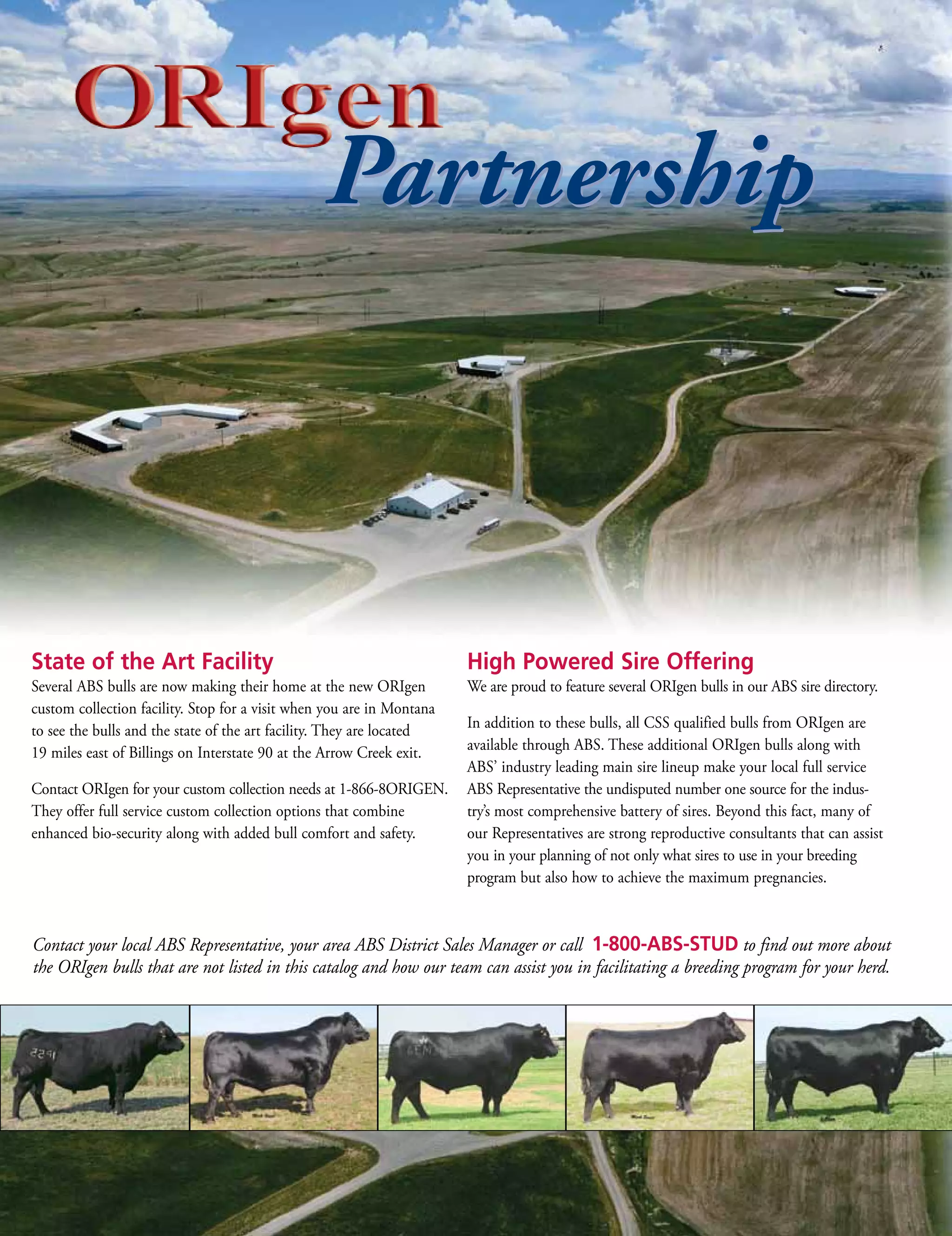 Partnership



State of the Art Facility                                                High Powered Sire Offering
SeveralABSbullsarenowmakingtheirhomeatthenewORIgen          WeareproudtofeatureseveralORIgenbullsinourABSsiredirectory.
customcollectionfacility.StopforavisitwhenyouareinMontana
                                                                   Inadditiontothesebulls,allCSSqualifiedbullsfromORIgenare
toseethebullsandthestateoftheartfacility.Theyarelocated
19mileseastofBillingsonInterstate90attheArrowCreekexit.availablethroughABS.TheseadditionalORIgenbullsalongwith
                                                                   ABS’industryleadingmainsirelineupmakeyourlocalfullservice
ContactORIgenforyourcustomcollectionneedsat1-866-8ORIGEN. ABSRepresentativetheundisputednumberonesourcefortheindus-
Theyofferfullservicecustomcollectionoptionsthatcombine    try’smostcomprehensivebatteryofsires.Beyondthisfact,manyof
enhancedbio-securityalongwithaddedbullcomfortandsafety.   ourRepresentativesarestrongreproductiveconsultantsthatcanassist
                                                                   youinyourplanningofnotonlywhatsirestouseinyourbreeding
                                                                   programbutalsohowtoachievethemaximumpregnancies.



Contact your local ABS Representative, your area ABS District Sales Manager or call 1-800-ABS-STUD to find out more about
the ORIgen bulls that are not listed in this catalog and how our team can assist you in facilitating a breeding program for your herd.
 