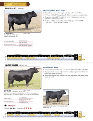 SAFEGUARD                       29AN1815
                                                                                               SAFEGUARD Your Herd's Assets
                                                                                               4  utstandingprospectforCalvingEase,DocilityandoverallBeefValue
                                                                                                 O
                                                                                               4 50/50sonwiththeEPDandpedigreeflexibilitytocomplementmanybloodlines
                                                                                               4 HisgenomicenhancedEPDsrankinthetop10%ofthebreedinmostkey
                                                                                                performanceandconveniencetraits
                                                                                               4 Hisdamisbuildinganoutstandingrecordwithprogenyratiosof96BW,
                                                                                                113WW,114YW,131IMFand103REA




    PA SAFEGUARD 021                                   BORN 1/16/10
    AAA 16772185 TATTOO #021
    Owned by: ABS Global, Inc., WI



                                          B/R NEW DESIGN 036
    G A R NEW DESIGN 5050
                                          G A R PRECISION 706
                                          WOODHILL FORESIGHT
    PA LORNA MARSHALL 2905-730
                                          PETES 2905 DATELINE MARSHALL




             _______________ Performance ________________ _________________ Maternal ________________ ________ Carcass _________ ____ Groups/Progeny ____
                                                                                                                                                                             $EN   -16.61
                                                                                                                                                             Ultrasound
     Trait    CED    BW     WW       YW    RADG       YH      SC     CEM   MILK Hd/Dts MW    MH      HP      DOC   CW    MARB   REA     FAT    Carcass   Steer       Total   $W    +30.90
      EPD     +10    +0.4   +58   +107      +.17      +0.4   +1.19   +10   +33   0                           +30   +36   +.75   +.66   +.016     0        0           0       $G   +36.23
      ACC     .32     .39   .32    .35       .33       .35    .33    .18   .22   0                           .31   .24    .32    .29    .30      0        0           0       $B   +73.24      Top 25%
                                                                                                                                                                                   Fall 2011




     HOOVER DAM                           237AN2102
                                                                                               As Solid as His Name
                                                                                               4  oderateframed,powerfulCC7sonwhoranks#4inthebreedforDocilityEPD
                                                                                                 M
                                                                                               4 Progenyarethick,attractiveandcorrectwithahighlysoughtaftercombinationof
                                                                                                calvingease,muscleanddocility
                                                                                               4 Heavyearlyusagehasmadehimoneofthemostpopularandmostprovenyoung
                                                                                                siresinthebreed




    HOOVER DAM                       BORN 1/25/08
    AAA 16124994 CAA 1552414 TATTOO #G18
    Owned by: Hoover Angus Farm, IA; Idland Cattle Co., MT; Sioux Pass Angus, MT;
    Basin Angus Ranch, MT; Stevenson's Diamond Dot, MT; Gary Wall, IA; AJC Angus, IA


                                          S A F CONNECTION
    SYDGEN C C  7
                                          SYDGEN FOREVER LADY 4087
                                          TC GRIDIRON 258
    ERICA OF ELLSTON C124
                                          ERICA OF ELLSTON V65


                                                                                                HOOVER DAM x HK Neutron T137, Hoover Dam J43,
                                                                                                Hoover Angus, IA
    Calving Ease:   ★★★★             Carcass Merit:

             _______________ Performance ________________ _________________ Maternal ________________ ________ Carcass _________ ____ Groups/Progeny ____
                                                                                                                                                                             $EN   -14.54
                                                                                                                                             Ultrasound
     Trait    CED   BW    WW      YW RADG YH         SC    CEM MILK Hd/Dts MW         MH    HP   DOC   CW MARB REA          FAT Carcass Steer        Total                   $W    +31.13
      EPD     +12    -0.3   +50   +94       +.14      +0.2   +.74    +11   +36   0    I+18   I+0.0   I+9.1   +37   +13   +.56   +.86   +.002      0        0         52       $G   +39.01
      ACC     .57     .86   .79   .69        .44       .52    .73    .15   .20   0     .05    .05     .05    .57   .30    .42    .38    .37       0        0         173      $B   +61.71      Top 25%
8                                                                                                                                                                                  Fall 2011
 