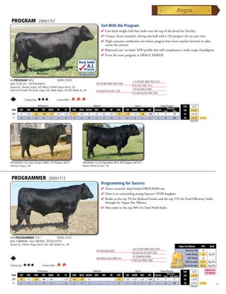 PROGRAM                        29AN1757
                                                                                               Get With the Program
                                                                                               4  owbirthweightbullthatranksnearthetopofthebreedforDocility
                                                                                                 L
                                                                                               4 Unique,heavymuscled,calvingeasebullwitha102progenyribeyearearatio
                                                                                               4 Highcustomersatisfactionsirewhoseprogenyhavebeenrancherfavoritesinsales
                                                                                                acrossthecountry
                                                                                               4 Balancedtrait'noholes'EPDprofilethatwillcomplementawiderangeofpedigrees
                                                                                               4 FromthesameprogramasIMAGEMAKER

                                                                         Rock Solid
                                                                                 A.I.
                                                                                Proven
                                                                         .92 Accuracy
HA PROGRAM 5652                                    BORN 3/3/05                                                             C A FUTURE DIRECTION 5321
AAA 15161251 TATTOO #5652                                                                 HA FUTURE DIRECTION 3540
                                                                                                                           H A 4167 LADY 1013
Owned by: Hinman Angus, MT; Bakers LEMAR Angus Ranch, SD;
Hal  Lois Schudel, OR; Austin Angus, ND; Sodak Angus, SD; ABS Global, Inc, WI                                             SITZ ALLIANCE 6595
                                                                                          HA BLACKCAP LADY 2782
                                                                                                                           H A BLACKCAP LADY 5166

                Calving Ease:   ★★★               Carcass Merit:
      _______________ Performance ________________ _________________ Maternal ________________ ________ Carcass _________ ____ Groups/Progeny ____
                                                                                                                                                                      $EN      -4.24
                                                                                                                                      Ultrasound
 Trait CED   BW    WW      YW RADG YH         SC    CEM MILK Hd/Dts MW         MH    HP   DOC   CW MARB REA          FAT Carcass Steer        Total                   $W      +35.87
  EPD     +7      +0.9    +62    +108   +.19      +0.4   +.49      +11    +24     21     +42   +0.7   +6.2   +20     +28   +.35   +.66   +.008   0     0   170         $G     +27.55
  ACC     .78      .92    .88     .84    .25       .67    .85      .47    .55     84     .51    .47    .08   .71     .22    .36    .37    .28    0     0   742         $B     +61.34      Top 25%
                                                                                                                                                                              Fall 2011




PROGRAM x Sitz New Design 349M, HA Program 8073,                            PROGRAM x G A R Expectation 4915, RES Program 347 871,
Hinman Angus, MT                                                            Robert Elliott  Sons, TN



 PROGRAMMER                             29AN1713
                                                                                               Programming for Success
                                                                                               4  eavymuscled,deepbodiedPROGRAMson
                                                                                                 H
                                                                                               4 DamisanoutstandingyoungEquator395Mdaughter
                                                                                               4 Ranksinthetop5%forReducedIntakeandthetop25%forFeedEfficiencyIndex
                                                                                                throughtheAngusSireAlliance
                                                                                               4 Alsoranksinthetop30%forTotalProfitIndex




VAR PROGRAMMER 7551               BORN 3/2/07
AAA 15889408 CAA 1487930 TATTOO #7551
Owned by: Vollmer Angus Ranch, ND; ABS Global, Inc., WI
                                                                                                                                                                 Angus Sire Alliance       EPD      Rank
                                                                                                                           HA FUTURE DIRECTION 3540
                                                                                          HA PROGRAM 5652                                                               Shear Force (lb) -.07
                                                                                                                           HA BLACKCAP LADY 2782
                                                                                                                                                                         Intake (lb/day) -.37     Top 5%
                                                                                                                           BT EQUATOR 395M
                                                                                          VAR MAGIC EILA PRIDE 551                                                         ADG (lb/day) -.01
                                                                                                                           VAR EILA PRIDE 2908
                                                                                                                                                                        Efficiency Index $5.55 Top 25%
Calving Ease:   ★★★              Carcass Merit:                                                                                                                        Total Profit Index $58.32 Top 30%
      _______________ Performance ________________ _________________ Maternal ________________ ________ Carcass _________ ____ Groups/Progeny ____
                                                                                                                                                                      $EN      -6.78
                                                                                                                                      Ultrasound
 Trait CED   BW    WW      YW RADG YH         SC    CEM MILK Hd/Dts MW         MH    HP   DOC   CW MARB REA          FAT Carcass Steer Bull+Heifer                    $W      +32.40
  EPD     +8      +1.1    +53    +88    +.07             +.25      +10    +29     0                          +15     +23   +.37   +.37   +.004   0     0    8          $G     +25.97
  ACC     .55      .71    .59    .44     .16              .56      .16    .19     0                          .18     .15    .25    .27    .20    0     0   40          $B     +53.91      Top 25%
                                                                                                                                                                              Fall 2011
                                                                                                                                                                                                           9
 