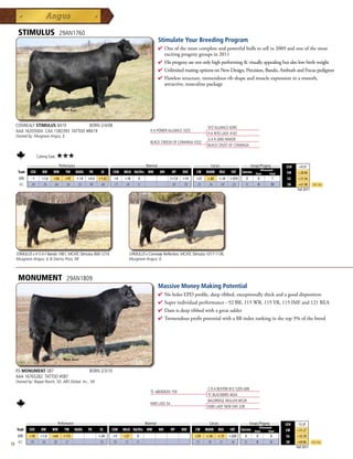 STIMULUS                       29AN1760
                                                                                            Stimulate Your Breeding Program
                                                                                            4  neofthemostcompleteandpowerfulbullstosellin2009andoneofthemost
                                                                                              O
                                                                                              excitingprogenygroupsin2011
                                                                                            4 Hisprogenyarenotonlyhighperformingvisuallyappealingbutalsolowbirthweight
                                                                                            4 UnlimitedmatingoptionsonNewDesign,Precision,Bando,AmbushandFocuspedigrees
                                                                                            4 Flawlessstructure,tremendousribshapeandmuscleexpressioninasmooth,
                                                                                             attractive,masculinepackage




     CONNEALY STIMULUS 8419            BORN 2/4/08                                                                        SITZ ALLIANCE 6595
     AAA 16205004 CAA 1582393 TATTOO #8419                                             H A POWER ALLIANCE 1025
                                                                                                                          H A RITO LADY 4167
     Owned by: Musgrave Angus, IL
                                                                                                                          G A R GRID MAKER
                                                                                       BLACK CREESA OF CONANGA 5332
                                                                                                                          BLACK CRUST OF CONANGA

                     Calving Ease:   ★★★
           _______________ Performance ________________ _________________ Maternal ________________ ________ Carcass _________ ____ Groups/Progeny ____
                                                                                                                                                               $EN    +0.57
                                                                                                                                           Ultrasound
      Trait CED   BW    WW      YW RADG YH         SC    CEM MILK Hd/Dts MW         MH    HP   DOC   CW MARB REA          FAT Carcass Steer        Total       $W     +28.86
      EPD       -1      +1.6    +56    +97   +.14   +0.4   +1.42   +4    +18    0                    I+7.8   +14   +25   +.60   +.34   +.010     0    0    7    $G    +31.56
      ACC      .45       .76    .66    .56    .32    .49    .60    .17   .24    0                     .05    .18   .25    .36    .34    .32      0    0   55    $B    +61.90     Top 25%
                                                                                                                                                                     Fall 2011




     STIMULUS x H S A F Bando 1961, MCATL Stimulus 800-1214,               STIMULUS x Connealy Reflection, MCATL Stimulus 1017-1136,
     Musgrave Angus, IL  Danny Poss, NE                                   Musgrave Angus, IL



      MONUMENT                         29AN1809
                                                                                            Massive Money Making Potential
                                                                                            4  oholesEPDprofile,deepribbed,exceptionallythickandagooddisposition
                                                                                              N
                                                                                            4 Superindividualperformance-92BR,115WR,115YR,115IMFand121REA
                                                                                            4 Damisdeepribbedwithagreatudder
                                                                                            4 Tremendousprofitpotentialwitha$Bindexrankinginthetop3%ofthebreed




     R5 MONUMENT 087                                BORN 2/3/10
     AAA 16765282 TATTOO #087
     Owned by: Reppe Ranch, SD; ABS Global, Inc., WI
                                                                                                                          C R A BEXTOR 872 5205 608
                                                                                       TC ABERDEEN 759
                                                                                                                          TC BLACKBIRD 4034
                                                                                                                          BALDRIDGE MULLEN M528
                                                                                       KMD LASS 54
                                                                                                                          KMD LADY NEW DAY 328


             _______________ Performance ________________ _________________ Maternal ________________ ________ Carcass _________ ____ Groups/Progeny ____
                                                                                                                                                               $EN   -13.37
                                                                                                                                             Ultrasound
     Trait    CED   BW    WW      YW RADG YH         SC    CEM MILK Hd/Dts MW         MH    HP   DOC   CW MARB REA          FAT Carcass Steer        Total     $W    +31.27
      EPD     +10      +1.0    +64    +115                 +.04    +9    +27   0                                   +29   +.56   +.75   +.020    0     0   0     $G   +33.78
      ACC     .29       .36    .28     .27                  .33    .10   .12   0                                   .13    .18    .21    .16     0     0   0     $B   +69.86      Top 25%
10                                                                                                                                                                   Fall 2011
 