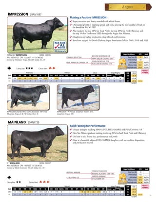 IMPRESSION                       29AN1697
                                                                                             Making a Positive IMPRESSION
                                                                                             4  uperattractiveandheavymuscledwithaddedframe
                                                                                               S
                                                                                             4 Outstandingbirthtoyearlingspreadandranksamongthetophandfulofbullsin
                                                                                              thebreedforRADGEPD
                                                                                             4 Alsoranksinthetop10%forTotalProfit,thetop25%forFeedEfficiencyand
                                                                                              thetop5%forTendernessEPDthroughtheAngusSireAlliance
                                                                                             4 Daughtersarehighlyproductive,deepribbedandfeminine.
                                                                                             4 SonshavetoppedtheNorthDakotaAngusAssociationSalein2009,2010and2011
                                                                         Rock Solid
                                                                                 A.I.
                                                                                Proven
                                                                         .90 Accuracy
                                                                                                                                                                  Angus Sire Alliance       EPD      Rank
CONNEALY IMPRESSION               BORN 1/29/06                                                                           BON VIEW NEW DESIGN 878
AAA 15543702 CAA 1525807 TATTOO #6262                                                    CONNEALY REFLECTION                                                             Shear Force (lb) -.33     Top 4%
                                                                                                                         HAPPY GRILL OF CONANGA 6260
Owned by: Thompson Angus, ND; ABS Global, Inc., WI                                                                                                                        Intake (lb/day) +.62
                                                                                                                         VERMILION DATELINE 7078
                                                                                         PEARL PAMMY OF CONANGA 194                                                         ADG (lb/day) +.13 Top 10%
                                                                                                                         PEARL JAM OF CONANGA 6114
                                                                                                                                                                         Efficiency Index $5.21 Top 25%
                                                                                                                                                                        Total Profit Index $70.01 Top 10%
                Calving Ease:   ★★★               Carcass Merit:
      _______________ Performance ________________ _________________ Maternal ________________ ________ Carcass _________ ____ Groups/Progeny ____
                                                                                                                                                                       $EN     -20.20
                                                                                                                                      Ultrasound
 Trait CED   BW    WW      YW RADG YH         SC    CEM MILK Hd/Dts MW         MH    HP   DOC   CW MARB REA          FAT Carcass Steer        Total                    $W      +28.78
  EPD     +4      +0.4     +68   +133   +.29      +0.4    +.93     +9     +28     5                          +6    +53   +.40   +.63   +.029   0       17   94          $G     +21.44
  ACC     .71      .90     .85    .78    .49       .78     .77     .29    .40     34                         .59   .28    .43    .40    .37    0       58   302         $B     +65.56      Top 25%
                                                                                                                                                                               Fall 2011




IMPRESSION x Bando 1961, MCATL Impression 789-1103,                         IMPRESSION x IN FOCUS, Josephson Imprint J015,
Musgrave Angus, IL  C E Varley  Son, IA                                   Josephson Angus, MN



 MAINLAND                        29AN1729
                                                                                             Solid Footing for Performance
                                                                                             4  niquepedigreestackingMAINLINE,HIGHMARKandPaPaUniverse515
                                                                                               U
                                                                                             4 NewSireAlliancegraduaterankinginthetop20%forbothTotalProfitandEfficiency
                                                                                             4 Usehimtoaddframesize,performanceandprofit
                                                                                             4 DamisabeautifuludderedHIGHMARKdaughterwithanexcellentdisposition
                                                                                              andproductionrecord




G T MAINLAND                      BORN 2/20/07
AAA 15758334 CAA 1487932 TATTOO #705
Owned by: Martin Andersen, WI; ABS Global, Inc., WI
                                                                                                                                                                  Angus Sire Alliance       EPD      Rank
                                                                                                                         CONNEALY DANNY BOY
                                                                                         WOODHILL MAINLINE                                                               Shear Force (lb) -.18
                                                                                                                         WOODHILL BLACKBIRD 1288-138K
                                                                                                                                                                          Intake (lb/day) +.25
                                                                                                                         GARDENS HIGHMARK
                                                                                         G T BLACKBIRD 525                                                                  ADG (lb/day) +.09 Top 20%
                                                                                                                         G T BLACKBIRD 281
                                                                                                                                                                         Efficiency Index $6.92 Top 20%
Calving Ease:   ★★               Carcass Merit:                                                                                                                         Total Profit Index $62.96 Top 20%
      _______________ Performance ________________ _________________ Maternal ________________ ________ Carcass _________ ____ Groups/Progeny ____
                                                                                                                                                                       $EN      -0.67
                                                                                                                                      Ultrasound
 Trait CED   BW    WW      YW RADG YH         SC    CEM MILK Hd/Dts MW         MH    HP   DOC   CW MARB REA          FAT Carcass Steer        Total                    $W      +32.85
  EPD     +3      +1.1     +61   +99    +.07      +0.1    +.33     +9     +19     0                          +16   +50   +.66   +.74   +.025   0        0    5          $G     +31.64
  ACC     .36      .51     .41   .41     .31       .36     .41     .14    .20     0                          .32   .23    .32    .31    .31    0        0   11          $B     +69.03      Top 25%
                                                                                                                                                                               Fall 2011
                                                                                                                                                                                                            11
 