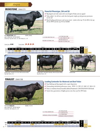IRONSTONE                   29AN1771
                                                                                                  Powerful Phenotype, $W and $B
                                                                                                  4  ighippedandwidemadewithextralengthofbodyandeyeappeal
                                                                                                    B
                                                                                                  4 Valueadded-hewillsirecattlethatlookgood,weighupandgeneratepremiums
                                                                                                   ontherail
                                                                                                  4 Breedleadingperformanceandcarcassmerit-ranksinthetop1%forREA,thetop
                                                                                                   2%forWWandthetop4%forMARB




     R/M IRONSTONE 4047                                 BORN 2/8/04
                                                                                                                                G A R PRECISION 1680
     AAA 14954578 TATTOO #4047                                                               C A FUTURE DIRECTION 5321
     Owned by: Ray Mar Farms, CA; ABS Global, Inc., WI                                                                          C A MISS POWER FIX 308
                                                                                                                                B/R NEW DESIGN 323
                                                                                             B/R RUBY OF TIFFANY 5144
                                                                                                                                B/R RUBY OF TIFFANY 346

     Calving Ease:   ★★               Carcass Merit:
           _______________ Performance ________________ _________________ Maternal ________________ ________ Carcass _________ ____ Groups/Progeny ____
                                                                                                                                                                           $EN     -5.41
                                                                                                                                           Ultrasound
      Trait CED   BW    WW      YW RADG YH         SC    CEM MILK Hd/Dts MW         MH    HP   DOC   CW MARB REA          FAT Carcass Steer        Total                   $W     +33.56
       EPD     +4    +2.6   +68   +108       +.15      +0.6   +.80    +6    +22       1    I+14   I+0.3         +12      +16   +.83   +.88    -.002       0    0      31    $G    +44.86
       ACC     .63    .82   .75    .63        .40       .64    .54    .25   .32       8     .05    .05          .20      .37    .45    .44     .44        0    0      91    $B    +71.41     Top 25%
                                                                                                                                                                                 Fall 2011




     IRONSTONE x Wulffs Ext 6106, R/M Ironstone 8F65,                             IRONSTONE x Woodhill Gibraltar, R/M Ironstone 8K96,                     IRONSTONE
     Ray Mar Farms, CA                                                            Ray Mar Farms, CA



      FINALIST               29AN1798
                                                                                                  Leading Contender for Maternal and Beef Value
                                                                                                  4  asyfleshingandbigtoppedwithasuperdisposition
                                                                                                    E
                                                                                                  4 Outstandingindividualperformanceratios-WW112,YW137,IMF127,REA135
                                                                                                  4 Damisamoderateframed,beautifuludderedPredestinedxDESTINATION928female
                                                                                                  4 Stacksthreegenerationsofhighlyprovensiresthatexcelfor$WIndex




     FOX RUN FINALIST                                   BORN 1/17/10
     AAA 16620181 TATTOO #0024
     Owned by: ABS Global, Inc., WI
                                                                                                                                SITZ TRAVELER 8180
                                                                                             S A V FINAL ANSWER 0035
                                                                                                                                S A V EMULOUS 8145
                                                                                                                                G A R PREDESTINED
                                                                                             SHERMANS EVERELDA ENTENSE805
                                                                                                                                SHERMANS EVERELDA ENTENSE471


             _______________ Performance ________________ _________________ Maternal ________________ ________ Carcass _________ ____ Groups/Progeny ____
                                                                                                                                                                           $EN   -12.56
                                                                                                                                             Ultrasound
     Trait    CED   BW    WW      YW RADG YH         SC    CEM MILK Hd/Dts MW         MH    HP   DOC   CW MARB REA          FAT Carcass Steer        Total                 $W    +24.55
      EPD      +6    +2.1   +62   +124                               +10    +23      0                                   +41   +.85   +.69   +.062    0        0      0     $G   +31.28
      ACC      .30    .35   .27    .26                               .18    .20      0                                   .20    .23    .25    .21     0        0      0     $B   +73.51      Top 25%
14                                                                                                                                                                               Fall 2011
 