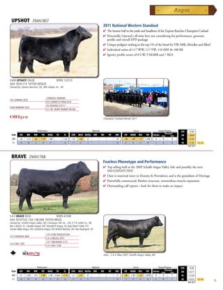 UPSHOT                 29AN1807
                                                                                       2011 National Western Standout
                                                                                       4  ehottestbullintheyardsandheadlineroftheExpressRanchesChampionCarload
                                                                                         Th
                                                                                       4 PotentiallyUpward'sall-timebestsonconsideringhisperformance,genomic
                                                                                        profileandoverallEPDpackage
                                                                                       4 Uniquepedigreerankinginthetop1%ofthebreedforYW,Milk,$Feedlotand$Beef
                                                                                       4 Individualratiosof117WW,117YW,110IMF108RE
                                                                                       4 Igenityprofilescoresof8CW,9MARBand7REA




EXAR UPSHOT 0562B                              BORN 1/22/10
AAA 16541214 TATTOO #0562B
Owned by: Express Ranches, OK; ABS Global, Inc., WI



                                     CONNEALY ONWARD
SITZ UPWARD 307R
                                     SITZ HENRIETTA PRIDE 81M
                                     ISU IMAGING Q 9111
EXAR BARBARA T020
                                     LCC MC HENRY BARBAR MG382


                                                                                       Champion Carload Denver 2011



         _______________ Performance ________________ _________________ Maternal ________________ ________ Carcass _________ ____ Groups/Progeny ____
                                                                                                                                                                   $EN   -23.46
                                                                                                                                                   Ultrasound
 Trait    CED    BW     WW     YW     RADG     YH     SC       CEM   MILK Hd/Dts MW   MH   HP    DOC     CW    MARB   REA     FAT    Carcass   Steer       Total   $W    +28.84
  EPD      +6    +1.4   +62   +119     +.09          +.55      +8    +36     0                    +9     +38   +.89   +.71   +.025      0       0           0       $G   +37.87
  ACC      .34    .40   .31    .29      .27           .32      .17   .21     0                    .20    .27    .35    .31    .28       0       0           0       $B   +77.87      Top 25%
                                                                                                                                                                         Fall 2011




 BRAVE             29AN1768
                                                                                       Fearless Phenotype and Performance
                                                                                       4  opsellingbullinthe2009SchaffsAngusValleySaleandpossiblythenext
                                                                                         T
                                                                                         SAUGAHATCHEE
                                                                                       4 DamismaternalsistertoDensityProvidenceandisthegranddamofHeritage
                                                                                       4 Powerfullyconstructed,flawlessstructure,tremendousmuscleexpression
                                                                                       4 Outstandingcalfreports-lookforthemtomakeanimpact




S A V BRAVE 8320                  BORN 4/3/08
AAA 16107533 CAA 1582368 TATTOO #8320
Owned by: Schaffs Angus Valley, ND; Champion Hill, Inc., OH; E T R Cattle Co., NE;
Bar L Ranch, FL; Candee Angus, MT; Woodruff Angus, IA; Boyd Beef Cattle, KY;
Sunset Valley Angus, OH; Limestone Angus, OK; Buford Ranches, OK; Dan Davenport, SD

                                     S A V 8180 TRAVELER 004
S A V MANDAN 5664
                                     S A V ABIGALE 0451
                                     S A F 598 BANDO 5175
S A V MAY 2397
                                     S A V MAY 7238


                                                                                       Dam - S A V May 2397, Schaffs Angus Valley, ND



         _______________ Performance ________________ _________________ Maternal ________________ ________ Carcass _________ ____ Groups/Progeny ____
                                                                                                                                                                   $EN   -14.58
                                                                                                                                         Ultrasound
 Trait    CED   BW    WW      YW RADG YH         SC    CEM MILK Hd/Dts MW         MH    HP   DOC   CW MARB REA          FAT Carcass Steer        Total             $W    +22.11
  EPD      +1    +3.8   +51   +100    +.10    I+0.6 +1.16      +7    +33     0                     -3    +48   +.43   +.52   +.070      0       0           1       $G   +15.26
  ACC      .34    .49   .39    .30     .19     .05   .34       .15   .19     0                    .18    .17    .22    .24    .20       0       0           1       $B   +53.22      Top 25%
                                                                                                                                                                         Fall 2011
                                                                                                                                                                                               15
 