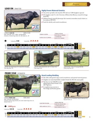 LEAD ON                29AN1556
                                                                                                Highly Proven Maternal Genetics
                                                                                                4  neofthetopbullsinthebreedfor$Wwithover5,000daughtersreported
                                                                                                  O
                                                                                                4 Hisdaughtersrank#1intheUniversityofIllinoisfeedefficiencyresearchforforage
                                                                                                 basedRFI
                                                                                                4 Mediumframed,powerfulphenotypethattransmitstremendousmusclerelativeto
                                                                                                 hismoderateBWEPD
                                                                                                4 Excelsfordocilityandscrotalcircumference

                                                                          Rock Solid
                                                                                  A.I.
                                                                                 Proven
                                                                          .98 Accuracy

CONNEALY LEAD ON                  BORN 4/13/99                                                                               CONNEALY DATELINE
AAA 13447282 CAA 1179972 TATTOO #9794                                                      CONNEALY LEADTIME
                                                                                                                             RUTHS RONA OF CONANGA
Owned by: Connealy Angus Ranch, NE; ABS Global, Inc., WI
                                                                                                                             TC DIVIDEND 963
                                                                                           ELIGENCE PLUS OF CONANGA
                                                                                                                             EURA CAP OF CONANGA

                Calving Ease:   ★★                 Carcass Merit:
      _______________ Performance ________________ _________________ Maternal ________________ ________ Carcass _________ ____ Groups/Progeny ____
                                                                                                                                                                              $EN    +3.05
                                                                                                                                      Ultrasound
 Trait CED   BW    WW      YW RADG YH         SC    CEM MILK Hd/Dts MW         MH    HP   DOC   CW MARB REA          FAT Carcass Steer        Total                           $W     +39.17
  EPD     +3    +2.1    +51     +99    +.07      +0.4   +.72        +6     +29    1454    +18   +0.4   +7.0    +19     +14   +.62    +.38   -.090     16    15      3767       $G    +42.36
  ACC     .93    .98    .97     .96     .70       .95    .95        .90    .94    4996    .89    .89    .70    .90     .65    .70     .69    .68      34    40      9292       $B    +67.04     Top 25%
                                                                                                                                                                                    Fall 2011




LEAD ON x Twin Valley Precision E161, Rachel 395 of Woodlawn,                LEAD ON x NEW DESIGN 878, CMC 315 Pride 5104,                          Maternal Sister - Elisha of Conanga 868 988,
Lone Oaks Farm, TN                                                           Chad Vaught, MO                                                        Cherry Knoll Farm, PA



 PRIME STAR                     237AN2074
                                                                                                Breed Leading Marbling
                                                                                                4  lsoofferssolidgrowth,largescrotalcircumferenceandoptimalmaternalgenetics
                                                                                                  A
                                                                                                4 Daughtersaresound,deep-bodied,completefemalesthatofferelitecarcassquality
                                                                                                4 Hisdamwasthe$280,000record
                                                                                                 sellingExpressRanchfemaleinthe
                                                                                                 2007BigEvent
                                                                                                4 Acomplimentaryoutcrossto
                                                                                                 NewDesignandPrecisiongenetics
                                                                          Rock Solid
                                                                                  A.I.
                                                                                 Proven
                                                                          .94 Accuracy

GARDENS PRIME STAR                               BORN 2/8/04                                                                                        PRIME STAR x G A R Predestined, Monarch Blackcap X016,
AAA 14740749 TATTOO #E242                                                                                                                           Monarch Farm, LA
Owned by: Express Angus Ranches, OK; Green Garden Angus Farm, KS;
Monarch Farm, LA
                                                                                                                             GARDENS PRIME TIME
                                                                                           N BAR PRIME TIME D806
                                                                                                                             N BAR MISS EMULOUS A404
                                                                                                                             S S TRAVELER 6807 T510
                                                                                           GREEN GARDEN JILT C242 S1
                                                                                                                             GREEN GARDEN JILT 9242 S1
Calving Ease:   ★★★             Carcass Merit:
      _______________ Performance ________________ _________________ Maternal ________________ ________ Carcass _________ ____ Groups/Progeny ____
                                                                                                                                                                              $EN    +23.54
                                                                                                                                      Ultrasound
 Trait CED   BW    WW      YW RADG YH         SC    CEM MILK Hd/Dts MW         MH    HP   DOC   CW MARB REA          FAT Carcass Steer        Total                           $W     +40.04
  EPD     +9    +2.2    +41     +84    +.05      +0.0   +.64        +8     +18     95     -39   -0.2   +11.2    -6     +8    +1.27   +.34   +.086     15     4       870       $G    +34.14
  ACC     .85    .94    .91     .89     .66       .90    .90        .66    .75     316    .73    .74    .27    .77     .59    .64     .64    .62      24     9      1986       $B    +51.33     Top 25%
                                                                                                                                                                                    Fall 2011
                                                                                                                                                                                                             19
 