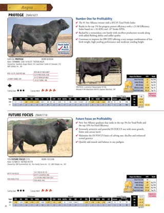 PROTEGE                    29AN1677
                                                                                                     Number One for Profitability
                                                                                                     4 The#1SireAlliancewinnerwitha$92.35TotalProfitIndex
                                                                                                     4 Ranksinthetop1%forprogenyprovenefficiencywitha+21.80Efficiency
                                                                                                      Indexbasedon+.16ADGand-.07IntakeEPDs
                                                                                                     4 Backedbyatremendouscowfamilywithexcellentproductionrecordsalong
                                                                                                      withaddedfleshingabilityandudderquality
                                                                                                     4 ContinuestoimproveforBWEPDofferingaveryuniquecombinationoflow
                                                                                                      birthweight,highyearlingperformanceandmoderateyearlingheight
                                                                             Rock Solid
                                                                                    A.I.
                                                                                   Proven
                                                                             .91 Accuracy

     GAR-EGL PROTEGE                   BORN 8/30/04
     AAA 15098880 CAA 1410237 TATTOO #E24
     Owned by: Gardiner Angus Ranch, KS; Leachman Cattle of Colorado, CO;
     ABS Global, Inc., WI


                                              RITO 6I6 OF 4B20 6807
     RITO 1I2 OF 2536 RITO 6I6
                                              G A R PRECISION 2536
                                                                                                                                                                                   Angus Sire Alliance       EPD       Rank
                                              D H D TRAVELER 6807
     L B 6807 ISABEL 339                                                                                                                                                                  Shear Force (lb) -.22 Top 30%
                                              L B E31 ISABEL 168
                                                                                                                                                                                           Intake (lb/day) -.07 Top 30%
                                                                                                                                                                                             ADG (lb/day) +.16 Top 2%
                                                                                                      PROTEGE x Lemmon Newsmaker N156,                                                    Efficiency Index $21.80 Top 1%
                                                                                                      Monarch Ms Blackbird W078, Express Ranches, OK
     Calving Ease:    ★★★              Carcass Merit:                                                                                                                                    Total Profit Index $92.35 Top 1%

              _______________ Performance ________________ _________________ Maternal ________________ ________ Carcass _________ ____ Groups/Progeny ____
                                                                                                                                                                                        $EN       -1.48
                                                                                                                                                                   Ultrasound
      Trait    CED     BW     WW       YW      RADG     YH      SC     CEM   MILK Hd/Dts MW        MH       HP     DOC   CW    MARB   REA    FAT     Carcass   Steer       Total        $W       +35.03
       EPD      +7    +1.0    +67      +117     +.18    +0.1   -.81    +6    +18    15      +46    +0.3    I+3.8   +8    +29   +.63   +.65   -.003     0        16         278           $G      +36.74
       ACC      .72    .91    .87       .82      .58     .85    .84    .33   .42    27      .37     .39     .05    .72   .38    .50    .47    .45      0        23         706           $B      +73.12      Top 25%
                                                                                                                                                                                                 Fall 2011




      FUTURE FOCUS                             29AN1714
                                                                                                     Future Focus on Profitability
                                                                                                     4  ewSireAlliancegraduatethatranksinthetop3%forTotalProfitand
                                                                                                       N
                                                                                                       thetop10%forFeedEfficiency
                                                                                                     4 ExtremelyattractiveandpowerfulINFOCUSsonwithmoregrowth,
                                                                                                      frameandcarcassmerit
                                                                                                     4 MaintainstheINFOCUSbasicsofcalvingease,docilityandenhanced
                                                                                                      scrotalgenetics
                                                                                                     4 Quicklyaddmuscleandbalancetoanypedigree




     YON FUTURE FOCUS T219                               BORN 10/22/06
     AAA 15748572 TATTOO #T219
     Owned by: BJR Summerford, AL; Yon Family Farms Inc., SC; ABS Global, Inc., WI



                                              S A F FOCUS OF E R
     MYTTY IN FOCUS
                                              MYTTY COUNTESS 906
                                                                                                                                                                                   Angus Sire Alliance       EPD       Rank
                                              C A FUTURE DIRECTION 5321
     YON HAZEL R133                                                                                                                                                                       Shear Force (lb) -.00
                                              YON HAZEL N02
                                                                                                                                                                                           Intake (lb/day) -.09 Top 25%
                                                                                                                                                                                             ADG (lb/day) +.07 Top 30%
                                                                                                                                                                                          Efficiency Index $10.64 Top 10%
     Calving Ease:    ★★★              Carcass Merit:                                                                                                                                    Total Profit Index $77.38 Top 3%

              _______________ Performance ________________ _________________ Maternal ________________ ________ Carcass _________ ____ Groups/Progeny ____
                                                                                                                                                                                        $EN      -13.73
                                                                                                                                              Ultrasound
      Trait    CED   BW    WW      YW RADG YH         SC    CEM MILK Hd/Dts MW         MH    HP   DOC   CW MARB REA          FAT Carcass Steer        Total                             $W       +33.13
       EPD     +10     +2.0      +68   +116     +.19    +0.8   +1.97   +12   +28     0      I+33   I+0.4           +19   +39   +.56   +.58   +.000      0        0          25           $G      +32.10
       ACC     .56      .75      .64    .57      .40     .60    .58    .20   .24     0       .05    .05            .27   .27    .35    .37    .35       0        0          50           $B      +71.35      Top 25%
26                                                                                                                                                                                               Fall 2011
 