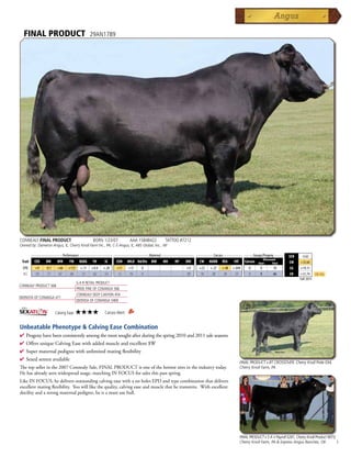 FINAL PRODUCT                                  29AN1789




CONNEALY FINAL PRODUCT                            BORN 1/23/07             AAA 15848422    TATTOO #7212
Owned by: Dameron Angus, IL; Cherry Knoll Farm Inc., PA; C-5 Angus, IL; ABS Global, Inc., WI

         _______________ Performance ________________ _________________ Maternal ________________ ________ Carcass _________ ____ Groups/Progeny ____
                                                                                                                                                                       $EN    -3.62
                                                                                                                                                       Ultrasound
 Trait    CED    BW      WW      YW      RADG    YH     SC      CEM       MILK Hd/Dts MW   MH   HP   DOC   CW    MARB   REA     FAT      Carcass   Steer       Total   $W    +32.64
  EPD      +9    -0.7    +66    +113      +.11   +0.4   +.20    +11       +17   0                    +9    +23   +.27   +.48   +.044        0       0           10      $G   +19.11
  ACC      .54    .77    .67     .60       .13    .62    .53    .12       .16   0                    .09   .18    .28    .30    .23         0       0           66      $B   +51.74      Top 25%
                                                                                                                                                                             Fall 2011
                                        G A R RETAIL PRODUCT
CONNEALY PRODUCT 568
                                        PRIDE FINE OF CONANGA 566
                                        CONNEALY DEEP CANYON 454
EBONISTA OF CONANGA 471
                                        EBONISA OF CONANGA 5469


                        Calving Ease:   ★★★★             Carcass Merit:


Unbeatable Phenotype & Calving Ease Combination
4  rogenyhavebeenconsistentlyamongthemostsoughtafterduringthespring2010and2011saleseasons
  P
4 OffersuniqueCalvingEasewithaddedmuscleandexcellent$W
4 Supermaternalpedigreewithunlimitedmatingflexibility
4 Sexedsemenavailable
                                                                                                                                      FINAL PRODUCT x BT CROSSOVER, Cherry Knoll Pride 034,
Thetopsellerinthe2007ConnealySale,FINALPRODUCTisoneofthehottestsiresintheindustrytoday.                          Cherry Knoll Farm, PA
Hehasalreadyseenwidespreadusage,matchingINFOCUSforsalesthispastspring.
LikeINFOCUS,hedeliversoutstandingcalvingeasewithanoholesEPDandtypecombinationthatdelivers
excellentmatingflexibility.Youwilllikethequality,calvingeaseandmusclethathetransmits.Withexcellent
docilityandastrongmaternalpedigree,heisamustusebull.




                                                                                                                                      FINAL PRODUCT x S A V Payroll 5281, Cherry Knoll Product 9073,
                                                                                                                                      Cherry Knoll Farm, PA  Express Angus Ranches, OK              1
 