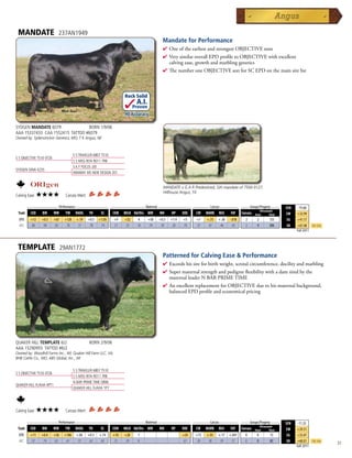 MANDATE                    237AN1949
                                                                                              Mandate for Performance
                                                                                              4  neoftheearliestandstrongestOBJECTIVEsons
                                                                                                O
                                                                                              4 VerysimilaroverallEPDprofiletoOBJECTIVEwithexcellent
                                                                                               calvingease,growthandmarblinggenetics
                                                                                              4 ThenumberoneOBJECTIVEsonforSCEPDonthemainsirelist



                                                                       Rock Solid
                                                                              A.I.
                                                                             Proven
                                                                       .90 Accuracy

SYDGEN MANDATE 6079               BORN 1/9/06
AAA 15337433 CAA 1552415 TATTOO #6079
Owned by: Sydenstricker Genetics, MO; T K Angus, NE



                                        S S TRAVELER 6807 T510
S S OBJECTIVE T510 0T26
                                        S S MISS RITA R011 7R8
                                        S A F FOCUS J30
SYDGEN GINA 4235
                                        INNIWAY MS NEW DESIGN 201


                                                                                              MANDATE x G A R Predestined, SJH mandate of 7504 0127,
                                                                                              Hillhouse Angus, TX
Calving Ease:   ★★★★             Carcass Merit:

         _______________ Performance ________________ _________________ Maternal ________________ ________ Carcass _________ ____ Groups/Progeny ____
                                                                                                                                                                          $EN   -19.68
                                                                                                                                                          Ultrasound
 Trait    CED    BW       WW     YW      RADG     YH      SC     CEM   MILK Hd/Dts MW       MH     HP     DOC   CW    MARB   REA     FAT    Carcass   Steer       Total   $W    +32.99
  EPD     +12   +0.3      +67    +128     +.19    +0.5   +1.05   +9    +32     4      +58   +0.3   +7.4   +5    +7    +.75   +.38   -.018     2        2          133      $G   +41.17
  ACC     .80    .90      .85     .78      .51     .78    .74    .31   .35     18     .19    .18    .20   .70   .37    .47    .46    .45      2        4          306      $B   +67.48      Top 25%
                                                                                                                                                                                Fall 2011




 TEMPLATE                       29AN1772
                                                                                              Patterned for Calving Ease  Performance
                                                                                              4 Exceedshissireforbirthweight,scrotalcircumference,docilityandmarbling
                                                                                              4 Supermaternalstrengthandpedigreeflexibilitywithadamsiredbythe
                                                                                               maternalleaderNBARPRIMETIME
                                                                                              4 AnexcellentreplacementforOBJECTIVEduetohismaternalbackground,
                                                                                               balancedEPDprofileandeconomicalpricing




QUAKER HILL TEMPLATE 6J2                           BORN 2/9/06
AAA 15290955 TATTOO #6J2
Owned by: Woodhill Farms Inc., WI; Quaker Hill Farm LLC, VA;
BHB Cattle Co., MO; ABS Global, Inc., WI


                                        S S TRAVELER 6807 T510
S S OBJECTIVE T510 0T26
                                        S S MISS RITA R011 7R8
                                        N BAR PRIME TIME D806
QUAKER HILL FLAVIA 4PT1
                                        QUAKER HILL FLAVIA 1P7




Calving Ease:   ★★★★             Carcass Merit:

         _______________ Performance ________________ _________________ Maternal ________________ ________ Carcass _________ ____ Groups/Progeny ____
                                                                                                                                                                          $EN   -11.35
                                                                                                                                         Ultrasound
 Trait    CED   BW    WW      YW RADG YH         SC    CEM MILK Hd/Dts MW         MH    HP   DOC   CW MARB REA          FAT Carcass Steer        Total                    $W    +29.51
  EPD     +11   +0.4      +56    +106    +.06     +0.3   +.74    +10   +28     1                          +24   +15   +.93   +.17   +.041     0        0           15      $G   +33.47
  ACC     .57    .74      .63     .61     .37      .62    .63    .25   .29     8                          .61   .30    .38    .39    .37      0        0           82      $B   +60.01      Top 25%
                                                                                                                                                                                Fall 2011
                                                                                                                                                                                                      31
 
