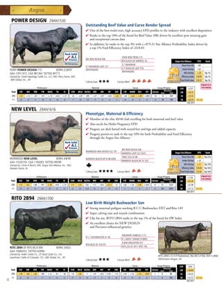 POWER DESIGN                         29AN1530
                                                                                 Outstanding Beef Value and Curve Bender Spread
                                                                                 4 Oneofthebestmulti-trait,highaccuracyEPDprofilesintheindustrywithexcellentdisposition
                                                                                 4 Ranksinthetop10%ofthebreedforBeefValue($B)drivenbyexcellentpostweaninggain
                                                                                  andexceptionalcarcassdata
                                                                                 4 Inaddition,heranksinthetop3%witha+$79.31SireAllianceProfitabilityIndexdrivenby
                                                                                  atop1%FeedEfficiencyIndexof+$18.03
                                                              Rock Solid
                                                                   A.I.          B/R NEW DESIGN 036
                                                                                                                      VDAR NEW TREND 315
                                                                 Proven                                               B/R BLACKCAP EMPRESS 76                                            Angus Sire Alliance        EPD      Rank
                                                          .94 Accuracy                                                G T MAXIMUM
                                                                                 E P MAXIMUM LADY 221                                                                                           Shear Force (lb) -.04
                                                                                                                      E P TRAVELER LADY 910                                                      Intake (lb/day) +.62
     PERRY POWER DESIGN 715            BORN 2/28/97                              (PATHFINDER)
                                                                                                                      (PATHFINDER)                                                                 ADG (lb/day) +.23         Top 1%
     AAA 12911472 CAA 981364 TATTOO #P715
     Owned by: Frank-Hazelrigg Cattle Co., LLC, MO; Perry Farms, MO;                                                                                                                            Efficiency Index $18.03      Top 1%
     ABS Global, Inc., WI                                                                                                                                                                      Total Profit Index $79.31     Top 3%
                                                                                 Calving Ease:   ★★★              Carcass Merit:
              _______________ Performance ________________ _________________ Maternal ________________ ________ Carcass _________ ____ Groups/Progeny ____
                                                                                                                                                                                              $EN      +2.91
                                                                                                                                              Ultrasound
      Trait    CED   BW    WW      YW RADG YH         SC    CEM MILK Hd/Dts MW         MH    HP   DOC   CW MARB REA          FAT Carcass Steer        Total                                   $W       +32.31
       EPD     +12    +1.2   +47    +91   +.12   +0.3   +.37        +6     +24   220    +37      +0.7   +6.8    +22     +26        +.62   +.40   +.002     16         13          369          $G      +33.55
       ACC     .84     .94   .91    .88    .56    .86    .85        .71    .84   558    .70       .70    .25    .72     .64         .68    .67    .67      38         28          740          $B      +63.93      Top 25%
                                                                                                                                                                                                       Fall 2011


      NEW LEVEL                     29AN1616
                                                                                 Phenotype, Maternal  Efficiency
                                                                                 4 Memberoftheelite40/40clubexcellingforbothmaternalandbeefvalue
                                                                                 4 AlsoexcelsforHeiferPregnancyEPD
                                                                                 4 Progenyareslickhairedwithsoundfeetandlegsandaddedcapacity
                                                                                 4 Progenyproventorankinthetop10%forbothProfitabilityandFeedEfficiency
                                                                                  throughtheAngusSireAlliance
                                                              Rock Solid
                                                                   A.I.
                                                                 Proven
                                                                                                                      B/R NEW DESIGN 036
                                                          .96 Accuracy           IRONWOOD NEW DESIGN 022 701                                                                             Angus Sire Alliance        EPD      Rank
                                                                                                                      WARDENS LADY 022 5410
                                                                                                                      FINKS 5522-6148                                                           Shear Force (lb) -.24 Top 25%
     IRONWOOD NEW LEVEL                BORN 4/8/99                               WARDENS BLACKCAP 6148 6309
                                                                                                                      WARDENS BLACKCAP SC 025                                                    Intake (lb/day) +.22
     AAA 13320150 CAA 1194283 TATTOO #9399
     Owned by: Circle A Ranch, MO; Angus Sire Alliance, Inc., MO;                                                                                                                                  ADG (lb/day) +.11 Top 10%
     Warden Farms, IA                                                                                                                                                                           Efficiency Index $10.04 Top 10%
                                                                                 Calving Ease:   ★★★★             Carcass Merit:                                                               Total Profit Index $72.67 Top 10%
           _______________ Performance ________________ _________________ Maternal ________________ ________ Carcass _________ ____ Groups/Progeny ____
                                                                                                                                                                                              $EN      +2.56
                                                                                                                                           Ultrasound
      Trait CED   BW    WW      YW RADG YH         SC    CEM MILK Hd/Dts MW         MH    HP   DOC   CW MARB REA          FAT Carcass Steer        Total                                      $W       +41.59
      EPD      +12    -0.2   +48    +87   +.16   +0.4   +.33      +11      +31   525    +11      +0.4   +12.1    -4     +26    +.42       +.45   +.057     21        52         1324           $G      +21.49
      ACC      .90     .96   .95    .93    .69    .92    .92      .82      .90   1616   .82       .82    .59    .83     .71     .75        .75    .75      70        130        3059           $B      +51.15      Top 25%
                                                                                                                                                                                                      Fall 2011


      RITO 2B94                    29AN1700
                                                                                 Low Birth Weight Bushwacker Son
                                                                                 4 StrongmaternalpedigreestackingBCCBushwacker,EXTandRito149
                                                                                 4 Supercalvingeaseandmusclecombination
                                                                                 4 Likehissire,RITO2B94ranksinthetop1%ofthebreedfor$WIndex
                                                                                 4 AnexcellentchoiceforNEWDESIGN
                                                                                  andPrecisioninfluencedgenetics

                                                                                                                      PARAMONT AMBUSH 2172
                                                                                 B C C BUSHWACKER 41-93
                                                                                                                      R C ANITA T BANDO 918903
                                                                                                                      N BAR EMULATION EXT
                                                                                 RITA 6K20 OF 2T6 EXT
                                                                                                                      RITA 2T6 OF 5H11 RITO 149
     RITO 2B94 OF RITA 6K20 BW                    BORN 2/6/02
     AAA 14084352 TATTOO #2B94
     Owned by: Keller Cattle Co., UT; Bryd Cattle Co., CA;
                                                                                                                                                                   RITO 2B94 x G A R Predestined, Rita 9K3 of Rita 5M13 2B94,
     Leachman Cattle of Colorado, CO.; ABS Global, Inc., WI
                                                                                 Calving Ease:   ★★★              Carcass Merit:                                   Wehrmann Angus, VA

              _______________ Performance ________________ _________________ Maternal ________________ ________ Carcass _________ ____ Groups/Progeny ____
                                                                                                                                                                                              $EN      -0.63
                                                                                                                                                                         Ultrasound
      Trait    CED    BW     WW     YW    RADG   YH      SC       CEM      MILK Hd/Dts MW        MH      HP     DOC     CW     MARB       REA     FAT    Carcass     Steer       Total        $W      +38.08
      EPD      +10    -0.8   +56    +90   +.12   -0.1   -.02       +9      +25   7      +25      +0.2   I+8.1   +12     +24    +.22       +.53   -.019     1          0          80            $G     +24.22
      ACC      .63     .84   .77    .71    .41    .61    .72       .43     .54   56     .29       .31    .05    .46     .34     .44        .44    .43      1          0          238           $B     +52.75       Top 25%
32                                                                                                                                                                                                    Fall 2011
 