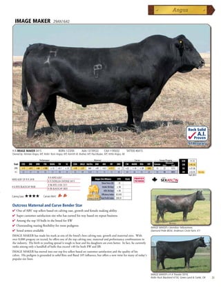 IMAGE MAKER                            29AN1642




                                                                                                                                                                                    Rock Solid
                                                                                                                                                                                                A.I.
                                                                                                                                                                                          Proven
                                                                                                                                                                                    .97 Accuracy

H A IMAGE MAKER 0415                             BORN 1/23/00        AAA 13739532          CAA 1195032              TATTOO #0415
Owned by: Hinman Angus, MT; Rollin' Rock Angus, MT; Kennth M. Bodner, MT; Paul Boylan, MT; Witte Angus, NE

          _______________ Performance ________________ _________________ Maternal ________________ ________ Carcass _________ ____ Groups/Progeny ____
                                                                                                                                                                              $EN    -11.72
                                                                                                                                                              Ultrasound
  Trait    CED    BW     WW    YW      RADG     YH     SC     CEM   MILK Hd/Dts MW       MH       HP      DOC      CW     MARB   REA    FAT     Carcass   Steer       Total   $W     +45.16
  EPD      +11   +0.5    +66   +108     +.12    +0.1   +.13   +10   +37   364    +47     +0.3    +11.7     +2      +23    +.16   +.28   -.043      13      22        1313      $G    +21.36
  ACC      .92    .97    .96    .94      .73     .90    .93   .83   .89   1638   .76      .76     .52      .86     .60     .66    .65    .64       30      50        3855      $B    +52.35     Top 25%
                                                                                                                                                                                    Fall 2011
                                      R R HERO 6267
HERO 6267 OF R R 2418                                                            Angus Sire Alliance      EPD      Rank
                                      R R EVERELDA ENTENSE 0413
                                                                                        Shear Force (lb) -.15
                                      H 96 RITO 2100 7371
H A RITO BLACKCAP 9038                                                                   Intake (lb/day) +.56
                                      H 96 BLACKCAP 3835
                                                                                           ADG (lb/day) +.05
                                                                                        Efficiency Index $(3.93)
Calving Ease:   ★★★★           Carcass Merit:
                                                                                       Total Profit Index $39.31


Outcross Maternal and Curve Bender Star
4 OneofABS'topsellersbasedoncalvingease,growthandfemalemakingability
4 Supercustomersatisfactionsirewhohasearnedhiswaybasedonrepeatbusiness
4 Amongthetop10bullsinthebreedfor$W
4 Outstandingmatingflexibilityformostpedigrees
                                                                                                                                              IMAGE MAKER x Vermilion Yellowstone,
4 Sexedsemenavailable                                                                                                                       Diamond Pride 8654, Anderson Circle Farm, KY
IMAGEMAKERhasmadehismarkasoneofthebreed'sbestcalvingease,growthandmaternalsires.With
over8,000progenyonrecord,heoffersoneofthetopcalvingease,maternalandperformancecombinationsin
theindustry.Hisbirthtoyearlingspreadistoughtobeatandhisdaughtersareevenbetter.Infact,hecurrently
ranksamongonlyahandfullofbullsthatexceed+40forboth$Wand$B.
IMAGEMAKERhasmovedintoourtopfivesellersbasedoncustomersatisfactionandthequalityofhis
calves.HispedigreeisgroundedinsolidRitoandBand105influence,butoffersanewtwistformanyoftoday's
popularsirelines.



                                                                                                                                              IMAGE MAKER x H A Traveler 5016,
                                                                                                                                              Rollin Rock Blackbird 4730, Green Land  Cattle, OK         33
 