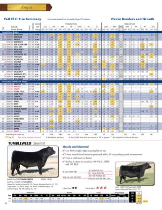 fall 2011 Sire Summary                                                             Go to www.absbeef.com for weekly Angus EPD updates                                                    Curve benders and growth
                                                                      Calving                      Production Traits                                      Maternal Traits



                                                        Certificate
                     Bull Code                                         Ease    CED      BW     WW        YW          RADG YH    SC     CEM     MILK Dtrs   MW            MH HP     DOC
                                                Semen
Page




                     Number  Name                                    Rating EPD ACC EPD ACC EPD ACC EPD ACC EPD ACC EPD ACC EPD ACC EPD ACC EPD ACC     EPD ACC EPD ACC EPD ACC EPD ACC
 Growth-Curve Benders
 11 4 29AN1697 IMPRESSION         $25 $35                             ★★★      +4    .71   +0.4    .90     +68    .85   +133     .78 +.29 .49 +0.4     .78    +.93     .77    +9      .29   +28   .40        34                                                 +6    .59
46 29AN1745 DIMENSION             $20 $35                             ★★       +3    .46   +3.8    .81     +69    .72   +124     .64 +.15 .37 +0.4     .55   +1.90     .68    +6      .16   +35   .22        0                                                 +11    .18
26 4 29AN1677 PROTEGE             $30 $35                             ★★★      +7    .72   +1.0    .91     +67    .87   +117     .82 +.18 .58 +0.1     .85     -.81    .84    +6      .33   +18   .42        27     +46   .37    +0.3     .39   I+3.8    .05    +8    .72
      29AN1569 BANDWIDTH          $18 $35                             ★★        -5   .65   +5.0    .85     +60    .79   +116     .69 +.09 .39 +0.7     .52    +.38     .55    +4      .46   +26   .63        82     +15   .32    +0.1     .32    +6.7    .12    +2    .27
22 4 29AN1679 NEW DESIGN 458N $20 $40                                 ★★★      +7    .80   +2.2    .95     +56    .92   +112     .90 +.18 .61 +0.6     .82    +.96     .88    +7      .63   +35   .75       316     +35   .52    +0.5     .53   +10.1    .52   +21    .74
18 4 29AN1644 EXTRA K205          $20 $35                             ★★★      +7    .84   +2.0    .96     +56    .94   +111     .92 +.10 .59 +0.3     .91   +1.03     .91   +12      .71   +27   .80       483     +17   .64    +0.5     .65   +14.9    .36    +9    .85
    4 29AN1633 SHEAR FORCE        $25 $35                             ★★       +7    .81   +2.6    .93     +52    .90   +108     .87 +.14 .60 +0.5     .86   +1.05     .87    +6      .64   +22   .73       265     +30   .53    +0.7     .54    +8.8    .22   +12    .80
14 29AN1771 IRONSTONE             $30 $40                             ★★       +4    .63   +2.6    .82     +68    .75   +108     .63 +.15     +0.6     .64    +.80     .54    +6      .25   +22   .32        8     I+14   .05   I+0.3     .05                  +12    .20
48 4 29AN1551 DESTINATION 928 $30 $35                                 ★★       +4    .83   +2.9    .95     +58    .93   +107     .91 +.19 .50 +0.6     .91    +.16     .90    +9      .79   +22   .88       1046    +30   .79    +0.7     .79   +12.0    .40   +20    .80
47 4 29AN1589 FORESIGHT           $20 $35                             ★★        -1   .85   +3.9    .97     +61    .96   +106     .94 +.12 .74 +0.3     .94   +1.66     .94    +5      .85   +27   .90       2067    +19   .82    +0.3     .82    +9.5    .57   +20    .89
46 4 29AN1623 ALLIANCE I87        $20 $35                             ★★       +2    .81   +1.8    .95     +63    .93   +106     .90 +.11 .66 +0.3     .89    +.44     .89    +9      .72   +22   .84       712     +40   .59    +0.6     .58    +8.2    .25     -2   .70
    4 29AN1543 STRATEGY           $18 $35                             ★★       +5    .90   +2.4    .96     +59    .94   +104     .92 +.11 .48 +0.6     .90    +.99     .90   +12      .82   +17   .89       1232    +25   .76    +0.5     .76    +9.8    .40   +14    .83
    4 29AN1577 EXTRA H6          $40* $40                             ★★★      +9    .87   +1.6    .95     +53    .93   +103     .91 +.03 .53 +0.2     .90     -.31    .88   +12      .79   +25   .88       1014    +32   .72     -0.1    .72   +15.0    .44    +3    .74
49 106AN1737 COMPLETE            $25* $35                             ★★       +4    .67   +2.9    .85     +56    .85   +101     .81 +.07 .51 +0.3     .86   +1.11     .83   +11      .46   +29   .55        67     +17   .40    +0.2     .42    +9.5    .09   +11    .49
19 4 29AN1556 LEAD ON             $20 $35                             ★★       +3    .93   +2.1    .98     +51    .97    +99     .96 +.07 .70 +0.4     .95    +.72     .95    +6      .90   +29   .94       4996    +18   .89    +0.4     .89    +7.0    .70   +19    .90
 45 29AN1674 EXCELLENCY           $20 $35                             ★★       +1    .66   +1.3    .85     +50    .78    +99     .64 +.18 .46 -0.2     .40     -.81    .67    +5      .36   +20   .41        23     +53   .11    +0.2     .09   I+6.3    .05    +2    .30
    4 29AN1703 RAINMAKER 9723 $20 $35                                 ★★       +5    .64   +3.1    .91     +50    .87    +96     .83 +.18 .47 +0.1     .70    +.41     .81    +8      .38   +19   .51       44                                                 +18    .53
    4 29AN1524 TRAVELER 234D      $20 $40                             ★★       +4    .86   +4.9    .97     +47    .95    +79     .94 +.06 .62 +0.6     .93    +.44     .93    +2      .87   +22   .93       2953 +41      .85 +0.6        .85 +7.5       .45    +9    .76
45 29AN1695 RITO LEGACY           $25 $35                             ★★       +2    .71   +2.1    .85     +32    .84    +63     .79 +.10 .32 -0.6     .81     -.64    .81     -1     .50   +15   .57        91   -16     .59 -1.0        .60 I+5.5      .05    +5    .53
Low Accuracy Growth-Curve Benders
 28 29AN1705 OBJECTIVE 7125 $20 $35                                   ★★★      +9    .60   +2.1    .77     +80    .66   +138     .59 +.14 .40 +0.7     .51    +.23 .48        +9      .21   +31   .24        0     I+71   .05 I+0.7       .05 I+5.6      .05   +22    .45
 14 29AN1798 FINALIST #           $18 $40                                      +6    .30   +2.1    .35     +62    .27   +124     .26                                         +10      .18   +23   .20        0
 15 29AN1807 UPSHOT               $30 $40                                      +6    .34   +1.4    .40     +62    .31   +119     .29 +.09 .27               +.55       .32    +8      .17   +36   .21        0                                                 +9     .20
 26 29AN1714 FUTURE FOCUS         $25 $35                             ★★★     +10    .56   +2.0    .75     +68    .64   +116     .57 +.19 .40 +0.8     .60 +1.97       .58   +12      .20   +28   .24        0     I+33   .05 I+0.4       .05                  +19    .27
      29AN1778 GAME POINT         $18 $35                             ★★       +5    .36   +3.0    .57     +59    .44   +115     .43                        +.40       .43    +9      .15   +27   .19        0
 12 29AN1749 CURRENCY             $20 $35                             ★★       +4    .46   +2.4    .76     +57    .66   +109     .49 +.26 .20               +.67       .44    +7      .19   +22   .22        0                                                  -1    .24
 49 29AN1780 SOLID GOLD           $16 $35                                      +1    .29   +4.2    .38     +56    .29   +107     .28                        +.65       .34    +8      .18   +33   .21        0                                                 I+6    .05
      29AN1617 SANDY             $30* $40                             ★★        -4   .49   +1.8    .79     +65    .70   +104     .63 +.18 .13 +0.5     .44 +.80        .36     -4     .25   +27   .43        42                                   +6.1   .08   +12    .32
 15 29AN1768 BRAVE                $25 $40                                      +1    .34   +3.8    .49     +51    .39   +100     .30 +.10 .19 I+0.6    .05 +1.16       .34    +7      .15   +33   .19        0                                                  -3    .18
 11 29AN1729 MAINLAND             $18 $35                             ★★       +3    .36   +1.1    .51     +61    .41    +99     .41 +.07 .31 +0.1     .36 +.33        .41    +9      .14   +19   .20        0                                                 +16    .32
 6    29AN1786 PREMIUM PRODUCT $20 $40                                         +7    .25   +0.7    .37     +55    .28    +98     .27 I+.07 .05 +0.3    .36 +.73        .33    +9      .08   +19   .12        0                                                 I+5    .05
 10 29AN1760 STIMULUS             $20 $40                             ★★★       -1   .45   +1.6    .76     +56    .66    +97     .56 .66 .32 +0.4      .49 +1.42       .60    +4      .17   +18   .24        0                                  I+7.8    .05   +14    .18
 41 29AN1753 JUPITER              $20 $40                             ★★       +7    .49   +0.5    .75     +55    .65    +92     .57 +.14 .29 -0.4     .48 -.61        .56    +8      .14   +22   .20        0                                                 +4     .19
      29AN1764 PATRIOT            $20 $35                             ★★       +2    .52   +3.0    .65     +56    .55    +91     .48 +.15 .33 +0.5     .50 +.26        .47    +7      .18   +28   .23        1     I+33   .05 I+0.5       .05                  +10    .23
 38 29AN1747 TUMBLEWEED           $20 $35                             ★★       +5    .41   +2.3    .55     +53    .44    +91     .36 +.06 .32 +0.0     .28                    +4      .17   +24   .22        0
 44 29AN1801 PRESIDIO             $20 $35                                      +5    .30   +0.4    .39     +54    .32    +91     .34 +.16 .27 -0.3     .33 +.50        .33    +2      .12   +19   .17        0
 27 29AN1732 SCOTSMAN             $18 $35                             ★★       +4    .42   +1.9    .69     +50    .58    +88     .47 +.04 .26 -0.1     .57 -.94        .51    +7      .14   +14   .21        0     I+57   .05 I+0.5       .05
 45 29AN1725 EMULATE              $20 $35                             ★★       +6    .47   +0.4    .71     +47    .60    +88     .45 +.08 .36 -0.3     .28 -.06        .48    +8      .16   +20   .21        0                                                  -5    .18
 47 29AN1752 EMPIRE               $18 $35                             ★★★      +8    .38   +1.5    .55     +44    .44    +81     .36 +.08 .36               +.21       .35   +10      .20   +28   .24        0     I+32   .05 I+0.5       .05                  I+1    .05
 44 29AN1817 TARGET #             $20 $40                                      +5    .22   +1.8    .35     +43    .25    +72     .18                                          +3      .08   +22   .11        0

        Breed Average for Current Sires                                        +5          +1.8            +45          +82         +.12       +0.4          +.42            +7             +21                    +29           +0.4             +7.9         +8
             Top 25           Red name indicates new bull                            # Availability pending               4 Rock Solid Sires with accuracies of .90 or greater * Not eligible for volume discount


             TUMBLEWEED                                       29AN1747
                                                                                                                 Muscle and Maternal
                                                                                                                 4  owbirthweight,high-scanningRavenson
                                                                                                                   L
                                                                                                                 4 Heavymuscledandattractivepatternedwitha39cmyearlingscrotalmeasurement
                                                                                                                 4 DamisafullsistertoBextor
                                                                                                                 4 Shehas3calvesonrecordat109NR,112IMF
                                                                                                                  and102REA

                                                                                                                                                      B C MARATHON 7022
                                                                                                                 BC 7022 RAVEN 7965
                                                                                                                                                      O C C BLACKBIRD 796F
                                                                                                                                                      B A R EXT TRAVELER 205
                                                                                                                 BAAR USA LADY JAYE 4009
                                                                                                                                                      CRA LADY JAYE 608 498 S EASY
            BAAR USA SMR TUMBLEWEED                                           BORN 1/9/08
            AAA 16172234 TATTOO #8001
            Owned by: Broken Arrow USA, CA; Spruce Mountain Ranch, LLC, CO;
            Craig Angus, CO; Burns Angus, IA; Boruff Creekside Angus, TN;                                                                                                                         Dam - BAAR USA Lady Jaye 4009,
            Sullivan Angus, TN; ABS Global, Inc., WI                                                             Calving Ease:   ★★             Carcass Merit:                                    Spruce Mountain Ranch LLC, CO
                      _______________ Performance ________________ _________________ Maternal ________________ ________ Carcass _________ ____ Groups/Progeny ____
                                                                                                                                                                                                                                $EN       -2.63
                                                                                                                                                      Ultrasound
             Trait     CED   BW    WW      YW RADG YH         SC    CEM MILK Hd/Dts MW         MH    HP   DOC   CW MARB REA          FAT Carcass Steer        Total                                                             $W       +29.01
             EPD        +5    +2.3        +53      +91                +.06   +0.0            +4          +24     0                                     +21      +.47     +.59       +.019    0          0           3            $G      +30.88
             ACC        .41    .55        .44      .36                 .32    .28            .17         .22     0                                     .22       .30      .30        .30     0          0           8            $B      +58.00      Top 25%
       38                                                                                                                                                                                                                                Fall 2011
 