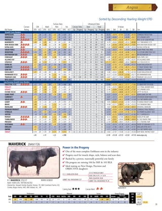 Sorted by Descending Yearling Weight EPD
                                                                Carcass Data                    Ultrasound Data
                                Carcass            CW     Marb     REA       Fat Carcass Data Steer         Total                                                                 $ Values
     Bull Name                  Rating          EPD ACC EPD ACC EPD ACC EPD ACC Gp Progeny Gp Progeny Gp Progeny $EN                                                      $W         $F           $G    $B       Sire
     Growth-Curve Benders
     IMPRESSION                                 +53     .28      +.40      .43 +.63        .40   +.029    .37     0      0     17      58      94       302    -20.20    +28.78   +67.83     +21.44    +65.56    CONNEALY REFLECTION
     DIMENSION                                  +52     .25      +.27      .35 +.51        .36   +.016    .33     0      0      0       0      25       104    -24.08    +26.92   +57.20     +16.95    +58.57    SITZ UPWARD 307R
     PROTEGE                                    +29     .38      +.63      .50 +.65        .47    -.003   .45     0      0     16      23     278       706      -1.48   +35.03   +50.36     +36.74    +73.12    RITO 1I2 OF 2536 RITO 6I6
     BANDWIDTH                                  +40     .34      +.85      .46  -.19       .44   +.031    .44     0      0     14      39      60       127      -6.79   +26.03   +52.22     +20.52    +60.80    S A F 598 BANDO 5175
     NEW DESIGN 458N                            +17     .38      +.88      .52 +.36        .48    -.014   .47     1      1     25      43     387      1575    -15.30    +30.36   +49.56     +41.21    +70.81    BON VIEW NEW DESIGN 1407
     EXTRA K205                                 +20     .58      +.31      .65 +.18        .64    -.014   .63    16     23     46      98     827      2338     +1.63    +39.29   +48.49     +23.99    +55.32    NICHOLS EXTRA H6
     SHEAR FORCE                                +27     .62      +.71      .68  -.07       .67   +.089    .65    16     31     34      79      450     1106      -1.52   +26.57   +46.93     +12.49    +46.86    N BAR PRIME TIME D806
     IRONSTONE                                  +16     .37      +.83      .45 +.88        .44    -.002   .44     0      0      0       0      31        91      -5.41   +33.56   +40.38     +44.86    +71.41    C A FUTURE DIRECTION 5321
     DESTINATION 928                            +60     .66      +.88      .71 +.61        .70   +.031    .69    26     41     19      57     1210     2457     +5.51    +37.10   +43.40     +30.67    +68.70    B/R DESTINATION 727
     FORESIGHT                                  +40     .71      +.54      .75 +.58        .74    -.002   .74    32     67     39      73     2537     6819     +4.85    +41.87   +41.12     +31.53    +68.91    PAPA FORTE 1921
     ALLIANCE I87                               +47     .37      +.29      .51  -.04       .47   +.046    .46     0       0    14      27      515     1552      -1.56   +35.72   +40.32      +3.76    +42.41    SITZ ALLIANCE 6595
     STRATEGY                                   +32     .66      +.53      .70 +.14        .70    -.011   .70    13     35     20      30      812     1601   +11.17     +38.72   +39.85     +28.02    +63.10    S A F FOCUS OF E R
     EXTRA H6                                   +27     .62      +.20      .67  -.05       .66    -.005   .65    16      32     2       3      565     1420     +3.24    +37.43   +41.23     +13.94    +47.01    N BAR EMULATION EXT
     COMPLETE                                   +42     .57      +.62      .63 +1.06       .61    -.003   .59    14      21     0       0      202      609      -6.07   +31.88   +37.94     +38.74    +76.24    C F RIGHT DESIGN 1802
     LEAD ON                                    +14     .65      +.62      .70 +.38        .69    -.090   .68    16      34    15      40     3767     9292     +3.05    +39.17   +37.88     +42.36    +67.04    CONNEALY LEADTIME
     EXCELLENCY                                 +31     .39      +.08      .49  -.06       .47    -.004   .47     0       0    20      30       72      149      -0.46   +26.42   +38.28      +7.59    +41.55    N BAR EMULATION EXT
     RAINMAKER 9723                             +13     .31      +.47      .46 +.42        .44   +.003    .41     2       2    24      60      157      545     +0.27    +22.43   +35.20     +31.83    +55.11    SITZ RAINMAKER 6169
     TRAVELER 234D                              +20     .85      +.28      .86 +.84        .86    -.034   .86    39     339    26      53     1722     3329     +4.67    +24.17   +19.60     +31.42    +56.10    TRAVELER 124 G D A R
     RITO LEGACY                                 -3     .34      +.05      .43  -.08       .46    -.009   .40     3       3     1       1      180      493   +18.60     +25.15   +10.15     +13.64    +16.36    R R RITO 707
    Low Accuracy Growth-Curve Benders
     OBJECTIVE 7125                              +22    .31 +.62           .39    +.75     .39   +.006    .38     0      0      0       0         28    47     -23.86    +33.78   +68.23     +37.77    +75.86    S S OBJECTIVE T510 0T26
     FINALIST                                    +41    .20 +.85           .23    +.69     .25   +.062    .21     0      0      0       0          0      0    -12.56    +24.55   +60.23     +31.28    +73.51    S A V FINAL ANSWER 0035
     UPSHOT                                      +38    .27 +.89           .35    +.71     .31   +.025    .28     0      0      0       0          0      0    -23.46    +28.84   +54.66     +37.87    +77.87    SITZ UPWARD 307R
     FUTURE FOCUS                                +39    .27 +.56           .35    +.58     .37   +.000    .35     0      0      0       0         25     50    -13.73    +33.13   +48.86     +32.10    +71.35    MYTTY IN FOCUS
     GAME POINT                                  +15    .19 +.42           .26    +.59     .29    -.023   .28     0      0      0       0          4     21    -13.37    +24.24   +51.56     +34.01    +62.91    GDAR GAME DAY 449
     CURRENCY                                    +31    .22 +.25           .31    +.05     .33    -.014   .27     0      0      0       0         38    77       -6.81   +25.15   +45.93     +17.71    +53.49    STEVENSON MONEYMAKER R185
     SOLID GOLD                                  +39    .16 +.34           .21    +.12     .22   +.031    .19     0      0      0       0          0      0    -16.61    +22.67   +44.22     +13.90    +51.69    S A V NET WORTH 4200
     SANDY                                       +29    .14 +.50           .26    +.39     .29   +.055    .25     0      0      2       4         30    110      -9.95   +34.22   +37.44     +22.58    +55.93    TE MANIA KNIGHT K206
     BRAVE                                       +48    .17 +.43           .22    +.52     .24   +.070    .20     0      0      0       0          1      1    -14.58    +22.11   +38.91     +15.26    +53.22    S A V MANDAN 5664
     MAINLAND                                    +50    .23 +.66           .32    +.74     .31   +.025    .31     0      0      0       0          5     11      -0.67   +32.85   +33.91     +31.64    +69.03    WOODHILL MAINLINE
     PREMIUM PRODUCT                             +29    .11 +.38           .17    +.47     .19   +.057    .15     0      0      0       0          0      0      -0.54   +29.26   +35.26     +19.66    +52.38    CONNEALY FINAL PRODUCT
     STIMULUS                                    +25    .25 +.60           .36    +.34     .34   +.010    .32     0      0      0       0          7     55     +0.57    +28.86   +33.85     +31.56    +61.90    H A POWER ALLIANCE 1025
     JUPITER                                      +8    .22  -.09          .33    +.60     .33    -.030   .30     0      0      0       0         23     79      -0.74   +32.70   +29.22     +14.17    +31.83    O C C JUPITER 671J
     PATRIOT                                     +20    .33 +1.34          .42    +.52     .39    -.040   .37     0      0      0       0         19    32       -6.12   +30.52   +27.84     +49.23    +75.60    BASIN UP THE LIMIT
     TUMBLEWEED                                  +21    .22 +.47           .30    +.59     .30   +.019    .30     0      0      0       0          3      8      -2.63   +29.01   +29.00     +30.88    +58.00    BC 7022 RAVEN 7965
     PRESIDIO                                    +11    .14 +.09           .24    +.51     .22   +.025    .23     0      0      0       0          0      0     +2.18    +31.58   +28.61     +16.45    +36.59    O C C PAXTON 730P
     SCOTSMAN                                    +17    .20 +.39           .30    +.45     .32   +.059    .29     0      0      0       0         23     58     +7.41    +26.16   +27.18     +22.24    +46.58    FINTRY OF GRAHAM 52170
     EMULATE                                     +40    .21 +.27           .31     -.01    .30   +.041    .30     0      0      0       0         11     23     +2.22    +27.86   +28.33      +6.91    +41.91    SINCLAIR EXTRA 4X13
     EMPIRE                                      +31    .23 +.27           .31    +.17     .29   +.049    .30     0      0      0       0          0      0      -3.11   +28.20   +22.62     +11.36    +42.60    S A V NET WORTH 4200
     TARGET                                     I+19    .05 I-.05          .05   I+.51     .05   I-.013   .05     0      0      0       0          0      0     +4.63    +27.97   +14.48     +12.20    +35.56    DUFF BASIC INSTINCT 6501
                                                +20              +.37             +.22           +.008                                                         +2.49     +25.28 +23.53 +22.62 +47.30 www.angus.org




         MAVERICK                     29AN1726
                                                                                                 Power in the Progeny
                                                                                                 4  neofthemostcompleteEmblazonsonsintheindustry
                                                                                                   O
                                                                                                 4 Progenyexcelformuscleshape,style,balanceandscandata
                                                                                                 4 Backedbyaproven,maternallypowerfulcowfamily
                                                                                                 4 Hisprogenyareratioing104forIMF103REA
                                                                                                 4 IdealmatingonNewDesign,Precisionand
                                                                                                  OBJECTIVEdaughters
                                                                                                                                     D H D TRAVELER 6807
                                                                                                 O C C EMBLAZON 854E
                                                                                                                                     DIXIE ERICA OF C H 1019
                                                                                                                                     PAPA EQUATOR 2928
        B C MAVERICK 2702 ET                                  BORN 4/28/02                       GIBBET HILL MIGNONNE E37
                                                                                                                                     GIBBET HILL MIGNONNE TR 29
        AAA 14391235 TATTOO #2702
        Owned by: Stewart Family Quarter Horses, TX; Mid Continent Farms, KS;
        Conley Angus Farms, MO; ABS Global, Inc., WI                                                                                                                              MAVERICK
                                                                                                 Calving Ease:   ★★★             Carcass Merit:
                 _______________ Performance ________________ _________________ Maternal ________________ ________ Carcass _________ ____ Groups/Progeny ____
                                                                                                                                                                                                       $EN      +6.97
                                                                                                                                                 Ultrasound
         Trait    CED   BW    WW      YW RADG YH         SC    CEM MILK Hd/Dts MW         MH    HP   DOC   CW MARB REA          FAT Carcass Steer        Total                                         $W       +31.89
         EPD       +9    +0.8   +62       +99    +.08     -0.3      -.19         +5       +11     3       +55    +0.4   +5.7   +8      +13    +.20     +.64   -.009       0       0          14         $G      +25.42
         ACC       .54    .76   .67       .59     .42      .50       .44         .27      .34     6       .05     .05    .12   .41     .26     .35      .34    .34        0       0          35         $B      +48.23      Top 25%
                                                                                                                                                                                                                Fall 2011                39
 