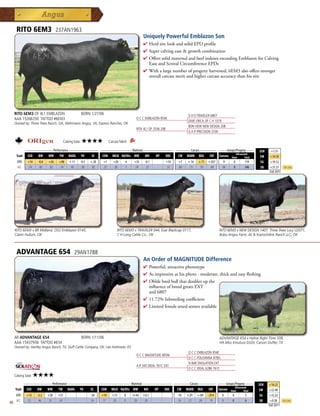 RITO 6EM3                    237AN1963
                                                                                                   Uniquely Powerful Emblazon Son
                                                                                                   4  erdsirelookandsolidEPDprofile
                                                                                                     H
                                                                                                   4 Supercalvingeasegrowthcombination
                                                                                                   4 OfferssolidmaternalandbeefindexesexceedingEmblazonforCalving
                                                                                                    EaseandScrotalCircumferenceEPDs
                                                                                                   4 Withalargenumberofprogenyharvested,6EM3alsooffersstronger
                                                                                                    overallcarcassmeritandhighercarcassaccuracythanhissire




     RITO 6EM3 OF 4L1 EMBLAZON                           BORN 1/27/06                                                             D H D TRAVELER 6807
     AAA 15266350 TATTOO #6EM3                                                                O C C EMBLAZON 854E
                                                                                                                                  DIXIE ERICA OF C H 1019
     Owned by: Three Trees Ranch, GA; Wehrmann Angus, VA; Express Ranches, OK
                                                                                                                                  BON VIEW NEW DESIGN 208
                                                                                              RITA 4L1 OF 2536 208
                                                                                                                                  G A R PRECISION 2536

                                         Calving Ease:   ★★★★              Carcass Merit:
           _______________ Performance ________________ _________________ Maternal ________________ ________ Carcass _________ ____ Groups/Progeny ____
                                                                                                                                                                               $EN    +1.51
                                                                                                                                           Ultrasound
      Trait CED   BW    WW      YW RADG YH         SC    CEM MILK Hd/Dts MW         MH    HP   DOC   CW MARB REA          FAT Carcass Steer        Total                       $W     +34.58
       EPD    +14     -0.8   +56    +98      +.11    -0.5    +.20    +7       +20      6    +35     -0.1             +10   +7    +.16   +.71   +.057      9    0      119       $G    +19.12
       ACC    .74      .85   .82    .74       .45     .58     .82    .27      .30      7    .24      .25             .32   .69    .73    .70    .69       66   0      346       $B    +37.37     Top 25%
                                                                                                                                                                                     Fall 2011




     RITO 6EM3 x BR Midland, OSU Emblazon 0143,                                  RITO 6EM3 x TRAVELER 044, Exar Blackcap 0117,                         RITO 6EM3 x NEW DESIGN 1407, Three Trees Lucy U2071,
     Calvin Hullum, OK                                                           C H Long Cattle Co., OK                                               Bobo Angus Farm, AL  Kiamichilink Ranch LLC, OK



      ADVANTAGE 654                              29AN1788
                                                                                                   An Order of MAGNITUDE Difference
                                                                                                   4 Powerful,attractivephenotype
                                                                                                   4 Asimpressiveashisphoto-moderate,thickandeasyfleshing
                                                                                                   4 Ohldebredbullthatdoublesupthe
                                                                                                    influenceofbreedgreatsEXT
                                                                                                    and6807
                                                                                                   4 11.72%Inbreedingcoefficient
                                                                                                   4 Limitedfemalesexedsemenavailable




     AR ADVANTAGE 654                                    BORN 1/11/06                                                                                  ADVANTAGE 654 x Hyline Right Time 338,
     AAA 15437936 TATTOO #654                                                                                                                          HA Miss Emulous 0320, Carson Duffer, TX
     Owned by: Hartley Angus Ranch, TX; Duff Cattle Company, OK; Lee Holtmeier, KS
                                                                                                                                  O C C EMBLAZON 854E
                                                                                              O C C MAGNITUDE 805M
                                                                                                                                  O C C POLLYANNA 878G
                                                                                                                                  N BAR EMULATION EXT
                                                                                              A R 345 IDEAL 761C EXT
                                                                                                                                  O C C IDEAL 6286 761C
     Calving Ease:   ★★★★
          _______________ Performance ________________ _________________ Maternal ________________ ________ Carcass _________ ____ Groups/Progeny ____
                                                                                                                                                                              $EN    +16.22
                                                                                                                                          Ultrasound
     Trait CED   BW    WW      YW RADG YH         SC    CEM MILK Hd/Dts MW         MH    HP   DOC   CW MARB REA          FAT Carcass Steer        Total                       $W     +22.48
      EPD     +13    -3.2    +28   +57                       -.36   +10      +13      0     I+44   I-0.1                   -10   +.01   +.09   -.014      0    0      5        $G    +15.22
      ACC     .32     .46    .35   .24                        .24   .17      .20      0      .05    .05                    .16    .21    .24    .19       0    0      6        $B    +9.38       Top 25%
40                                                                                                                                                                                   Fall 2011
 