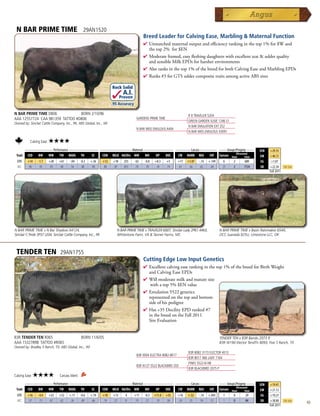 N BAR PRIME TIME                                   29AN1520
                                                                                           Breed Leader for Calving Ease, Marbling  Maternal Function
                                                                                           4 Unmatchedmaternaloutputandefficiencyrankinginthetop1%for$Wand
                                                                                            thetop2%for$EN
                                                                                           4 Moderateframed,easyfleshingdaughterswithexcellentteatudderquality
                                                                                            andsensibleMilkEPDsforharsherenvironments
                                                                                           4 Alsoranksinthetop1%ofthebreedforbothCalvingEaseandMarblingEPDs
                                                                                           4 Ranks#3forGTSuddercompositetraitsamongactiveABSsires

                                                                      Rock Solid
                                                                             A.I.
                                                                            Proven
                                                                      .95 Accuracy

N BAR PRIME TIME D806            BORN 2/10/96                                                                            R R TRAVELER 5204
AAA 12557724 CAA 981359 TATTOO #D806                                                  GARDENS PRIME TIME
                                                                                                                         GREEN GARDEN SUSIE 1246 S1
Owned by: Sinclair Cattle Company, Inc., PA; ABS Global, Inc., WI
                                                                                                                         N BAR EMULATION EXT Z52
                                                                                      N BAR MISS EMULOUS A404
                                                                                                                         N BAR MISS EMULOUS X3091

           Calving Ease:   ★★★★
      _______________ Performance ________________ _________________ Maternal ________________ ________ Carcass _________ ____ Groups/Progeny ____
                                                                                                                                                                        $EN    +29.35
                                                                                                                                      Ultrasound
 Trait CED   BW    WW      YW RADG YH         SC    CEM MILK Hd/Dts MW         MH    HP   DOC   CW MARB REA          FAT Carcass Steer        Total                     $W     +40.72
  EPD    +14     -1.7      +28   +61    -.04      -0.3   +.56   +12   +18     255    -63   -0.8   +8.3     +5      +17   +1.07   -.14   +.149    6      2       689      $G    +1.07
  ACC    .90      .95      .93   .90     .54       .88    .90   .80   .87     853    .70    .70    .34     .74     .61    .66     .65    .64     23     2      1724      $B    +22.34      Top 25%
                                                                                                                                                                               Fall 2011




N BAR PRIME TIME x N Bar Shadow X4124,                                   N BAR PRIME TIME x TRAVELER 6807, Sinclair Lady 2P61 4465,             N BAR PRIME TIME x Basin Rainmaker 654X,
Sinclair C Pride 3P37 J204, Sinclair Cattle Company, Inc., PA            Whitestone Farm, VA  Tanner Farms, MS                                 OCC Juanada 825U, Limestone LLC, OK



 TENDER TEN                      29AN1755
                                                                                           Cutting Edge Low Input Genetics
                                                                                           4 Excellentcalvingeaserankinginthetop1%ofthebreedforBirthWeight
                                                                                            andCalvingEaseEPDs
                                                                                           4 Willmoderatemilkandmaturesize
                                                                                            withatop5%$ENvalue
                                                                                           4 Emulation5522genetics
                                                                                            representedonthetopandbottom
                                                                                            sideofhispedigree
                                                                                           4 Has+35DocilityEPDranked#7
                                                                                            inthebreedontheFall2011
                                                                                            SireEvaluation


B3R TENDER TEN R065                               BORN 11/6/05                                                                                  TENDER TEN x B3R Bando 2073 P,
AAA 15327898 TATTOO #R065                                                                                                                       B3R W190 Elector TendTn 8093, Five S Ranch, TX
Owned by: Bradley 3 Ranch, TX; ABS Global, Inc., WI
                                                                                                                         B3R 8082 3173 ELECTOR 4013
                                                                                      B3R 0004 ELECTRA 8082-8017
                                                                                                                         B3R 8017 466 LADY 7164
                                                                                                                         FINKS 5522-6148
                                                                                      B3R N127 5522 BLACKBIRD 203
                                                                                                                         B3R BLACKBIRD 2075 P
Calving Ease:   ★★★★             Carcass Merit:
      _______________ Performance ________________ _________________ Maternal ________________ ________ Carcass _________ ____ Groups/Progeny ____
                                                                                                                                                                        $EN    +19.41
                                                                                                                                      Ultrasound
 Trait CED   BW    WW      YW RADG YH         SC    CEM MILK Hd/Dts MW         MH    HP   DOC   CW MARB REA          FAT Carcass Steer        Total                     $W     +21.12
  EPD    +16     -4.4      +22   +52    +.11      -0.6   +.19   +10   +13      4     +11   -0.3   +11.0    +35     +16   +.52    -.14   +.043     1     0       29       $G    +19.21
  ACC    .57      .73      .67   .62     .26       .69    .66   .19   .27      8     .19    .21    .19     .58     .24    .35     .34    .31      1     0       84       $B    +38.80      Top 25%
                                                                                                                                                                               Fall 2011
                                                                                                                                                                                                     43
 
