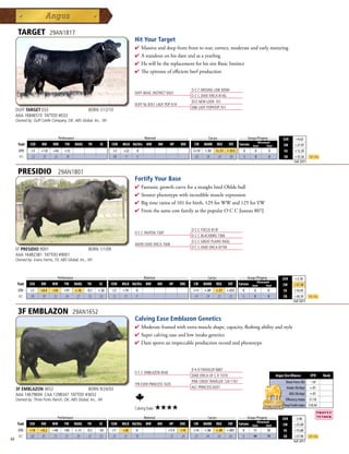 TARGET                 29AN1817
                                                                            Hit Your Target
                                                                            4 Massiveanddeepfromfronttorear,correct,moderateandearlymaturing
                                                                            4 Astandoutonhisdamandasayearling
                                                                            4 HewillbethereplacementforhissireBasicInstinct
                                                                            4 Theepitomeofefficientbeefproduction


                                                                                                              O C C MISSING LINK 830M
                                                                            DUFF BASIC INSTINCT 6501
                                                                                                              O C C DIXIE ERICA 814G
                                                                                                              DCC NEW LOOK 101
                                                                            DUFF NL B351 LADY POP 619
                                                                                                              EB LADY POPATOP 351
     DUFF TARGET 033                              BORN 1/12/10
     AAA 16846510 TATTOO #033
     Owned by: Duff Cattle Company, OK; ABS Global, Inc., WI



              _______________ Performance ________________ _________________ Maternal ________________ ________ Carcass _________ ____ Groups/Progeny ____
                                                                                                                                                                                  $EN      +4.63
                                                                                                                                              Ultrasound
      Trait    CED   BW    WW      YW RADG YH         SC    CEM MILK Hd/Dts MW         MH    HP   DOC   CW MARB REA          FAT Carcass Steer        Total                       $W       +27.97
       EPD      +5    +1.8    +43   +72                         +3    +22    0                                 I+19   I-.05   I+.51   I-.013      0        0           0           $G      +12.20
       ACC      .22    .35    .25   .18                         .08   .11    0                                  .05    .05     .05      .05       0        0           0           $B      +35.56      Top 25%
                                                                                                                                                                                           Fall 2011


      PRESIDIO                  29AN1801
                                                                            Fortify Your Base
                                                                            4  antasticgrowthcurveforastraightbredOhldebull
                                                                              F
                                                                            4 Stouterphenotypewithincrediblemuscleexpression
                                                                            4 Bigtimeratiosof101forbirth,129forWWand125forYW
                                                                            4 FromthesamecowfamilyasthepopularOCCJuneau807J


                                                                                                              O C C FOCUS 813F
                                                                            O C C PAXTON 730P
                                                                                                              O C C BLACKBIRD 736K
                                                                                                              O C C GREAT PLAINS 943G
                                                                            AKERS DIXIE ERICA 7008
                                                                                                              O C C DIXIE ERICA 877M
     EF PRESIDIO 9001                             BORN 1/1/09
     AAA 16482381 TATTOO #9001
     Owned by: Evans Farms, TX; ABS Global, Inc., WI



           _______________ Performance ________________ _________________ Maternal ________________ ________ Carcass _________ ____ Groups/Progeny ____
                                                                                                                                                                                  $EN     +2.18
                                                                                                                                           Ultrasound
      Trait CED   BW    WW      YW RADG YH         SC    CEM MILK Hd/Dts MW         MH    HP   DOC   CW MARB REA          FAT Carcass Steer        Total                          $W      +31.58
      EPD       +5    +0.4   +54    +91   +.16   -0.3   +.50    +2    +19   0                                  +11    +.09    +.51    +.025      0        0           0            $G     +16.45
      ACC       .30    .39   .32    .34    .27    .33    .33    .12   .17   0                                  .14     .24     .22     .23       0        0           0            $B     +36.59       Top 25%
                                                                                                                                                                                          Fall 2011


      3F EMBLAZON                         29AN1652
                                                                            Calving Ease Emblazon Genetics
                                                                            4 Moderateframedwithextramuscleshape,capacity,fleshingabilityandstyle
                                                                            4 Supercalvingeaseandlowintakegenetics
                                                                            4 Damsportsanimpeccableproductionrecordandphenotype




                                                                                                              D H D TRAVELER 6807
                                                                            O C C EMBLAZON 854E
                                                                                                              DIXIE ERICA OF C H 1019                                        Angus Sire Alliance        EPD      Rank
                                                                                                              PINE CREEK TRAVELER 124-1107                                          Shear Force (lb) -.18
                                                                            TFR EVER PRINCESS 1635
                                                                                                              ALC PRINCESS 6037                                                      Intake (lb/day) +.01
     3F EMBLAZON 3652                  BORN 9/24/03
     AAA 14679694 CAA 1298347 TATTOO #3652                                                                                                                                             ADG (lb/day) +.01
     Owned by: Three Forks Ranch, OK; ABS Global, Inc., WI                                                                                                                          Efficiency Index $1.10
                                                                                                                                                                                   Total Profit Index $10.45
                                                                            Calving Ease:   ★★★★
              _______________ Performance ________________ _________________ Maternal ________________ ________ Carcass _________ ____ Groups/Progeny ____
                                                                                                                                                                                  $EN      -2.46
                                                                                                                                                             Ultrasound
      Trait    CED    BW     WW     YW    RADG   YH     SC      CEM   MILK Hd/Dts MW        MH    HP    DOC    CW     MARB    REA      FAT     Carcass   Steer       Total        $W      +25.09
      EPD      +14    +0.2   +40    +85   +.13   -0.2   -.03    +7    +26   8                    +5.9   +14    +14    +.06    +.44    +.007      0        15          30           $G     +15.68
      ACC      .60     .81   .73    .57    .39    .27    .53    .25   .31   10                    .12   .24    .33     .44     .42     .42       0        49          74           $B     +37.90       Top 25%
44                                                                                                                                                                                        Fall 2011
 