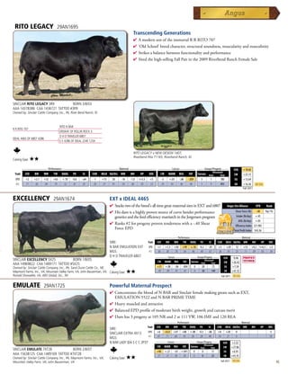 RITO LEGACY                     29AN1695
                                                                                            Transcending Generations
                                                                                            4 AmodernsonoftheimmortalRRRITO707
                                                                                            4 'OldSchool'breedcharacter,structuralsoundness,muscularityandmasculinity
                                                                                            4 Strikesabalancebetweenfunctionalityandperformance
                                                                                            4 Siredthehigh-sellingFallPairinthe2009RiverbendRanchFemaleSale




SINCLAIR RITO LEGACY 3R9          BORN 3/8/03
AAA 14378386 CAA 1436721 TATTOO #3R9
Owned by: Sinclair Cattle Company, Inc., PA; River Bend Ranch, ID



                                     RITO N BAR
R R RITO 707
                                     ERISKAY OF ROLLIN ROCK 3
                                     D H D TRAVELER 6807
IDEAL 4465 OF 6807 4286
                                     E E 4286 OF IDEAL 2240 1254


                                                                                            RITO LEGACY x NEW DESIGN 1407,
                                                                                            Riverbend Rita T1165, Riverbend Ranch, ID
Calving Ease:    ★★
         _______________ Performance ________________ _________________ Maternal ________________ ________ Carcass _________ ____ Groups/Progeny ____
                                                                                                                                                                                                            $EN       +18.60
                                                                                                                                                                                  Ultrasound
 Trait    CED     BW    WW     YW     RADG     YH     SC     CEM    MILK Hd/Dts MW        MH      HP      DOC           CW       MARB        REA       FAT         Carcass    Steer       Total             $W        +25.15
  EPD      +2    +2.1   +32    +63     +.10   -0.6   -.64      -1   +15     30     -16    -1.0   I+5.5     +5             -3      +.05       -.08      -.009         3          1          180               $G       +13.64
  ACC      .71    .85   .84    .79      .32    .81    .81     .50   .57     91     .59     .60    .05      .53           .34       .43        .46       .40          3          1          493               $B       +16.36      Top 25%
                                                                                                                                                                                                                      Fall 2011


EXCELLENCY                     29AN1674                                   EXT x IDEAL 4465
                                                                          4 Stackstwoofthebreed'salltimegreatmaternalsiresinEXTand6807                                                   Angus Sire Alliance           EPD        Rank
                                                                          4 Hisdamisahighlyprovensourceofcurvebenderperformance                                                                   Shear Force (lb) -.40            Top 1%
                                                                           geneticsandthefeedefficiencymatriarchintheJorgensenprogram                                                                Intake (lb/day) +.45
                                                                                                                                                                                                                 ADG (lb/day) +.05
                                                                          4 Ranks#2forprogenyproventendernesswitha-.40Shear                                                                        Efficiency Index $(1.90)
                                                                           ForceEPD                                                                                                                        Total Profit Index $43.36
                                                                                                                 _______________ Performance ________________ _________________ Maternal ________________
                                                                          SIRE:                          Trait    CED           BW    WW        YW       RADG        YH        SC        CEM       MILK Hd/Dts MW              MH         HP     DOC
                                                                          N BAR EMULATION EXT             EPD      +1          +1.3   +50      +99       +.18       -0.2      -.81       +5        +20         12     +53      +0.2 I+6.3         +2
                                                                          MGS:                            ACC      .66          .85   .78      .64        .46        .40       .67       .36       .41         23     .11       .09  .05          .30
                                                                          D H D TRAVELER 6807                    ________ Carcass _________ ____ Groups/Progeny ____
                                                                                                                                                                                                 $EN        -0.46
SINCLAIR EXCELLENCY 5X25          BORN 1/8/05                                                                     CW MARB REA          FAT Carcass Steer
                                                                                                                                                        Ultrasound
                                                                                                                                                                Total                            $W        +26.42
AAA 14969822 CAA 1489171 TATTOO #5X25
Owned by: Sinclair Cattle Company, Inc., PA; Sand Dune Cattle Co., NE;                                            +31          +.08   -.06     -.004           0      20         72               $G       +7.59
Maymont Farms, Inc., VA; Mountain Valley Farm, VA; John Bauserman, VA; Calving Ease:      ★★                      .39           .49    .47      .47            0      30         149              $B       +41.55
Ronald Showalter, VA; ABS Global, Inc., WI                                                                                                                                                     Fall 2011    Top 25%



EMULATE                 29AN1725                                          Powerful Maternal Prospect
                                                                          4 ConcentratesthebloodofNBARandSinclairfemalemakinggreatssuchasEXT,
                                                                           EMULATION5522andNBARPRIMETIME
                                                                          4 Heavymuscledandattractive
                                                                          4 BalancedEPDprofileofmoderatebirthweight,growthandcarcassmerit
                                                                          4 Damhas3progenyat105NRand2at111YW,106IMFand120REA
                                                                                                                 _______________ Performance ________________ _________________ Maternal ________________
                                                                                                         Trait    CED   BW    WW      YW RADG YH         SC    CEM MILK Hd/Dts MW         MH    HP   DOC
                                                                          SIRE:
                                                                          SINCLAIR EXTRA 4X13       EPD           +6           +0.4   +47      +88      +.08        -0.3     -.06        +8        +20         0                                  -5
                                                                                                    ACC           .47           .71   .60      .45       .36         .28      .48        .16       .21         0                                 .18
                                                                          MGS:
                                                                          N BAR LADY IDA S C C 2P37              ________ Carcass _________ ____ Groups/Progeny ____
                                                                                                                                                                                                $EN        +2.22
                                                                                                                                                                         Ultrasound
                                                                                                                  CW           MARB   REA       FAT      Carcass     Steer       Total          $W         +27.86
SINCLAIR EMULATE 7XT28            BORN 2/8/07
                                                                                                                  +40          +.27   -.01 +.041               0      0             11           $G        +6.91
AAA 15638125 CAA 1489169 TATTOO #7XT28                                                                            .21           .31    .30  .30                0      0             23           $B        +41.91
Owned by: Sinclair Cattle Company, Inc., PA; Maymont Farms, Inc., VA;     Calving Ease:   ★★
Mountain Valley Farm, VA; John Bauserman, VA                                                                                                                                               Fall 2011        Top 25%
                                                                                                                                                                                                                                                        45
 