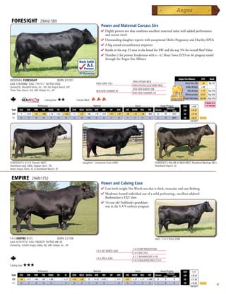 FORESIGHT                    29AN1589
                                                                                           Power and Maternal Carcass Sire
                                                                                           4 Highlyprovensirethatcombinesexcellentmaternalvaluewithaddedperformance
                                                                                            andcarcassmerit
                                                                                           4 OutstandingdaughterreportswithexceptionalHeiferPregnancyandDocilityEPDs
                                                                                           4 Abigscrotalcircumferenceimprover
                                                                                           4 Ranksinthetop25siresinthebreedfor$Wandthetop3%foroverallBeefValue
                                                                                           4 Number1forprovenTendernesswitha-.42ShearForceEPDon46progenytested
                                                                                            throughtheAngusSireAlliance
                                                                    Rock Solid
                                                                            A.I.
                                                                           Proven
                                                                    .97 Accuracy
                                                                                                                                                                    Angus Sire Alliance       EPD      Rank
WOODHILL FORESIGHT                BORN 3/12/01                                                                         PAPA OPTIMA 9818
AAA 13936986 CAA 1191517 TATTOO #54L                                                 PAPA FORTE 1921                                                                       Shear Force (lb) -.42     Top 1%
                                                                                                                       PAPA ENVIOUS BLACKBIRD 8832
Owned by: Woodhill Farms, Inc., WI; Sitz Angus Ranch, MT;                                                                                                                   Intake (lb/day) +.40
Three Trees Ranch, GA; ABS Global, Inc., WI                                                                            BON VIEW BANDO 598
                                                                                     BON VIEW GAMMER 85                                                                       ADG (lb/day) +.10 Top 15%
                                                                                                                       BON VIEW GAMMER 233
                                                                                                                                                                           Efficiency Index $5.43 Top 25%
                                                                                                                                                                          Total Profit Index $65.48 Top 15%
                                 Calving Ease:   ★★               Carcass Merit:
      _______________ Performance ________________ _________________ Maternal ________________ ________ Carcass _________ ____ Groups/Progeny ____
                                                                                                                                                                         $EN     +4.85
                                                                                                                                      Ultrasound
 Trait CED   BW    WW      YW RADG YH         SC    CEM MILK Hd/Dts MW         MH    HP   DOC   CW MARB REA          FAT Carcass Steer        Total                      $W      +41.87
  EPD      -1   +3.9    +61   +106   +.12    +0.3   +1.66   +5       +27     596    +19    +0.3    +9.5   +20    +40   +.54   +.58   -.002     32     39     2537         $G     +31.53
  ACC     .85    .97    .96    .94    .74     .94    .94    .85      .90     2067   .82     .82     .57   .89    .71    .75    .74    .74      67     73     6819         $B     +68.91      Top 25%
                                                                                                                                                                                 Fall 2011




FORESIGHT x D H D Traveler 6807,                                        Daughter - Limestone Erica U090                                      FORESIGHT x Rito 6I6 of 4B20 6807, Riverbend Blackcap S821,
Riverbend Lady S806, Raybar Farm, TN;                                                                                                        Riverbend Ranch, ID
Bobo Angus Farm, AL  Riverbend Ranch, ID


 EMPIRE                29AN1752
                                                                                           Power and Calving Ease
                                                                                           4  owbirthweightNetWorthsonthatisthick,muscularandeasyfleshing
                                                                                             L
                                                                                           4 Moderateframedindividualoutofasolidperforming,excellentuddered
                                                                                            BushwackerxEXTdam
                                                                                           4 14yearoldPathfindergranddam
                                                                                            wasintheSAVembryoprogram




S A V EMPIRE 8135                 BORN 2/27/08                                                                                               Dam - S A V Erica 3294
AAA 16107773 CAA 1582670 TATTOO #8135
Owned by: Schaffs Angus Valley, ND; ABS Global, Inc., WI
                                                                                                                       S A V 8180 TRAVELER 004
                                                                                     S A V NET WORTH 4200
                                                                                                                       S A V MAY 2410
                                                                                                                       B C C BUSHWACKER 41-93
                                                                                     S A V ERICA 3294
                                                                                                                       S A V EMULATION ERICA 5114
Calving Ease:   ★★★
      _______________ Performance ________________ _________________ Maternal ________________ ________ Carcass _________ ____ Groups/Progeny ____
                                                                                                                                                                         $EN      -3.11
                                                                                                                                      Ultrasound
 Trait CED   BW    WW      YW RADG YH         SC    CEM MILK Hd/Dts MW         MH    HP   DOC   CW MARB REA          FAT Carcass Steer        Total                      $W      +28.20
  EPD     +8    +1.5    +44   +81    +.08           +.21    +10      +28      0     I+32   I+0.5          I+1    +31   +.27   +.17   +.049     0      0       0           $G     +11.36
  ACC     .38    .55    .44   .36     .36            .35    .20      .24      0      .05    .05            .05   .23    .31    .29    .30      0      0       0           $B     +42.60      Top 25%
                                                                                                                                                                                 Fall 2011
                                                                                                                                                                                                              47
 