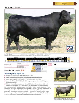 IN FOCUS                    29AN1640




                                                                                                                                                                                         Rock Solid
                                                                                                                                                                                                      A.I.
                                                                                                                                                                                               Proven
                                                                                                                                                                                         .99 Accuracy

MYTTY IN FOCUS                                   BORN 2/18/01           AAA 13880818          CAA 1251205              TATTOO #109
Owned by: Mytty Angus Ranch, MT; Black Pine Farm, MT; Shipwheel Cattle Co., Klint  Lori Swanson, MT; ABS Global, Inc., WI

          _______________ Performance ________________ _________________ Maternal ________________ ________ Carcass _________ ____ Groups/Progeny ____
                                                                                                                                                                                   $EN    +3.64
                                                                                                                                                                   Ultrasound
  Trait    CED    BW     WW     YW     RADG      YH      SC      CEM   MILK Hd/Dts MW       MH       HP      DOC      CW     MARB   REA     FAT      Carcass   Steer       Total   $W     +41.49
  EPD      +14    -1.4   +54    +99     +.11     -0.1   +1.74    +13   +25   1525   +34     +0.3    +4.1     +22      +23    +.64   -.06   +.015      49        45        6716      $G    +26.32
  ACC      .97     .99   .98    .97      .81      .97    .97     .91   .94   6310   .90      .90     .67     .94      .76     .79    .78    .78       106       91        20577     $B    +56.38      Top 25%
                                                                                                                                                                                          Fall 2011
                                      S A F FAME
S A F FOCUS OF E R                                                                  Angus Sire Alliance      EPD      Rank
                                      G D A R FOREVER LADY 246
                                                                                           Shear Force (lb) -.11
                                      SITZ ALLIANCE 6595
MYTTY COUNTESS 906                                                                          Intake (lb/day) +.07
                                      BALDRIDGE COUNTESS 357
                                                                                              ADG (lb/day) +.03
                                                                                           Efficiency Index $2.55
Calving Ease:   ★★★★            Carcass Merit:
                                                                                          Total Profit Index $52.05


The Industry's Most Popular Sire
4  umber1forregistrationsin2008,2009andagainin2010
  N
4 Progenycontinuetobuildoutstandingcustomersatisfactionandrepeatbusiness
4 Amongtheverytopbullsinthebreedfor$Wandmemberofthe40/40club
4 Among+40$Wbulls,INFOCUSranks#1fordaughtersreportedwithover6,000daughters
                                                                                                                                                  IN FOCUS x EXT, Riverbend Rita T556, Riverbend Ranch, ID
 currentlyinproduction
4 Calvesarewidebased,squareandcorrectwithaddedthickness-Ranksinthetop10forboth
 Muscle(+1.2)andCapacity(+2.2)onthelatestGTSEvaluationwith201progenyevaluated
INFOCUScontinuestobetheheaviestusedsireintheindustry.Veryfewbullscanstandthetestoftime
maintainingahighaccuracybirthtoyearlingspread.INFOCUShasdoneitwithnearly40,000progenyon
recordsiringmoderateframedcalveswithaddedmuscleandapleasing,easyfleshingphenotype.
HisdaughtersarenowmakingtheirmarkmovingINFOCUSintothetop20bullsinthebreedfor$W.
Unfortunately,ageiscatchingupwithhispreviouslyunmatchedsemenproductionability.Lookforhisson,
SPECIALFOCUStofillinseemlesslyasareliableandeconomicalcalvingeasechoice.


                                                                                                                                                  IN FOCUS x Boyd On Target 1083, Exar Lady 1497,
                                                                                                                                                  Express Angus Ranches, OK  Allison Family Rev Trust, OK      3
 