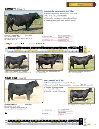 COMPLETE                     106AN1737
                                                                                          Complete Performance and Beef Value
                                                                                          4  xceptionalphenotype,performanceandcarcassmerit
                                                                                            E
                                                                                          4 Top25$Bandtop10forREAEPD
                                                                                          4 Outstandingyearlinggrowthandscrotalcircumference
                                                                                          4 Progenyaresupersound,correctandheavymuscled




SUMMITCREST COMPLETE 1P55                     BORN 1/26/04                                                            BON VIEW NEW DESIGN 1407
AAA 14850409 TATTOO #1P55                                                             C F RIGHT DESIGN 1802
                                                                                                                      VISION HF BLACKCAP 0015
Owned by: Summitcrest Farms, OH; Sand Dune Cattle Co., NE;
Wm. Zutavern Cattle Co., NE                                                                                           VERMILION DATELINE 7078
                                                                                      SUMMITCREST ELBA 1M17
                                                                                                                      SUMMITCREST ELBA 1F43

                        Calving Ease:   ★★              Carcass Merit:
      _______________ Performance ________________ _________________ Maternal ________________ ________ Carcass _________ ____ Groups/Progeny ____
                                                                                                                                                                      $EN     -6.07
                                                                                                                                      Ultrasound
 Trait CED   BW    WW      YW RADG YH         SC    CEM MILK Hd/Dts MW         MH    HP   DOC   CW MARB REA          FAT Carcass Steer        Total                   $W     +31.88
  EPD      +4    +2.9   +56    +101 +1.07    +0.3    +1.11    +11        +29   8    +17    +0.2   +9.5   +11    +42   +.62   +1.06   -.003      14    0      202       $G    +38.74
  ACC      .67    .85   .85     .81  .51      .86     .83     .46        .55   67   .40     .42    .09   .49    .57    .63    .61     .59       21    0      609       $B    +76.24      Top 25%
                                                                                                                                                                             Fall 2011




COMPLETE x FHCC Hard Rock, FHCC Completion,                                COMPLETE x PRIME STAR, Monarch PrimRose X042,                     COMPLETE x TRAVELER 044, Exar Blackcap 5879,
Frank-Hazelrigg Cattle Co., LLC MO  Woodhill Farms, WI                    Lone Oaks Farm, TN                                                Express Angus Ranches, OK



 SOLID GOLD                     29AN1780
                                                                                          Fault Free Net Worth Son
                                                                                          4  xceptionallength,thicknessandmusclewithstyle
                                                                                            E
                                                                                          4 Outcrossbottomsideofpedigreemakeshimaveryuniqueandflexiblematingsire
                                                                                          4 Excellentperformancepackage
                                                                                           withtremendousbalance
                                                                                          4 Damhas3calvesat109weaning




S A V SOLID GOLD 9187                         BORN 3/8/09                                                                                    Dam - A C Duke Girl 57, Schaffs Angus Valley, ND
AAA 16396545 TATTOO #9187
Owned by: Schaffs Angus Valley, ND; Jeff Penz, OK;
Kelly  Laura Albrecht, OK; ABS Global, Inc., WI                                                                      S A V 8180 TRAVELER 004
                                                                                      S A V NET WORTH 4200
                                                                                                                      S A V MAY 2410
                                                                                                                      CAR TRACKER 305
                                                                                      A C DUKE GIRL 57
                                                                                                                      A C DUKE GIRL 618


         _______________ Performance ________________ _________________ Maternal ________________ ________ Carcass _________ ____ Groups/Progeny ____
                                                                                                                                                                      $EN    -16.61
                                                                                                                                         Ultrasound
 Trait    CED   BW    WW      YW RADG YH         SC    CEM MILK Hd/Dts MW         MH    HP   DOC   CW MARB REA          FAT Carcass Steer        Total                $W     +22.67
  EPD      +1    +4.2   +56    +107                  +.65     +8         +33   0                         I+6    +39   +.34   +.12    +.031      0     0       0        $G    +13.90
  ACC      .29    .38   .29     .28                   .34     .18        .21   0                          .05   .16    .21    .22     .19       0     0       0        $B    +51.69      Top 25%
                                                                                                                                                                             Fall 2011
                                                                                                                                                                                                   49
 