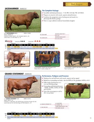JACKHAMMER                              29AR0232
                                                                                              The Complete Package
                                                                                              4 Incredibleindividualperformance-71lb.BW,1434Adj.YW,16.99REA
                                                                                              4 Progenyareattractivewithmuscle,capacityandperformance
                                                                                              4 Combinestheantagonistictraitsofcalvingeaseandmuscleina
                                                                                               phenotypicallyflawlesspackage
                                                                                              4 Damisasuperuddered,moderateframedJuliandaughter




HXC JACKHAMMER 8800U                                BORN 1/16/08                                                           BECKTON LANCER F442 T
RAAA 1269438 1A                                                                         HXC HEMI 4400P
                                                                                                                           HXC 701G
Owned by: Hueftle Cattle Co., NE; Schroeder Cattle Co., SD;
LeDoux Ranch, KS; ABS Global, Inc., WI                                                                                     BECKTON JULIAN GG B571
                                                                                        HXC JOLENE 301N
                                                                                                                           HXC JAYLO LB136

                             Calving Ease:   ★★★            Carcass Merit:
      _______ Performance _______ ______________ Maternal _____________ ___________ Carcass ____________
 Trait CED    BW      WW     YW    MILK TM     ME     HPG CEM STAY MARB YG            CW      REA   FAT
  EPD      +9        +0.0   +58    +91       +4     +33   +4     +9      +7     +14    +.66    +.11   +54   +.19    +.04
  ACC      .33        .66   .58    .55       .29          .13     p      .28     p      .37     .35   .45    .35     .47   Top 25%
         Fall 2011




JACKHAMMER                                                                   JACKHAMMER x Meado-West Remington 517R,                          JACKHAMMER x GRAVITY, AHL Prime Time 906W,
                                                                             Meado-West TC Jackie, Ty Bayer, WI                               Poker City Ranch, KS



 GRAND STATEMENT                                     29AR0245
                                                                                              Performance, Pedigree and Presence
                                                                                              4  oderatefiveandhalfframewithmuscle,capacityandeyeappeal
                                                                                                M
                                                                                              4 Backedbyanoutstandingcowfamily-damhasMPPAof104,granddam'sMPPAis102.5
                                                                                              4 Offersloadsofperformanceina
                                                                                               veryeasyfleshingpackage
                                                                                              4 Outstandingindividualperformance
                                                                                               -98BR,110WR,118YR,107IMF
                                                                                               and104REA
                                                                                              4 Oneofthetopprospectstosellin
                                                                                               2011ofanybreed



C-T GRAND STATEMENT 1025                            BORN 1/27/10                                                                              Dam - C-T Miss Pan 0760
RAAA 1365711 1A
Owned by: C-T Red Angus, MT; Gill Red Angus, ND; Bryan  Kristen Gill, ND;
Larry  Janet Gill, SD; Lucht Red Angus, MT; ABS Global, Inc., WI                                                          LJC LANCER 806
                                                                                        LJC MISSION STATEMENT P27
                                                                                                                           LJC HANNAH 106
                                                                                                                           LCHMN GRANDCANYON 1244G
                                                                                        C-T MISS PAN 0760
                                                                                                                           CTDB HOBOS GAL 803


         _______ Performance _______ ______________ Maternal _____________ ___________ Carcass ____________
 Trait     CED       BW     WW     YW        MILK   TM    ME    HPG     CEM     STAY   MARB     YG    CW    REA     FAT
  EPD       -1       +0.7   +49   +101       +19    +43   +6    +15      +2     +9     +.28    +.03   +62   +.37    +.02
  ACC      .21        .24   .29    .30       .23           p    .10      .20     p      .28     .26   .24    .27     .38   Top 25%
         Fall 2011
                                                                                                                                                                                           53
 