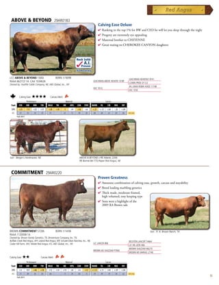 ABOVE  BEYOND                                    29AR0183
                                                                                                 Calving Ease Deluxe
                                                                                                 4  ankinginthetop1%forBWandCEDhewillletyousleepthroughthenight
                                                                                                   R
                                                                                                 4 Progenyareextremelyeyeappealing
                                                                                                 4 MaternalbrothertoCHEYENNE
                                                                                                 4 Great mating on CHEROKEE CANYON daughters



                                                                         Rock Solid
                                                                                 A.I.
                                                                                Proven
                                                                         .93 Accuracy

LCC ABOVE  BEYOND 1300J                           BORN 1/18/99                                                              LEACHMAN HEAVENLY 8141
RAAA 662722 1A CAA 1034626                                                                LEACHMAN ABOVE HEAVEN 1018F
                                                                                                                             LCHMN PRIDE D1122
Owned by: Hueftle Cattle Company, NE; ABS Global, Inc., WI
                                                                                                                             JHL LMAN ROBIN HOOD 1174B
                                                                                          HXC 701G
                                                                                                                             HXC 555E

           Calving Ease:    ★★★★            Carcass Merit:
      _______ Performance _______ ______________ Maternal _____________ ___________ Carcass ____________
 Trait CED    BW      WW     YW    MILK TM     ME     HPG CEM STAY MARB YG            CW      REA   FAT
  EPD      +23       -7.4   +22   +57     +28      +39        -1   +9     +16     +6     +.22     +.12   +24   -.25   +.04
  ACC      .91        .93   .93   .92     .91                .61   .72    .90     .50     .84      .60   .61    .83    .86   Top 25%
         Fall 2011




Son - Berger's Herdmaster, NE                                              ABOVE  BEYOND x PIE Atlantic 2204,
                                                                           PIE Bonnie Bel 773,Pieper Red Angus, NE



 COMMITMENT                             29AR0220
                                                                                                 Proven Greatness
                                                                                                 4 Awesomecombinationofcalvingease,growth,carcassandstayability
                                                                                                 4 Breedleadingmarblinggenetics
                                                                                                 4 Thickmade,moderateframed,
                                                                                                  highvolumed,easykeepingtype
                                                                                                 4 Sonswereahighlightofthe
                                                                                                  2009RABrownsale




BROWN COMMITMENT S7206                             BORN 1/14/06                                                                                 Son - R. A. Brown Ranch, TX
RAAA 1120008 1A
Owned by: Brown Family Genetics, TX; Broventure Company, Inc, TX;
Buffalo Creek Red Angus, WY; Leland Red Angus, MT; Schuler-Olsen Ranches, Inc., NE;                                          BECKTON LANCER T A664
Cedar Hill Farm, WV; Wedel Red Angus, KS; ABS Global, Inc., WI                            LJC LANCER 806
                                                                                                                             LJC HB LIZZIE 606
                                                                                                                             BROWN SHAZZAM M6270
                                                                                          BROWN MS SHAZZAM P7940
                                                                                                                             BROWN MS MARIAS L7740
Calving Ease:    ★★               Carcass Merit:
         _______ Performance _______ ______________ Maternal _____________ ___________ Carcass ____________
 Trait     CED       BW     WW    YW     MILK       TM       ME    HPG    CEM     STAY   MARB      YG    CW    REA    FAT
  EPD      +3        -0.9   +46   +78     +12      +35   +15       +8     +4      +12    +1.15    +.11   +45   +.01   +.04
  ACC      .71        .89   .85   .85     .60            .13       .34    .60     .15     .59      .49   .59    .56    .62   Top 25%
         Fall 2011
                                                                                                                                                                                   55
 