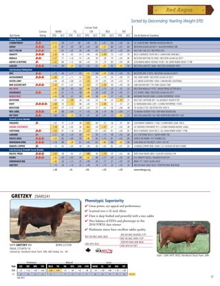 Sorted by Descending Yearling Weight EPD
                                                                                        Carcass Traits
                                   Carcass           MARB                   YG              CW                  REA                 FAT
Bull Name                          Rating          EPD ACC          EPD          ACC    EPD ACC           EPD      ACC       EPD           ACC    Sire  Maternal Grandsire
Calving Ease
COMMITMENT                                     +1.15         .59    +.11         .49     +45      .59     +.01      .56      +.04          .62    LJC LANCER 806 / BROWN SHAZZAM M6270
JUDGE                                              +.32      .81     -.05         .59    +43       .60    +.27      .80      +.01          .83    BECKTON JULIAN GG B571 / GLACIER MARIAS 548
OLE'S OSCAR                                        +.32      .81    +.03          .59    +36       .61    +.12      .81      +.03          .84    MLK CRK CUB 722 / RED PRICE 631
GRAVITY                                            +.26      .76     -.02         .57    +40       .60    +.49      .75      +.05          .79    BFCK CHEROKEE CNYN 4912 / LMAN KING ROB 8621
NEBULA                                             +.27      .77    +.16          .57    +26       .59     -.28     .75      +.05          .80    BECKTON NEPTUNE R2 K065 / BECKTON JULIAN GG B571
ABOVE  BEYOND                                     +.22      .84    +.12          .60    +24       .61     -.25     .83      +.04          .86    LEACHMAN ABOVE HEAVEN 1018F / JHL LMAN ROBIN HOOD 1174B
LANCER                                             +.16      .93    -.27          .62    +33       .61    +.65      .92          -.02      .93    BECKTON LANCER T A664 / BECKTON DOMINOR 9455
Low Accuracy Calving Ease
EPIC                                               +.13      .45    +.11          .42    +55       .54    +.30      .44      +.05          .53    BECKTON EPIC K F075 / BECKTON JULIAN GG B571
JACKHAMMER                                         +.66      .37    +.11          .35    +54       .45    +.19      .35      +.04          .47    HXC HEMI 4400P / BECKTON JULIAN GG B571
OUTER LIMIT                                        +.04      .30    +.08          .32    +50       .47    +.04      .29      +.02          .41    LCC ABOVE  BEYOND 1300J / LARSON RED LIGHTNING
BHR GOLDEN BOY                                     +.24      .51    +.07          .45    +52       .57    +.30      .49      +.04          .59    LMB GOLDEN BOY 719 / BHR LOGAN 734B
BIG IRON                                           +.45      .26     -.02         .24    +48       .25    +.15      .25       -.01         .35    BECKTON NEBULA P P707 / BASIN TREND SETTER 6074
ASSURANCE                                          +.30      .41    +.15          .38    +46       .49    +.02      .39      +.05          .51    LCC MARIO 1889J / BECKTON JULIAN GG B571
BOXED BEEF                                         +.34      .28     -.01         .26    +46       .26    +.34      .27      +.03          .36    MESSMER PACKER S008 / LCHMN ENTERPRISE 1370H
KEYSTONE                                           +.02      .27     -.09         .26    +43       .32     -.18     .25       -.07         .37    MLK CRK CAPSTONE 901 / 4L ADVANCE VISION R15P
ENVY                                               +.68      .55     -.12         .46    +43       .57    +.40      .52       -.01         .57    5L NORSEMAN KING 2291 / LCHMN ENTERPRISE 1370H
REDSTONE                                           +.35      .27    +.13          .26    +35       .27     -.02     .26      +.06          .38    TR JULIAN LT142 / BECKTON EPIC R397 K
RED LABEL                                          +.36      .08    +.04          .11    +35       .28    +.19      .06      +.04          .11    TE MANIA VICEROY V342 / B/R NEW DESIGN 036
FAT TONY                                           -.06      .16    -.13          .19    +27       .39    +.07      .15          -.03      .21    RED SVR GANGSTER 14S / RED NORTHLINE ROB ROY 122K
Growth-Curve Bender
VAQUERO                                            +.05      .77    +.24          .58    +62       .60     -.52     .76          -.01      .80    LEACHMAN COWBOSS 1129G / LCHMN WIDE LOAD 1061C
GRAND STATEMENT                                    +.28      .28    +.03          .26    +62       .24    +.37      .27      +.02          .38    LJC MISSION STATEMENT P27 / LCHMN GRANDCANYON 1244G
CHEYENNE                                           +.53      .91    +.18          .61    +57       .61    +.00      .91      +.04          .92    BFCK CHEROKEE CNYN 4912 / JHL LMAN ROBIN HOOD 1174B
LARAMIE                                            +.21      .60    +.20          .50    +55       .59     -.15     .58      +.03          .66    LCC CHEYENNE B221L / BASIN HOBO 79E
SHOCO DATA                                         +.23      .82    +.06          .59    +46       .60    +.10      .81      +.02          .84    SHOCO SIR ROBIN / FCC RAMBO 502
NORSEMAN KING                                      +.19      .89     -.29         .61    +42       .61    +.80      .88       -.02         .90    VGW KING OF THE WEST / 376 P J M 141
DAKOTA COPPER                                      -.14      .82    +.00          .59    +38       .60    +.05      .82      +.01          .85    LCHMAN COPPER ROB 1204D / LCC HEAVEN OR BUST1000B
Low Accuracy Growth-Curve Bender
PACIFIC PRIDE                                      +.43      .38     -.02         .37    +86       .56    +.79      .35      +.02          .48    ROYS HIGH NOON 3805 / GLACIER CHATEAU 744
PEDRO                                              +.30      .45    +.05          .39    +50       .46    +.17      .43      +.02          .50    LCC GRAVITY B252L / HOLDEN HI HO 574
GRIDMAKER 806                                      +.26      .24    +.11          .25    +39       .34     -.17     .21      +.02          .35    BRMJ 171 / HOLY GLOW LOGO
GRETZKY                                             -.14     .26    +.10          .23    +40       .19    +.10      .25      +.05          .34    RED SIX MILE SAKIC 832S / FORSTER KING ROB 9028
                                                   +.08             -.02                +36               +.05               +.00                 www.redangus.org




  GRETZKY                    29AR0241
                                                                                        Phenotypic Superiority
                                                                                        4  reatpower,eyeappealandperformance
                                                                                          G
                                                                                        4 Scannedovera16inchribeye
                                                                                        4 Damisdeepbodiedandpowerfulwithaniceudder
                                                                                        4 NicebalanceofEPDsandphenotypeinthis
                                                                                         2010NWSSclasswinner
                                                                                        4 Flushmatesistershaveexcellentudderquality
                                                                                                                                   RED SIX MILE AVIATOR 217P
                                                                                        RED SIX MILE SAKIC 832S
                                                                                                                                   RED SIX MILE SIERA 157P
                                                                                                                                   FORSTER KING ROB 9028
                                                                                        LMG MTX 3032
NSFR GRETZKY W9                                       BORN 2/27/09                                                                 LMG MTX 672-827
RAAA 1310476 1A
Owned by: Nordlund Stock Farm, MN; ABS Global, Inc., WI
                                                                                                                                                                         Dam - LMG MTX 3032, Nordlund Stock Farm, MN

          _______ Performance _______ ______________ Maternal _____________ ___________ Carcass ____________
  Trait    CED    BW      WW     YW    MILK TM     ME     HPG CEM STAY MARB YG            CW      REA   FAT
  EPD       +2        +1.2   +34    +63      +24       +41     +3     +8          +6    +8       -.14    +.10     +40     +.10      +.05
  ACC       .22        .24   .23    .23      .21                p     .13         .21    p        .26     .23     .19      .25       .34     Top 25%
          Fall 2011                                                                                                                                                                                                    57
 
