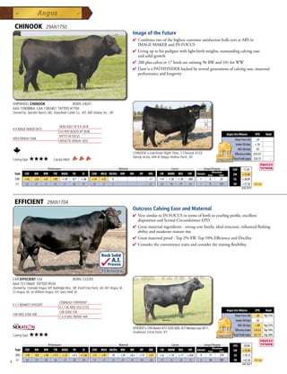 CHINOOK                   29AN1750
                                                                                                 Image of the Future
                                                                                                 4  ombinestwoofthehighestcustomersatisfactionbullseveratABSin
                                                                                                   C
                                                                                                   IMAGEMAKERandINFOCUS
                                                                                                 4 Livinguptohispedigreewithlightbirthweights,outstandingcalvingease
                                                                                                  andsolidgrowth
                                                                                                 4 200pluscalvesin17herdsareratioing96BWand101forWW
                                                                                                 4 DamisaPATHFINDERbackedbyseveralgenerationsofcalvingease,maternal
                                                                                                  performanceandlongevity




    SHIPWHEEL CHINOOK                 BORN 2/6/07
    AAA 15908864 CAA 1582467 TATTOO #7700
    Owned by: Spickler Ranch, ND; Shipwheel Cattle Co., MT; ABS Global, Inc., WI



                                           HERO 6267 OF R R 2418
    H A IMAGE MAKER 0415
                                           H A RITO BLACKCAP 9038
                                                                                                                                                                                 Angus Sire Alliance       EPD       Rank
                                           MYTTY IN FOCUS
    APEX ERISKAY 5506                                                                                                                                                                   Shear Force (lb) -.20
                                           APEXETTE ERISKAY 3032
                                                                                                                                                                                         Intake (lb/day) +.16
                                                                                                                                                                                           ADG (lb/day) -.05
                                                                                                 CHINOOK x Leachman Right Time, S Chinook 0133,                                         Efficiency Index $(9.37)
                                                                                                 Dandy Acres, MN  Sleepy Hollow Farm, SD
    Calving Ease:   ★★★★            Carcass Merit:                                                                                                                                     Total Profit Index $29.75

             _______________ Performance ________________ _________________ Maternal ________________ ________ Carcass _________ ____ Groups/Progeny ____
                                                                                                                                                                                      $EN      -11.05
                                                                                                                                                                 Ultrasound
     Trait    CED    BW       WW    YW      RADG     YH      SC      CEM   MILK Hd/Dts MW      MH     HP     DOC     CW    MARB     REA    FAT     Carcass   Steer       Total        $W       +35.86
      EPD     +16    -2.0     +57   +97      +.10    -0.1   +.58     +14   +31     0                         +7      +14    +.38   +.30    -.006     1         0         24            $G      +28.09
      ACC     .62     .81     .72   .65       .31     .66    .67     .20   .22     0                         .67     .29     .38    .39     .34      1         0         131           $B      +51.50      Top 25%
                                                                                                                                                                                               Fall 2011




     EFFICIENT                  29AN1704
                                                                                                 Outcross Calving Ease and Maternal
                                                                                                 4  erysimilartoINFOCUSintermsofbirthtoyearlingprofile,excellent
                                                                                                   V
                                                                                                   dispositionandScrotalCircumferenceEPD
                                                                                                 4 Greatmaternalingredients-strongcowfamily,idealstructure,enhancedfleshing
                                                                                                  abilityandmoderatematuresize
                                                                                                 4 Greatmaternalproof-Top2%$W,Top10%EfficiencyandDocility
                                                                                                 4 Considertheconveniencetraitsandconsiderthematingflexibility

                                                                           Rock Solid
                                                                                  A.I.
                                                                                 Proven
                                                                           .93 Accuracy

    CAR EFFICIENT 534                                BORN 1/22/05
    AAA 15170660 TATTOO #534
    Owned by: Connelly Angus, MT; Baldridge Bros., NE; Knoll Crest Farm, VA; AJC Angus, IA;
    CJ Angus, IA; Sir William Angus, NY; Gary Wall, IA


                                           CONNEALY FOREFRONT
    K C F BENNETT EFFICIENT
                                           K C F BL MISS 5522 E152
                                                                                                                                                                                 Angus Sire Alliance       EPD       Rank
                                           CAR DUKE 104
    CAR MISS SUSIE 308                                                                                                                                                                  Shear Force (lb) -.26 Top 15%
                                           C A R MISS TRENDY 449
                                                                                                                                                                                         Intake (lb/day) -.02
                                                                                                                                                                                           ADG (lb/day) +.08 Top 25%
                                                                                                 EFFICIENT x CRA Bextor 872 5205 608, ACF Barbara Lass 0011,
                                                                                                                                                                                        Efficiency Index $10.63 Top 10%
                                                                                                 Anderson Circle Farm, KY
    Calving Ease:   ★★★★                                                                                                                                                               Total Profit Index $57.77 Top 30%

             _______________ Performance ________________ _________________ Maternal ________________ ________ Carcass _________ ____ Groups/Progeny ____
                                                                                                                                                                                      $EN      -20.86
                                                                                                                                             Ultrasound
     Trait    CED   BW    WW      YW RADG YH         SC    CEM MILK Hd/Dts MW         MH    HP   DOC   CW MARB REA          FAT Carcass Steer        Total                            $W       +35.84
      EPD     +10    -0.9     +58   +111     +.21    +0.2   +1.36    +11   +41    10     +29   +0.2   +7.9   +21     +22    +.10    +.17   +.026      0        17        279           $G      +10.13
      ACC     .82     .93     .89    .84      .52     .84    .84     .33   .41    33     .43    .45    .08   .68     .27     .45     .40    .35       0        54        781           $B      +42.36      Top 25%
4                                                                                                                                                                                              Fall 2011
 