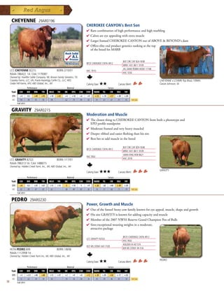 CHEYENNE                         29AR0196
                                                                                CHEROKEE CANYON's Best Son
                                                                                4  arecombinationofhighperformanceandhighmarbling
                                                                                  R
                                                                                4 Calvesareeyeappealingwithextramuscle
                                                                                4 LargerframedCHEROKEECANYONoutofABOVEBEYOND'sdam
                                                                                4 Offerseliteendproductgeneticsrankingatthetop
                                                                                 ofthebreedforMARB
                                                           Rock Solid
                                                                   A.I.
                                                                 Proven
                                                                                                                    BUF CRK CHF 824-1658
                                                           .96 Accuracy         BFCK CHEROKEE CNYN 4912
                                                                                                                    MRM 1431 8611 9109
                                                                                                                    JHL LMAN ROBIN HOOD 1174B
     LCC CHEYENNE B221L                              BORN 2/10/01               HXC 701G
                                                                                                                    HXC 555E
     RAAA 186422 1A CAA 1179387
     Owned by: Hueftle Cattle Company, NE; Brown Family Genetics, TX;
     Copeley Farms, LLC, VA; Frank-Hazelrigg Cattle Co., LLC, MO;                                                                               CHEYENNE x LCHMN Top Brass 1094H,
     Cedar Hill Farms, WV; ABS Global, Inc., WI                          Calving Ease:          ★★   Carcass Merit:                             Cassie Johnson, IA
            _______ Performance _______ ______________ Maternal _____________ ___________ Carcass ____________
      Trait     CED       BW     WW     YW    MILK   TM    ME      HPG    CEM   STAY    MARB    YG      CW   REA     FAT
       EPD      +4        -0.5   +49    +95   +18    +43   +4      +10    +6    +9      +.53    +.18   +57   +.00    +.04
       ACC      .94        .96   .95    .95   .94          .62     .79    .94   .50      .91     .61   .61    .91     .92      Top 25%
              Fall 2011


      GRAVITY                    29AR0215
                                                                                Moderation and Muscle
                                                                                4 TheclosestthingtoCHEROKEECANYONfrombothaphenotypeand
                                                                                 EPDprofilestandpoint
                                                                                4 Moderateframedandveryheavymuscled
                                                                                4 Deeperribbedandeasierfleshingthanhissire
                                                                                4 Bestbettoaddmuscleinthebreed

                                                                                                                    BUF CRK CHF 824-1658
                                                                                BFCK CHEROKEE CNYN 4912
                                                                                                                    MRM 1431 8611 9109
                                                                                                                    LMAN KING ROB 8621
                                                                                HXC 950J
                                                                                                                    HXC 201B
     LCC GRAVITY B252L                               BORN 1/17/01
     RAAA 786313 1A CAA 1488015
     Owned by: Hidden Creek Farm, Inc., WI; ABS Global, Inc., WI
                                                                                                                                                GRAVITY
                                                                                Calving Ease:   ★★★           Carcass Merit:
              _______ Performance _______ ______________ Maternal _____________ ___________ Carcass ____________
      Trait     CED       BW     WW     YW    MILK   TM    ME      HPG    CEM   STAY    MARB    YG      CW   REA     FAT
       EPD      +8        -0.3   +35    +67   +15    +33    -5     +10     -1   +9      +.26    -.02   +40   +.49    +.05
       ACC      .83        .89   .87    .87   .82          .40     .49    .82   .36      .76     .57   .60    .75     .79      Top 25%
              Fall 2011


      PEDRO                  29AR0230
                                                                                Power, Growth and Muscle
                                                                                4 OutofthefamedStonycowfamilyknownforeyeappeal,muscle,shapeandgrowth
                                                                                4 HissireGRAVITYisknownforaddingcapacityandmuscle
                                                                                4 Memberofthe2007NWSSReserveGrandChampionPenofBulls
                                                                                4 Siresexceptionalweaningweightsinamoderate,
                                                                                 attractivepackage

                                                                                                                    BFCK CHEROKEE CNYN 4912
                                                                                LCC GRAVITY B252L
                                                                                                                    HXC 950J
                                                                                                                    HOLDEN HI HO 574
                                                                                HCF MS STONY 047-7109
                                                                                                                    BJR MS STONY 4X-516
     HCFA PEDRO 609                                  BORN 1/8/06
     RAAA 1112958 1A
     Owned by: Hidden Creek Farm Inc, WI; ABS Global, Inc., WI
                                                                                                                                                PEDRO
                                                                                Calving Ease:   ★★            Carcass Merit:
              _______ Performance _______ ______________ Maternal _____________ ___________ Carcass ____________
      Trait    CED    BW      WW     YW    MILK TM     ME     HPG CEM STAY MARB YG            CW      REA   FAT
       EPD      +3        +2.0   +48    +80   +13    +37   +2      +9     +0    +12     +.30    +.05   +50   +.17    +.02
       ACC      .52        .62   .59    .59   .50          .10     .18    .50   .16      .45     .39   .46    .43     .50      Top 25%
58            Fall 2011
 