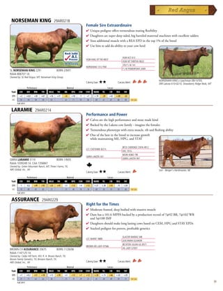 NORSEMAN KING                                 29AR0218
                                                                           Female Sire Extraordinaire
                                                                           4  niquepedigreeofferstremendousmatingflexibility
                                                                             U
                                                                           4 Daughtersaresuperdeepsided,bigbarreledmaternalmachineswithexcellentudders
                                                                           4 SiresadditionalmusclewithaREAEPDinthetop1%ofthebreed
                                                                           4 Usehimtoadddo-abilitytoyourcowherd

                                                      Rock Solid
                                                              A.I.                                             VGW ACE 613
                                                            Proven         VGW KING OF THE WEST
                                                                                                               VGW MT TABITHA 9633
                                                      .94 Accuracy
                                                                                                               376 P J M 141
                                                                           NORSEMAN 1312 PJM
                                                                                                               P J M POWERPOINT 2009
5L NORSEMAN KING 2291                           BORN 2/9/01
RAAA 806707 1A
Owned by: 5L Red Angus, MT; Norseman King Group
                                                                                                                                         NORSEMAN KING x Leachman EBV 6703,
                                                                           Calving Ease:   ★★            Carcass Merit:                  SRR Lakota 610-0210, Strawberry Ridge Reds, MT
         _______ Performance _______ ______________ Maternal _____________ ___________ Carcass ____________
 Trait     CED       BW     WW    YW    MILK    TM    ME      HPG    CEM   STAY    MARB    YG     CW    REA     FAT
  EPD      +2        +0.8   +30   +67   +16     +31   +0      +10     -7   +7      +.19    -.29   +42   +.80    -.02
  ACC      .92        .94   .94   .94   .92           .61     .71    .92   .46      .89     .61   .61    .88     .90      Top 25%
         Fall 2011


 LARAMIE                    29AR0214
                                                                           Performance and Power
                                                                           4  alvesarethehighperformanceandstoutmadekind
                                                                             C
                                                                           4 BackedbytheLakotacowfamily-imaginethefemales
                                                                           4 Tremendousphenotypewithextramuscle,ribandfleshingability
                                                                           4 Oneofthebestinthebreedtoincreasegrowth
                                                                            whilemaintainingME,HPG,andSTAY

                                                                                                               BFCK CHEROKEE CNYN 4912
                                                                           LCC CHEYENNE B221L
                                                                                                               HXC 701G
                                                                                                               BASIN HOBO 79E
                                                                           GMRA LAKOTA 341
                                                                                                               GMRA LAKOTA 947
GMRA LARAMIE 5110                               BORN 1/9/05
RAAA 1039249 1A CAA 1356847
Owned by: Green Mountain Ranch, MT; Three I Farms, TX;
ABS Global, Inc., WI                                                                                                                     Son - Berger's Herdmaster, NE
                                                                           Calving Ease:   ★★            Carcass Merit:
         _______ Performance _______ ______________ Maternal _____________ ___________ Carcass ____________
 Trait     CED       BW     WW    YW    MILK    TM    ME      HPG    CEM   STAY    MARB    YG     CW    REA     FAT
  EPD       -1       -0.2   +49   +92   +23     +47   +3      +12    +4    +12     +.21    +.20   +55   -.15    +.03
  ACC      .78        .88   .85   .85   .75           .31     .40    .76   .18      .60     .50   .59    .58     .66      Top 25%
         Fall 2011


 ASSURANCE                        29AR0229
                                                                           Right for the Times
                                                                           4 Moderateframed,deepbodiedwithmassivemuscle
                                                                           4 Damhasa101.6MPPAbackedbyaproductionrecordof7@92BR,7@102WR
                                                                            and5@108IMF
                                                                           4 DaughtersshouldmakelonglastingcowsbasedonCEM,HPGandSTAYEPDs
                                                                           4 Stackedpedigreeforproven,profitablegenetics

                                                                                                               GLACIER MARIAS 548
                                                                           LCC MARIO 1889J
                                                                                                               LEACHMAN ELEANOR
                                                                                                               BECKTON JULIAN GG B571
                                                                           BROWN MS LADY H7566
                                                                                                               JHL LADY G7007
BROWN-CH ASSURANCE 3567S                        BORN 11/26/06
RAAA 1147125 1A
Owned by: Cedar Hill Farm, WV; R. A. Brown Ranch, TX;
Brown Family Genetics, TX; Broseco Ranch, TX;
ABS Global, Inc., WI                                                       Calving Ease:   ★★            Carcass Merit:
      _______ Performance _______ ______________ Maternal _____________ ___________ Carcass ____________
 Trait CED    BW      WW     YW    MILK TM     ME     HPG CEM STAY MARB YG            CW      REA   FAT
  EPD      +7        +0.2   +51   +78   +13     +39   +3      +12    +7    +12     +.30    +.15   +46   +.02    +.05
  ACC      .37        .71   .63   .63   .30           .15     .19    .29   .23      .41     .38   .49    .39     .51      Top 25%
         Fall 2011                                                                                                                                                                        59
 