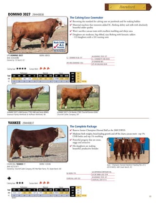DOMINO 3027                          29HH0838
                                                                                          The Calving Ease Cowmaker
                                                                                          4  ecomingthestandardforcalvingeaseonpurebredsandformakingbaldies
                                                                                            B
                                                                                          4 MaternalmachinethattransmitsaddedSC,fleshingabilityandmilkwithabsolutely
                                                                                           beautifuludderquality
                                                                                          4 Won'tsacrificecarcasstraitswithexcellentmarblingandribeyearea
                                                                                          4 Daughtersaremoderate,bigribbed,easyfleshingwithfantasticudders
                                                                                           -133daughterswitha101nursingratio

                                                                     Rock Solid
                                                                           A.I.
                                                                         Proven
                                                                     .90 Accuracy

UPS DOMINO 3027                                   BORN 3/8/03                                                       HH ADVANCE 767G 1ET
AHA 42426386                                                                        CL 1 DOMINO 9126J 1ET
                                                                                                                    CL 1 DOMINETTE 490 (DOD)
Owned by: CK Ranch, KS
                                                                                                                    SH DIAMOND 881
                                                                                    UPS MISS DIAMOND 1353
                                                                                                                    UPS MS MILEHIGH 8330

Calving Ease:   ★★★★             Carcass Merit:
      _________ Performance __________ _____ Maternal _____ _____ Carcass ______
                                                                                           BMI    $23
Trait CED    BW      WW      YW    SC   MILK MG CEM         FAT    REA MARB               CEZ    $23
 EPD    +9.2       -1.5   +48   +79    +1.1       +38   +62   +2.4   +0.008 +0.45 +0.30    BII    $17
 ACC     .53        .90   .85   .86     .76       .69          .41    .65    .67   .66     CHB    $30    Top 25%
       Fall 2011




DOMINO 3027 x KB Domino 7758, KB Lady Sentry 8090U,                   DOMINO 3027 x GH Rambo 279R, Churchill Domino 028X,
Swanson Family Herefords  Hoffman Herefords, NE                        Churchill Cattle Company, MT



 YANKEE                   29HH0837
                                                                                          The Complete Package
                                                                                          4  eserveSeniorChampionHornedBullatthe2009NWSS
                                                                                            R
                                                                                          4 Moderatebirthweights,breedleadinggrowthandoffthechartscarcassmerit-top1%
                                                                                           CHBIndexandtop1%marbling
                                                                                          4 Powerfulprogenythatarestout,
                                                                                           soggyandattractive
                                                                                          4 Hisdaughtersaremaking
                                                                                           beautiful,productivefemales




CHURCHILL YANKEE ET                               BORN 1/20/06                                                                          Sons - Champion Horned Hereford Yearling Pen of 3,
AHA 42731411                                                                                                                            2010 NWSS, Mill Creek Ranch, KS
Owned by: Churchill Cattle Company, MT; Pied Piper Farms, TX; Stuber Ranch, ND
                                                                                                                    GH DIFFERENCE BRITISHER 45L
                                                                                    GH NEON 17N
                                                                                                                    GH SIR SIMBA LASS 107K
                                                                                                                    HH ADVANCE 767G 1ET
                                                                                    CHURCHILL LADY 202
                                                                                                                    CHURCHILL LADY 0113
Calving Ease:   ★★★              Carcass Merit:
      _________ Performance __________ _____ Maternal _____ _____ Carcass ______
                                                                                           BMI    $17
Trait CED    BW      WW      YW    SC   MILK MG CEM         FAT    REA MARB               CEZ    $15
 EPD    +1.8       +2.7   +59   +99    +0.1       +19   +48   +4.8   +0.012 +0.39 +0.51    BII    $11
 ACC     .43        .89   .84   .85     .77       .49          .35    .59    .59   .58     CHB    $38    Top 25%
       Fall 2011
                                                                                                                                                                                             61
 