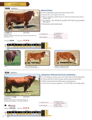 THOR               29HP0914
                                                                                                  Maternal Power
                                                                                                  4  ireforaddedlength,capacityandmusclewithgreatEPDs
                                                                                                    S
                                                                                                  4 OutcrosssiretovastmajorityofA.I.Sires
                                                                                                  4 Damisapowerhousemid-fiveframecowwithtonsofribandmusclewithan
                                                                                                   excellentudder
                                                                                                  4 Cowlongevity-dam'sWR9@105,granddam'sWR10@105,greatgranddam's
                                                                                                   WR13@118
                                                                                                  4 Shouldmakeexcellentbaldiefemales




     THR THOR 4029                                     BORN 3/6/04                                                              JDF 16D WRANGLER 15
     AHA 42551314                                                                             JDH 15 WRANGLER 25L
                                                                                                                                JDH MS LUTE 18J
     Owned by: Frederickson Hereford Farm, MN; Thorstenson Hereford Ranch, SD;
     ABS Global, Inc., WI                                                                                                       CL 1 DOMINO 641F
                                                                                              THR MISS THOR 0266
                                                                                                                                THR MISS THOR 8050

     Calving Ease:      ★★★           Carcass Merit:
            _________ Performance __________ _____ Maternal _____ _____ Carcass ______
                                                                                                    BMI     $24
      Trait CED    BW      WW      YW    SC   MILK MG CEM         FAT    REA MARB                  CEZ     $18
      EPD     +3.1      +2.9   +58   +111   +1.4       +23     +52   +3.2   +0.016 +0.79 +0.14      BII     $19
      ACC      .22       .75   .65    .64    .47       .29            .17    .33    .36   .30       CHB     $32       Top 25%
            Fall 2011




     THOR                                                    Dam - THR Miss Thor 0266,                                          Granddam - THR Miss Thor 8050,
                                                             Thorstenson Hereford Ranch, SD                                     Thorstenson Hereford Ranch, SD



      R294              29HP0913
                                                                                                  Calving Ease, Maternal and Carcass Combination
                                                                                                  4  starcalvingease,moderatematuresize,breederleaderforallHerefordIndexes
                                                                                                    4
                                                                                                  4 Damhas5@95birth,5@105weaning,5@106yearlingand4@104IMF
                                                                                                  4 R294ismoderateframedwithaddedcapacityandpigmentation
                                                                                                  4 Excelsforkeymaternalcomponents-CE,MCE,Milk,SCandudderquality




     KCF BENNETT 9126J R294                            BORN 9/9/05
     AHA 42651401
     Owned by: Knoll Crest Farm, VA; 5R Cattle Company, PA;
     George  Rachel McQuiston, Jr., PA; Daniel M Kniffen, PA
                                                                                                                                HH ADVANCE 767G 1ET
                                                                                              CL 1 DOMINO 9126J 1ET
                                                                                                                                CL 1 DOMINETTE 490 (DOD)
                                                                                                                                RRH MR FELT 3008
                                                                                              KCF MISS 3008 N344
                                                                                                                                KCF MISS H119 L404
     Calving Ease:   ★★★★             Carcass Merit:
            _________ Performance __________ _____ Maternal _____ _____ Carcass ______
                                                                                                    BMI     $28
      Trait CED    BW      WW      YW    SC   MILK MG CEM         FAT    REA MARB                  CEZ     $24
      EPD     +8.5      -2.4   +49   +90    +1.4       +31     +55   +3.5   +0.011 +0.28 +0.49      BII     $23
      ACC      .19       .68   .56   .55     .40       .28            .17    .42    .43   .44       CHB     $35       Top 25%
62          Fall 2011
 