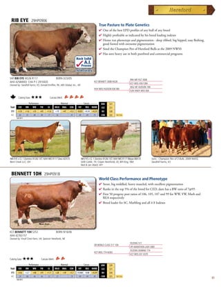 RIB EYE                  29HP0906
                                                                                            True Pasture to Plate Genetics
                                                                                            4  neofthebestEPDprofilesofanybullofanybreed
                                                                                              O
                                                                                            4 Highlyprofitableasindicatedbyhisbreedleadingindexes
                                                                                            4 Homerunphenotypeandpigmentation-deepribbed,bighipped,easyfleshing,
                                                                                             goodfootedwithawesomepigmentation
                                                                                            4 SiredtheChampionPenofHerefordBullsatthe2009NWSS
                                                                                            4 Hasseenheavyuseinbothpurebredandcommercialprograms
                                                                     Rock Solid
                                                                            A.I.
                                                                         Proven
                                                                     .92 Accuracy

SHF RIB EYE M326 R117                             BORN 3/23/05                                                           RRH MR FELT 3008
AHA 42584003 CHA P C 2910420                                                          KCF BENNETT 3008 M326
                                                                                                                         KCF MISS 459 F284
Owned by: Sandhill Farms, KS; Donald Kniffen, PA; ABS Global, Inc., WI
                                                                                                                         MSU MF HUDSON 19H
                                                                                      HVH MISS HUDSON 83K 8M
                                                                                                                         SUN VINDY MISS 83K

         Calving Ease:    ★★★             Carcass Merit:
      _________ Performance __________ _____ Maternal _____ _____ Carcass ______
                                                                                             BMI     $31
Trait CED    BW      WW      YW    SC   MILK MG CEM         FAT    REA MARB                 CEZ     $21
 EPD    +3.0       +1.6   +55   +81    +1.6       +19   +47   +5.5    -0.033 +0.34 +0.24     BII     $28
 ACC     .60        .92   .88   .88     .77       .56          .43      .68   .69   .70      CHB     $32    Top 25%
       Fall 2011




RIB EYE x CL 1 Domino 9126J 1ET, NJW 98S R117 Dew 42X ET,                RIB EYE x CL 1 Domino 9126J 1ET, NJW 98S R117 Ribeye 88X ET,         Sons - Champion Pen of 3 Bulls, 2009 NWSS,
Bent Creek LLC, OH                                                       GKB Cattle, TX; Colyer Herefords, ID; Bill King, NM;                 Sandhill Farms, KS
                                                                         Ned  Jan Ward, WY


 BENNETT 10H                          29HP0918
                                                                                            World Class Performance and Phenotype
                                                                                            4  tout,bigmiddled,heavymuscled,withexcellentpigmentation
                                                                                              S
                                                                                            4 Ranksinthetop5%ofthebreedforCED,damhasaBWratioof7@95
                                                                                            4 First50progenypostratiosof106,105,107and99forWW,YW,Marband
                                                                                             REArespectively
                                                                                            4 BreedleaderforSC,Marblingandall4$Indexes




KCF BENNETT 10H S252                              BORN 9/16/06
AHA 42763157
Owned by: Knoll Crest Farm, VA; Spencer Herefords, NE
                                                                                                                          FELTONS 517
                                                                                      DR WORLD CLASS 517 10H
                                                                                                                          VPI MARATHON LADY 0081
                                                                                                                          FELTONS DOMINO 774
                                                                                      KCF MISS 774 M263
                                                                                                                          KCF MISS 031 K370
Calving Ease:   ★★★              Carcass Merit:
      _________ Performance __________ _____ Maternal _____ _____ Carcass ______
                                                                                             BMI     $29
Trait CED    BW      WW      YW    SC   MILK MG CEM         FAT    REA MARB                 CEZ     $21
 EPD    +4.6       +2.7   +60   +91    +1.7       +28   +59   +5.7   +0.060 -0.08   +0.39    BII     $24
 ACC     .24        .66   .46   .46     .52       .22          .19    .44    .44     .40     CHB     $31    Top 25%
       Fall 2011
                                                                                                                                                                                           63
 