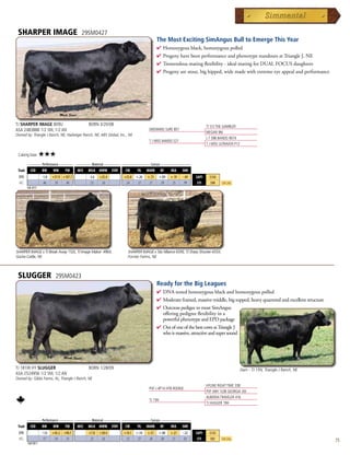 SHARPER IMAGE                            29SM0427
                                                                                         The Most Exciting SimAngus Bull to Emerge This Year
                                                                                         4  omozygousblack,homozygouspolled
                                                                                           H
                                                                                         4 ProgenyhavebeenperformanceandphenotypestandoutsatTriangleJ,NE
                                                                                         4 Tremendousmatingflexibility-idealmatingforDUALFOCUSdaughters
                                                                                         4 Progenyarestout,bighipped,widemadewithextremeeyeappealandperformance




TJ SHARPER IMAGE 809U                        BORN 3/20/08                                                               TJ 57J THE GAMBLER
ASA 2483888 1/2 SM, 1/2 AN                                                         DIKEMANS SURE BET
                                                                                                                        MEGAN 9M
Owned by: Triangle J Ranch, NE; Hadwiger Ranch, NE; ABS Global, Inc., WI
                                                                                                                        L T 598 BANDO 9074
                                                                                   T J MISS BANDO S27
                                                                                                                        T J MISS ULTRAVOX P12

 Calving Ease:      ★★★
      _______ Performance _______ ________ Maternal ________ ______________ Carcass _______________
 Trait CED    BW      WW     YW    MCE MILK MWW STAY           CW    YG MARB BF          REA SHR
  EPD               -1.8   +57.9 +107.7      -3.6   +25.4         +23.8    +.26   +.73      +.09   +.19   -.49   $API     $150
  ACC                .46    .39   .40         .23    .26           .34      .27    .27       .39    .25    .99    $TI     $98     Top 25%
        Fall 2011




SHARPER IMAGE x TJ Break Away 152L, TJ Image Maker 496X,             SHARPER IMAGE x Sitz Alliance 6595, TJ Sharp Shooter 435X,
Gocke Cattle, NE                                                     Forster Farms, NE



 SLUGGER                     29SM0423
                                                                                         Ready for the Big Leagues
                                                                                         4  NAtestedhomozygousblackandhomozygouspolled
                                                                                           D
                                                                                         4 Moderateframed,massivemiddle,bigtopped,heavyquarteredandexcellentstructure
                                                                                         4 OutcrosspedigeetomostSimAngus
                                                                                          offeringpedigreeflexibilityina
                                                                                          powerfulphenotypeandEPDpackage
                                                                                         4 OutofoneofthebestcowsatTriangleJ
                                                                                          whoismassive,attractiveandsupersound




TJ 181W HY SLUGGER                           BORN 1/28/09                                                                                       Dam - TJ 15N, Triangle J Ranch, NE
ASA 2524956 1/2 SM, 1/2 AN
Owned by: Gibbs Farms, AL; Triangle J Ranch, NE
                                                                                                                        HYLINE RIGHT TIME 338
                                                                                   PVF-J 4P14 HYB ROOKIE
                                                                                                                        PVF-JMH 1L08 GEORGIA 30J
                                                                                                                        ALBERDA TRAVELER 416
                                                                                   TJ 15N
                                                                                                                        TJ HUGGER 19H


      _______ Performance _______ ________ Maternal ________ ______________ Carcass _______________
 Trait CED    BW      WW     YW    MCE MILK MWW STAY           CW    YG MARB BF          REA SHR
  EPD               -1.8   +45.2 +90.7       +7.8   +30.4         +14.1    +.18   +.51      +.08   +.21   -.32   $API     $133
  ACC                .57    .34   .35         .25    .26           .32      .27    .28       .38    .27    .02    $TI     $83     Top 25%                                            75
        Fall 2011
 