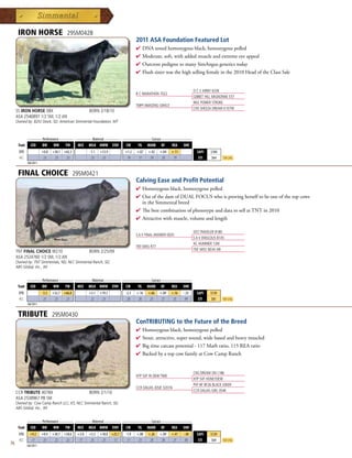IRON HORSE                         29SM0428
                                                                                    2011 ASA Foundation Featured Lot
                                                                                    4  NAtestedhomozygousblack,homozygouspolled
                                                                                      D
                                                                                    4 Moderate,soft,withaddedmuscleandextremeeyeappeal
                                                                                    4 OutcrosspedigreetomanySimAngusgeneticstoday
                                                                                    4 Flushsisterwasthehighsellingfemaleinthe2010HeadoftheClassSale


                                                                                                                        O C C KIRBY 633K
                                                                                    B C MARATHON 7022
                                                                                                                        GIBBET HILL MIGNONNE E37
                                                                                                                        WLE POWER STROKE
                                                                                    TMPF AMAZING GRACE
                                                                                                                        CNS SHEEZA DREAM K107W
     SS IRON HORSE 08X                                 BORN 2/18/10
     ASA 2546897 1/2 SM, 1/2 AN
     Owned by: B2/U Stock, SD; American Simmental Foundation, MT



              _______ Performance _______ ________ Maternal ________ ______________ Carcass _______________
      Trait      CED      BW     WW     YW      MCE    MILK MWW       STAY   CW      YG    MARB     BF    REA    SHR
      EPD                 +0.8   +30.1 +62.3           -1.1   +13.9          +1.2   +.07   +.42    +.04   +.11            $API    $104
      ACC                  .23    .23   .23             .23    .23            .19    .17    .19     .20    .19             $TI    $64     Top 25%
              Fall 2011


      FINAL CHOICE                             29SM0421
                                                                                    Calving Ease and Profit Potential
                                                                                    4  omozygousblack,homozygouspolled
                                                                                      H
                                                                                    4 OutofthedamofDUALFOCUSwhoisprovingherselftobeoneofthetopcows
                                                                                     intheSimmentalbreed
                                                                                    4 ThebestcombinationofphenotypeanddatatosellatTNTin2010
                                                                                    4 Attractivewithmuscle,volumeandlength

                                                                                                                        SITZ TRAVELER 8180
                                                                                    S A V FINAL ANSWER 0035
                                                                                                                        S A V EMULOUS 8145
                                                                                                                        HC HUMMER 12M
                                                                                    TNT MISS R77
                                                                                                                        TNT MISS NEVA N9
     TNT FINAL CHOICE W210                             BORN 2/25/09
     ASA 2524760 1/2 SM, 1/2 AN
     Owned by: TNT Simmentals, ND; NLC Simmental Ranch, SD;
     ABS Global, Inc., WI

           _______ Performance _______ ________ Maternal ________ ______________ Carcass _______________
      Trait CED    BW      WW     YW    MCE MILK MWW STAY           CW    YG MARB BF          REA SHR
      EPD                 -3.3   +32.7 +66.8           +3.1   +19.5          -2.3   +.16   +.66    +.09   +.16   -.35     $API    $139
      ACC                  .25    .23   .23             .22    .23            .20    .20    .25     .27    .25    .99      $TI    $81    Top 25%
              Fall 2011


      TRIBUTE                    29SM0430
                                                                                    ConTRIBUTING to the Future of the Breed
                                                                                    4  omozygousblack,homozygouspolled
                                                                                      H
                                                                                    4 Stout,attractive,supersound,widebasedandheavymuscled
                                                                                    4 Bigtimecarcasspotential-117Marbratio,115REAratio
                                                                                    4 BackedbyatopcowfamilyatCowCampRanch


                                                                                                                        CNS DREAM ON L186
                                                                                    HTP SVF IN DEW TIME
                                                                                                                        HTP SVF HONEYDEW
                                                                                                                        PVF-BF BF26 BLACK JOKER
                                                                                    CCR DALIAS JOSIE 3201N
                                                                                                                        CCR DALIAS GIRL 054K
     CCR TRIBUTE 4078X                                 BORN 2/1/10
     ASA 2538967 PB SM
     Owned by: Cow Camp Ranch LLC, KS; NLC Simmental Ranch, SD;
     ABS Global, Inc., WI

              _______ Performance _______ ________ Maternal ________ ______________ Carcass _______________
      Trait      CED      BW     WW     YW      MCE    MILK MWW       STAY   CW      YG    MARB    BF     REA    SHR
      EPD       +9.2      +0.4   +30.7 +58.6    +3.0   +3.5   +18.8 +25.7    -1.9   +.08   +.26    +.09   +.41   -.40     $API    $129
      ACC        .17       .23    .22   .22      .17    .23    .23   .12      .17    .23    .28     .38    .27    .00      $TI    $64     Top 25%
76            Fall 2011
 