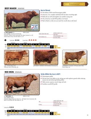 BEEF MAKER                             29SM0385
                                                                                                    Best of Breed
                                                                                                    4  on-diluter,DNAtestedhomozygouspolled
                                                                                                      N
                                                                                                    4 Attractive,verycompleteindividualwhohasdoneeverythingright
                                                                                                    4 Bullssellverywellanddaughtersareexcellentyoungcows
                                                                                                    4 OneofthebestoverallEPDprofilestobefound
                                                                                                    4 Redorblacknoothersirecanmatchhisoverallvaluetothebreed


                                                                            Rock Solid
                                                                                     A.I.
                                                                                Proven
                                                                            .93 Accuracy
WS BEEF MAKER R13                                    BORN 2/6/05                                                                 NICHOLS LEGACY G151
ASA 2289889 CSA PG 673793 PB SM                                                               HOOKS SHEAR FORCE 38K
                                                                                                                                 CD TRACY
Owned by: Wilkinson Farms Simmentals, ND; Nelson Livestock Co., MT;
Dakota Express Group, ND; ABS Global, Inc., WI                                                                                   R PLUS RED RIBEYE 1134L
                                                                                              DCR MS RIBEYE N72
                                                                                                                                 DCR MISS ZINGER

                     Calving Ease:   ★★★            Carcass Merit:
      _______ Performance _______ ________ Maternal ________ ______________ Carcass _______________
 Trait CED    BW      WW     YW    MCE MILK MWW STAY           CW    YG MARB BF          REA SHR
  EPD     +14.9         -1.4   +43.7 +73.4   +1.5    +9.2   +31.1 +24.2       +3.7    -.07   +.61    +.03   +.51   -.33   $API     $161
  ACC      .83           .93    .92   .92     .76     .87    .87   .25         .60     .57    .79     .81    .77    .99    $TI     $85    Top 25%
         Fall 2011




Dam - DCR Ms Ribeye N72,                                                        BEEF MAKER x CHEROKEE CANYON, Bichler Simmentals, ND                  BEEFMAKER x ET Dateline, HSR Xpress Beef X586,
Wilkinson Farms Simmentals, ND                                                                                                                        Daniel Materi, ND



 RED IRON                            29SM0426
                                                                                                    Strike While the Iron is HOT!
                                                                                                    4  omozygouspolled
                                                                                                      H
                                                                                                    4 Hisbestassetishisabilitytosirecalvingeasewithexplosivegrowthwhilereducing
                                                                                                     maturesizeandenhancingfleshingability
                                                                                                    4 Addsextremecapacity,muscleshapeandstyle
                                                                                                    4 ExcellentoverallEPDprofile




RFS RED IRON T20                                     BORN 3/13/07
ASA 2409687 PB SM
Owned by: Beggers Diamond V Ranch Inc., MT; Rydeen Farms Simmentals, MN;
Black Tie Simmentals, ND; ABS Global, Inc., WI
                                                                                                                                 HOOKS SHEAR FORCE 38K
                                                                                              35R
                                                                                                                                 HOOKS KITTY 150J
                                                                                                                                 GFI LEAD TIME 209M
                                                                                              RF PAUL
                                                                                                                                 RFS MISS M201
Calving Ease:    ★★★
         _______ Performance _______ ________ Maternal ________ ______________ Carcass _______________
 Trait     CED          BW     WW      YW    MCE    MILK MWW         STAY     CW      YG     MARB    BF     REA    SHR
  EPD     +10.5        -0.9    +46.2 +70.2   +3.0   +9.6    +32.6 +18.7      +2.1    -.17    +.31    +.00   +.55   -.38   $API    $127
  ACC      .23          .62     .56   .52     .17    .23     .26   .00        .42     .25     .20     .34    .19    .99    $TI    $78     Top 25%
         Fall 2011
                                                                                                                                                                                                       81
 